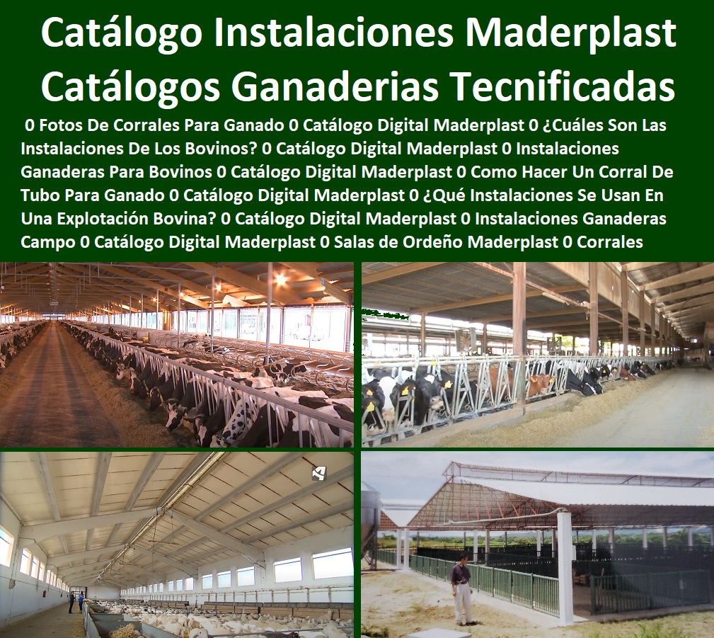 Catálogo Digital Instalaciones Ganaderas Tecnificadas Maderplast 0 Fotos De Corrales Para Ganado 0 Cuáles Son Las Instalaciones De Los Bovinos 0 Como Hacer Un Corral De Tubo Para Ganado 0 Qué Instalaciones Se Usan En Ganadería 00 Catálogo Digital Instalaciones Ganaderas Tecnificadas Maderplast 0 Fotos De Corrales Para Ganado 0 Cuáles Son Las Instalaciones De Los Bovinos 0 Como Hacer Un Corral De Tubo Para Ganado 0 Qué Instalaciones Se Usan En Ganadería 00