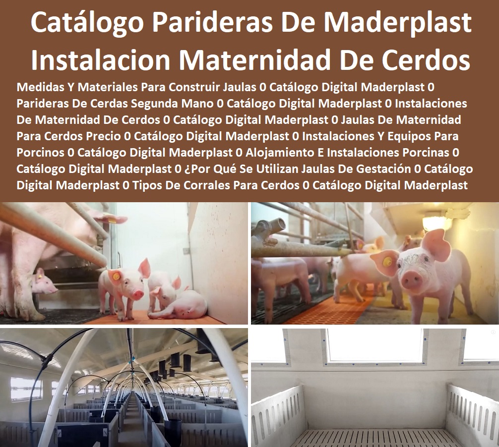 49 INSTALACIONES DE PORCICULTURA TECNIFICADA 0 GRANJAS DE PORCINOS 0 CRIA DE CERDOS 0 LEVANTE DE CERDOS 0 REPRODUCTION PORCINA 0 Jaulas Gestación 0 Jaulas Parideras 0 Corrales 0 Parideras Porcinas 0 Corral Gestación Cerdas 0 Jaula Lechonera Destete 0 Jaul
