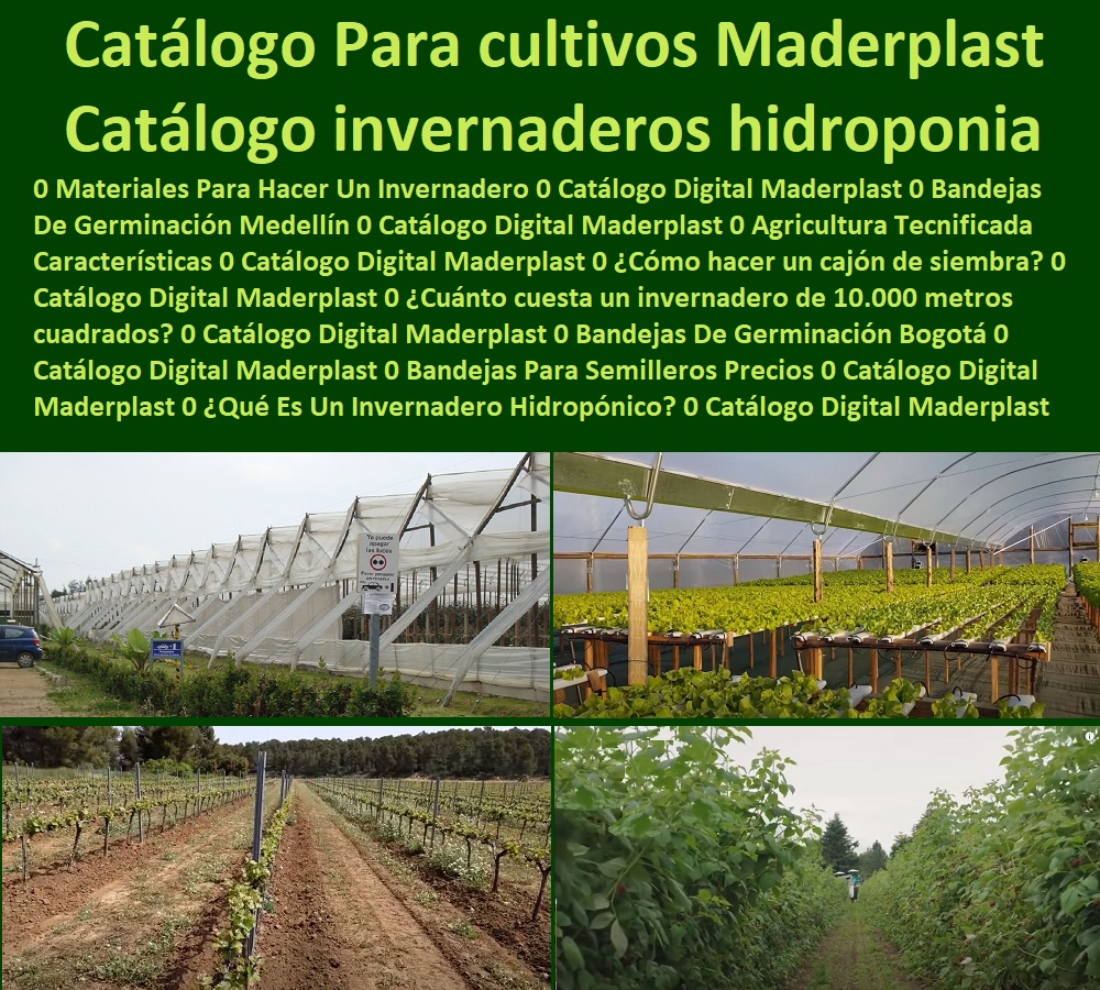 Catálogo Digital cultivos tecnificados cultivos en invernaderos hidroponía Maderplast 0 Materiales Para Hacer Un Invernadero 0 Bandejas De Germinación 0 Agricultura Tecnificada Características Cuánto cuesta invernadero Maderplast 0 Catálogo Digital cultivos tecnificados cultivos en invernaderos hidroponía Maderplast 0 Materiales Para Hacer Un Invernadero 0 Bandejas De Germinación 0 Agricultura Tecnificada Características Cuánto cuesta invernadero Maderplast 0 