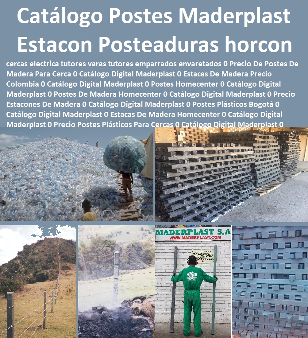 Catálogo Digital postes plásticos postes para cercas de púas estacones Posteaduras talanqueras horcones Maderplast 0 cercas eléctrica tutores varas tutores emparrados Envaretados 0 Precio De Postes De Madera Para Cerca 0 Catálogo 0 Catálogo Digital postes plásticos postes para cercas de púas estacones Posteaduras talanqueras horcones Maderplast 0 cercas eléctrica tutores varas tutores emparrados Envaretados 0 Precio De Postes De Madera Para Cerca 0 Catálogo 0 Catálogo Digital Maderplast 0 Precio Postes Madera Para Cercas 0 Catálogo Digital Maderplast 0 Intera Postes Plásticos Precios 0 Catálogo Digital Maderplast 0 Postes Para Cerca De Modelia 0 Catálogo Digital Maderplast 0 Postes Para Cerca De Madera 0 Catálogo Digital Maderplast 0 Precio Postes Plásticos Para Cercas 0 Catálogo Digital Maderplast 0 Postes De Madera De Segunda Mano 0 Catálogo Digital Maderplast 0 Postes Plásticos Para Cercas 0 Catálogo Digital Maderplast 0 Estacones De Madera Inmunizada Medellín 0 Catálogo Digital Maderplast 0 Postes Plásticos Para Cercas Precio 0 