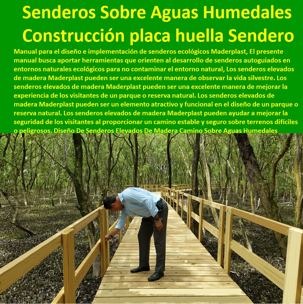 23 PUENTES 0 CAMINOS 0 SENDEROS ECOLÓGICOS 0 PUENTES PEATONALES 0 VIADUCTOS  ECOLÓGICOS, image size:999x1002