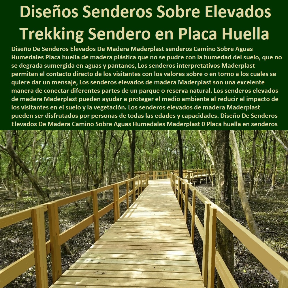 Diseño De Senderos Elevados De Madera Camino Sobre Aguas Humedales Maderplast 0 Placa huella en senderos pendientes Elevados 0 como hacer una placa huella para finca Elevados 0  ESPECIALISTAS EN SENDEROS Y CAMINOS ECOLÓGICOS, PUENTES PEATONALES, PASOS ELEVADOS ECOLÓGICOS 0 Caminos De Playa 0 Caminos Inclusivos 0 Suelos Infantiles 0 Suelos De Parques 0 Suelos Anticaidas 0 Pasarelas Puentes 0 Caminos 0 000 0 Viaductos Ecológicos 0 Paso Peatonal Elevado 0 000 0 Puentes Veredales 0 Senderos Y Malecones 0 Senderismo Ecológico 0 Pasos Peatonales 0 Referencia de las Huellas Elevadas 0 Trekking y Senderismo en Placa 0 Diseño De Senderos Elevados De Madera Camino Sobre Aguas Humedales Maderplast 0 Placa huella en senderos pendientes Elevados 0 como hacer una placa huella para finca Elevados 0 Referencia de las Huellas Elevadas 0 Trekking y Senderismo en Placa 0