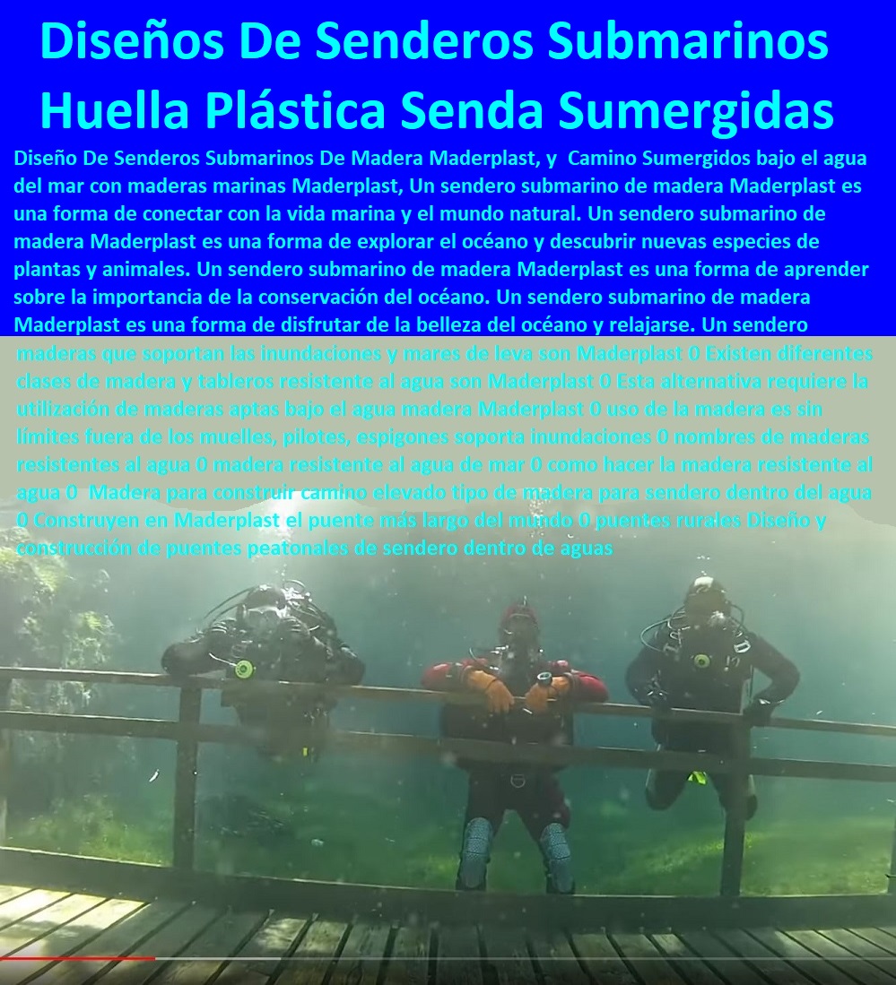Diseño De Senderos Submarinos De Madera Camino Sumergidos Maderplast 0 Construcción De Placa Huella Plástica  ESPECIALISTAS EN SENDEROS Y CAMINOS ECOLÓGICOS, PUENTES PEATONALES, PASOS ELEVADOS ECOLÓGICOS 0 Caminos De Playa 0 Caminos Inclusivos 0 Suelos Infantiles 0 Suelos De Parques 0 Suelos Anticaidas 0 Pasarelas Puentes 0 Caminos 0 000 0 Viaductos Ecológicos 0 Paso Peatonal Elevado 0 000 0 Puentes Veredales 0 Senderos Y Malecones 0 Senderismo Ecológico 0 Pasos Peatonales 0 Sumergidas 0 tipos de placa huella prefabricada de concreto plástico Sumergidos 0 Placa Huella Sumergidos Concreto Plástico 0 Diseño De Senderos Submarinos De Madera Camino Sumergidos Maderplast 0 Construcción De Placa Huella Plástica Sumergidas 0 tipos de placa huella prefabricada de concreto plástico Sumergidos 0 Placa Huella Sumergidos Concreto Plástico 0