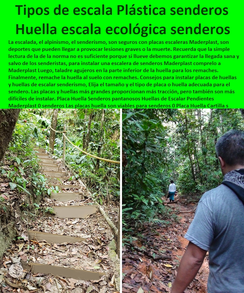 Placa Huella Senderos pantanosos Huellas de Escalar Pendientes Maderplast 0 senderos Las placas huella son viables para senderos 0 Placa Huella Cartilla huellas plástica ecológicas senderos 0 Placa Huella Plástica Tipo Concreto Plástico senderos 0 Placa Huella Senderos pantanosos Huellas de Escalar Pendientes Maderplast 0 senderos Las placas huella son viables para senderos 0 Placa Huella Cartilla huellas plástica ecológicas senderos 0  ESPECIALISTAS EN SENDEROS Y CAMINOS ECOLÓGICOS, PUENTES PEATONALES, PASOS ELEVADOS ECOLÓGICOS 0 Paseos Peatonales 0 Vías Peatonales 0 Paso Peatonal 0 Espacios Peatonales Urbanismo 0 Proyectos De Malecón 0 Paso Peatonal Elevado 0 Como Hacer Un Sendero Ecológico 0 Proyectos De Senderos Ecológicos 0 Paso De Fauna 0 Puentes Para Fauna 0 Vados Caminos 0 Rampas Para Peatones 0 Placa Huella Plástica Tipo Concreto Plástico senderos