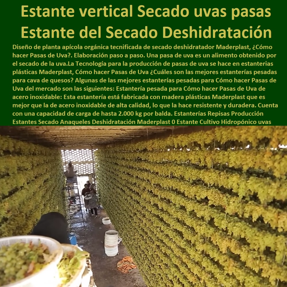 Estanterías Repisas Producción Estantes Secado Anaqueles Deshidratación Maderplast 0 Estante de Cultivo Verde Hidropónico uvas pasas 0 Sistema de hidroponía móviles estantes para vegetación uvas pasas 0 estantes verticales uvas pasas 0 Estanterías Repisas Producción Estantes Secado Anaqueles Deshidratación Maderplast 0 Estante de Cultivo Verde Hidropónico uvas pasas 0 Sistema de hidroponía móviles estantes para vegetación uvas pasas 0  ESTANTERÍA PLÁSTICA MADERPLAST 0 RACKS ESTANTERIAS INDUSTRIAL 0 Estanterías De Plástico Resistente 0 Estantes Y Racks Plásticos 0 Estanterías Y Anaqueles 0 Gabinetes Plásticos 0 Armarios Plásticos 0 Alacenas Plásticas 0 Estantería Modular 0 Percheros Plásticos 0 Estante Fijo Ventilado De Rack 0 Estante De Soporte Para Armarios 0 Estanterías Y Gabinetes Plásticos 0 Estante De Almacenamiento De Gabinete 0 Estantes De Montaje En Rack Para Equipos 0 Racks Y Gabinetes 0 Estantes Y Gabinetes estantes verticales uvas pasas 0