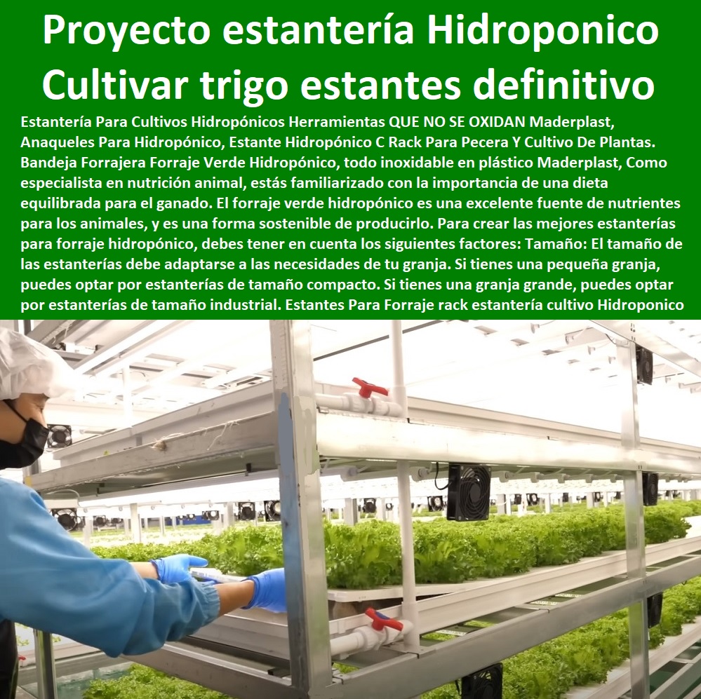 Estantes  ESTANTERÍA PLÁSTICA MADERPLAST 0 RACKS ESTANTERIAS INDUSTRIAL 0 Anaqueles Racks 0 Gabinetes Y Bastidores 0 Gabinete Rack De Pared Con Estante 0 Estanteria Antiderrame 0 Estanterías Con Contención De Derrames 0 Estantería Materiales Peligrosos 0 Cubetos De Retención Estantes 0 Cubetos Antiderrame Con Estante 0 Estanteria De Acero Inoxidable 0 Rack Estanteria Pesada 0 Racks Estanterias Industrial 0 Estantería Rack plástica Racks Cantilever 0 Compra y Venta de Estanterias y Racks Industriales 0 Para Forraje rack estantería cultivo Hidroponico Bandeja Forrajera Maderplast 0 Cultivar trigo en estanterías 0 estanterías o repisas definitivas de estructuras 0 Estante 10 Bandejas Hidropónico 0 proyecto estanterías triigo 0 Estantes Para Forraje rack estantería cultivo Hidroponico Bandeja Forrajera Maderplast 0 Cultivar trigo en estanterías 0 estanterías o repisas definitivas de estructuras 0 Estante 10 Bandejas Hidropónico 0 proyecto estanterías triigo 0