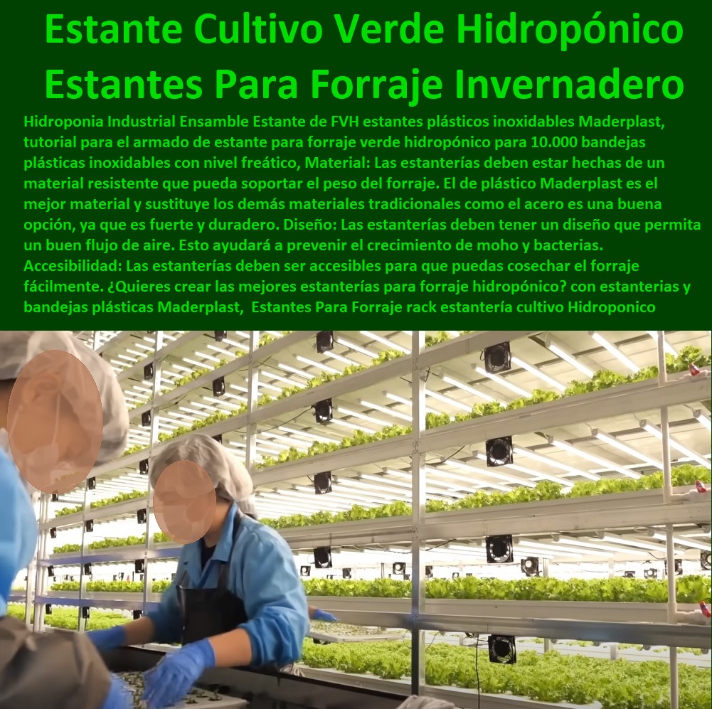 Estantes Para Forraje rack estantería cultivo Hidroponico Bandeja Forrajera  ESTANTERÍA PLÁSTICA MADERPLAST 0 RACKS ESTANTERIAS INDUSTRIAL 0 Estanterías De Plástico Resistente 0 Estantes Y Racks Plásticos 0 Estanterías Y Anaqueles 0 Gabinetes Plásticos 0 Armarios Plásticos 0 Alacenas Plásticas 0 Estantería Modular 0 Percheros Plásticos 0 Estante Fijo Ventilado De Rack 0 Estante De Soporte Para Armarios 0 Estanterías Y Gabinetes Plásticos 0 Estante De Almacenamiento De Gabinete 0 Estantes De Montaje En Rack Para Equipos 0 Racks Y Gabinetes 0 Estantes Y Gabinetes Maderplast 0 Diseño de estantes a la estantería para plantas 0 Estantes Para Invernadero 0 Estante de Cultivo Verde Hidropónico 0 Sistema de hidroponía móviles 0 Estantes Para Forraje rack estantería cultivo Hidroponico Bandeja Forrajera Maderplast 0 Diseño de estantes a la estantería para plantas 0 Estantes Para Invernadero 0 Estante de Cultivo Verde Hidropónico 0 Sistema de hidroponía móviles 0