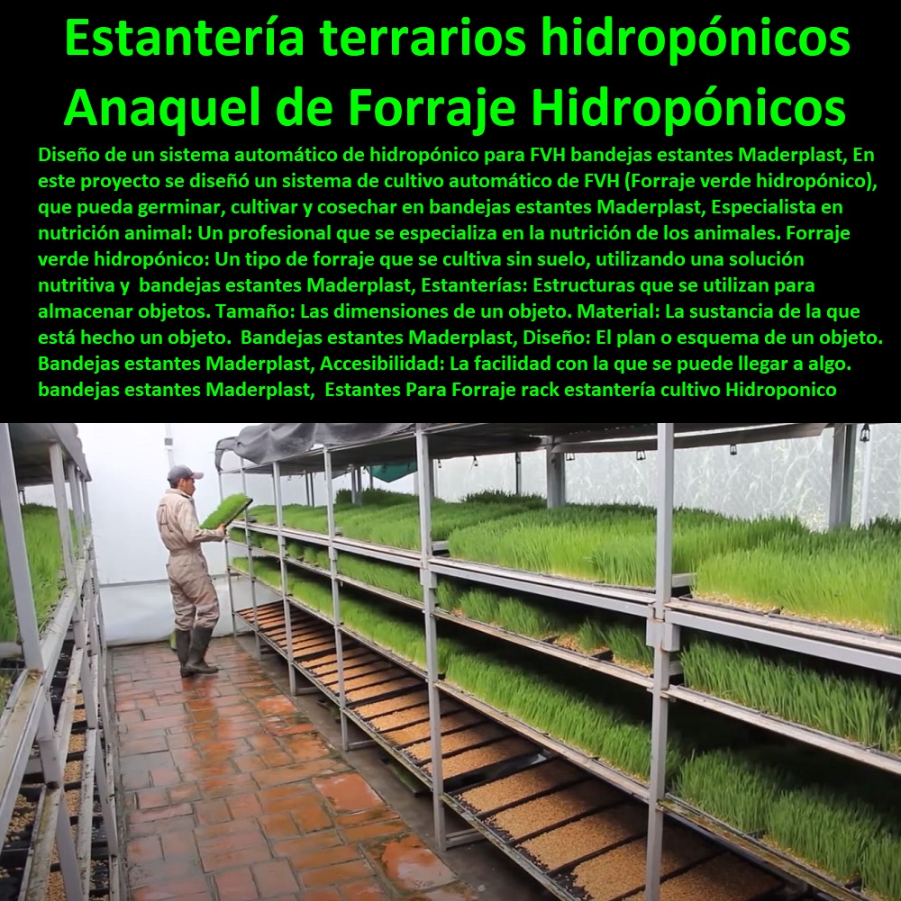 ESTANTERÍA PLÁSTICA MADERPLAST 0 RACKS ESTANTERIAS INDUSTRIAL 0 Anaqueles Racks 0 Gabinetes Y Bastidores 0 Gabinete Rack De Pared Con Estante 0 Estanteria Antiderrame 0 Estanterías Con Contención De Derrames 0 Estantería Materiales Peligrosos 0 Cubetos De Retención Estantes 0 Cubetos Antiderrame Con Estante 0 Estanteria De Acero Inoxidable 0 Rack Estanteria Pesada 0 Racks Estanterias Industrial 0 Estantería Rack plástica Racks Cantilever 0 Compra y Venta de Estanterias y Racks Industriales 0 Estantes Para Forraje rack estantería cultivo Hidroponico Bandeja Forrajera Maderplast 0 Rack o Anaquel para Forraje Verde Hidropónico 0 proyecto de estanterías de cultivo hidropónico 0 estantería terrarios hidropónicos producción trigo 0 Estantes Para Forraje rack estantería cultivo Hidroponico Bandeja Forrajera Maderplast 0 Rack o Anaquel para Forraje Verde Hidropónico 0 proyecto de estanterías de cultivo hidropónico 0 estantería terrarios hidropónicos producción trigo 0