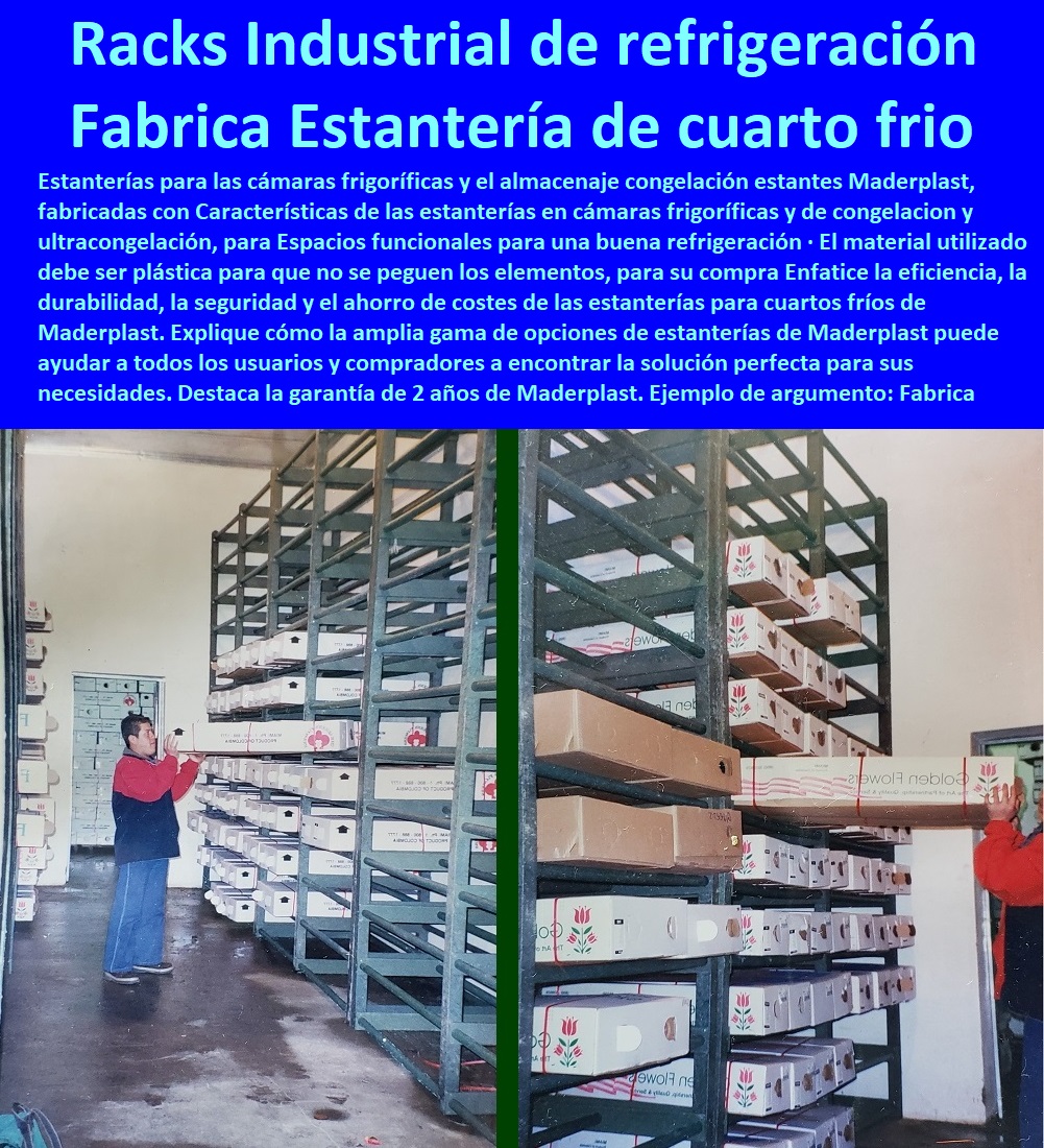 Fabrica De Estantería para cuarto frio Racks Industriales cavas refrigeración Maderplast 0 estantería para cuarto frio 0 La guía de racks industriales para almacenes cuarto frio 0 Compra Venta Estanterias Racks Industriales refrigeración 0 Fabrica De Estantería para cuarto frio Racks Industriales cavas refrigeración Maderplast 0 estantería para cuarto frio 0 La guía de racks industriales para almacenes cuarto frio 0 Compra Venta Estanterias Racks Industriales refrigeración ESTANTERÍA PLÁSTICA MADERPLAST 0 RACKS ESTANTERIAS INDUSTRIAL 0 Anaqueles Racks 0 Gabinetes Y Bastidores 0 Gabinete Rack De Pared Con Estante 0 Estanteria Antiderrame 0 Estanterías Con Contención De Derrames 0 Estantería Materiales Peligrosos 0 Cubetos De Retención Estantes 0 Cubetos Antiderrame Con Estante 0 Estanteria De Acero Inoxidable 0 Rack Estanteria Pesada 0 Racks Estanterias Industrial 0 Estantería Rack plástica Racks Cantilever 0 Compra y Venta de Estanterias y Racks Industriales 0 