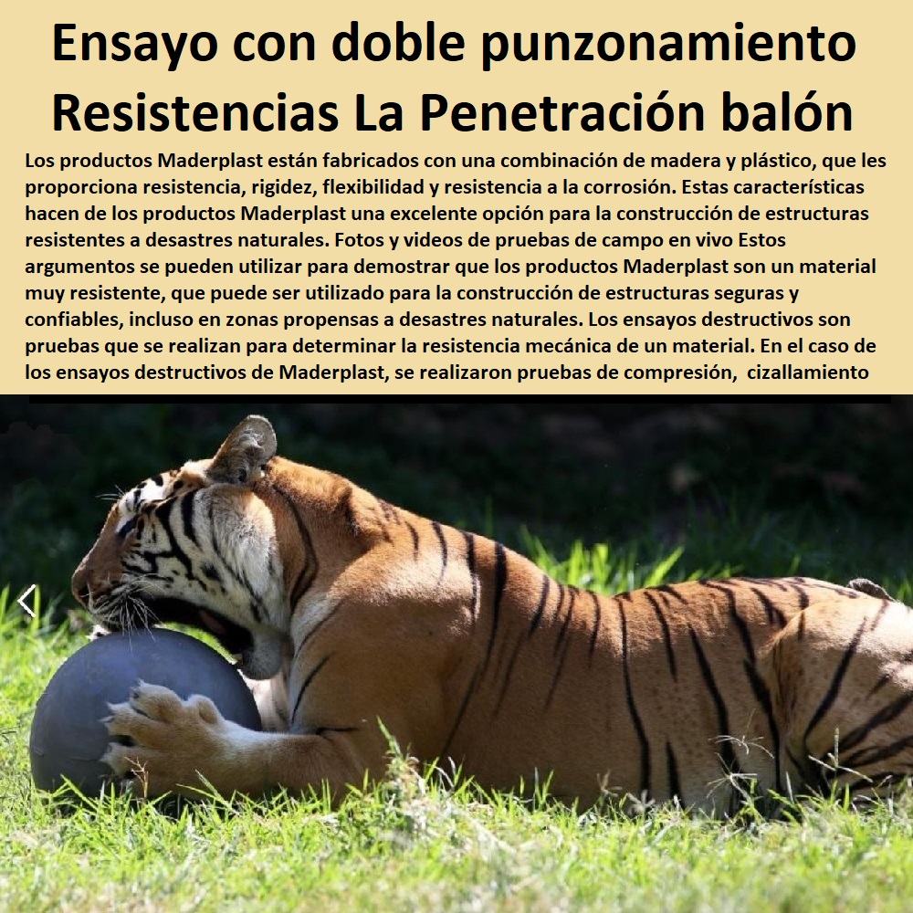 Prueba De Punzonamiento Resistencia A La Penetración Memoria Plástica Maderplast 0 Resistencia a la Penetración de punzonamiento 0  PRUEBAS Y ENSAYOS DE LABORATORIO 0 MEJORES MATERIALES MADERPLAST 0 CUÁL ES EL MEJOR MATERIAL 0 NUEVOS MATERIALES DE CONSTRUCCIÓN 0 esfuerzo puntual plástico Maderplast 0 Resistencia a la Penetración de punzonamiento 0 Materiales de Resistencia Balística 0 el mejor blindaje Maderplast 0 El acero inoxidable 0 acero plástico Maderplast 0 Prueba de resistencia a la corrosión de metales y Maderplast 0 Aplicación de pruebas de aislamiento plástico Maderplast 0 Ensayos de compresión de plásticos estructurales 0 el plástico es conductor o aislante del calor 0 Máquina de corte para cortar láminas de 0 excelentes propiedades resistencia al impacto 0 Resultados de la prueba de resistencia balística sobre planchas 0Proceso de punzonado punzonamiento Vida útil del plástico 0 Ensayo de doble punzonamiento reforzado balón 0 Prueba De Punzonamiento Resistencia A La Penetración Memoria Plástica Maderplast 0 Resistencia a la Penetración de punzonamiento 0 Proceso de punzonado punzonamiento Vida útil del plástico 0 Ensayo de doble punzonamiento reforzado balón 0
