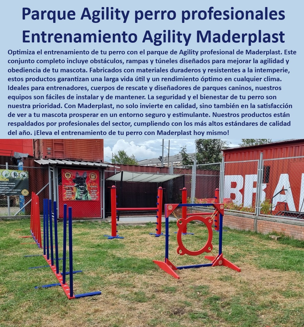 Agility de Entrenamiento Avanzado Pista De Agility Búsqueda Y Rescate Maderplast 0 aros ruedas saltos Obstáculos de entrenamiento canino para servicios de emergencia , Accesorios de entrenamiento para perros de búsqueda rescate canino Agility de Entrenamiento Avanzado Pista De Agility Búsqueda Y Rescate Maderplast 0 aros ruedas saltos Obstáculos de entrenamiento canino para servicios de emergencia Accesorios de entrenamiento para perros de búsqueda rescate canino Agility de Entrenamiento Avanzado Pista De Agility Búsqueda Y Rescate Maderplast 0 aros ruedas saltos Obstáculos de entrenamiento canino para servicios de emergencia , Accesorios de entrenamiento para perros de búsqueda rescate canino