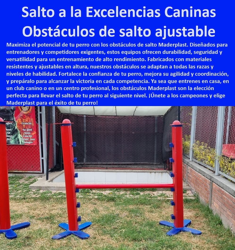 Agility de Entrenamiento Avanzado Pista De Agility Búsqueda Y Rescate Maderplast 0 salto alto Equipos de adiestramiento canino para unidades de rescate especializadas , Implementos de entrenamiento canino certificados para rescate pet Agility de Entrenamiento Avanzado Pista De Agility Búsqueda Y Rescate Maderplast 0 salto alto Equipos de adiestramiento canino para unidades de rescate especializadas Implementos de entrenamiento canino certificados para rescate pet Agility de Entrenamiento Avanzado Pista De Agility Búsqueda Y Rescate Maderplast 0 salto alto Equipos de adiestramiento canino para unidades de rescate especializadas , Implementos de entrenamiento canino certificados para rescate pet