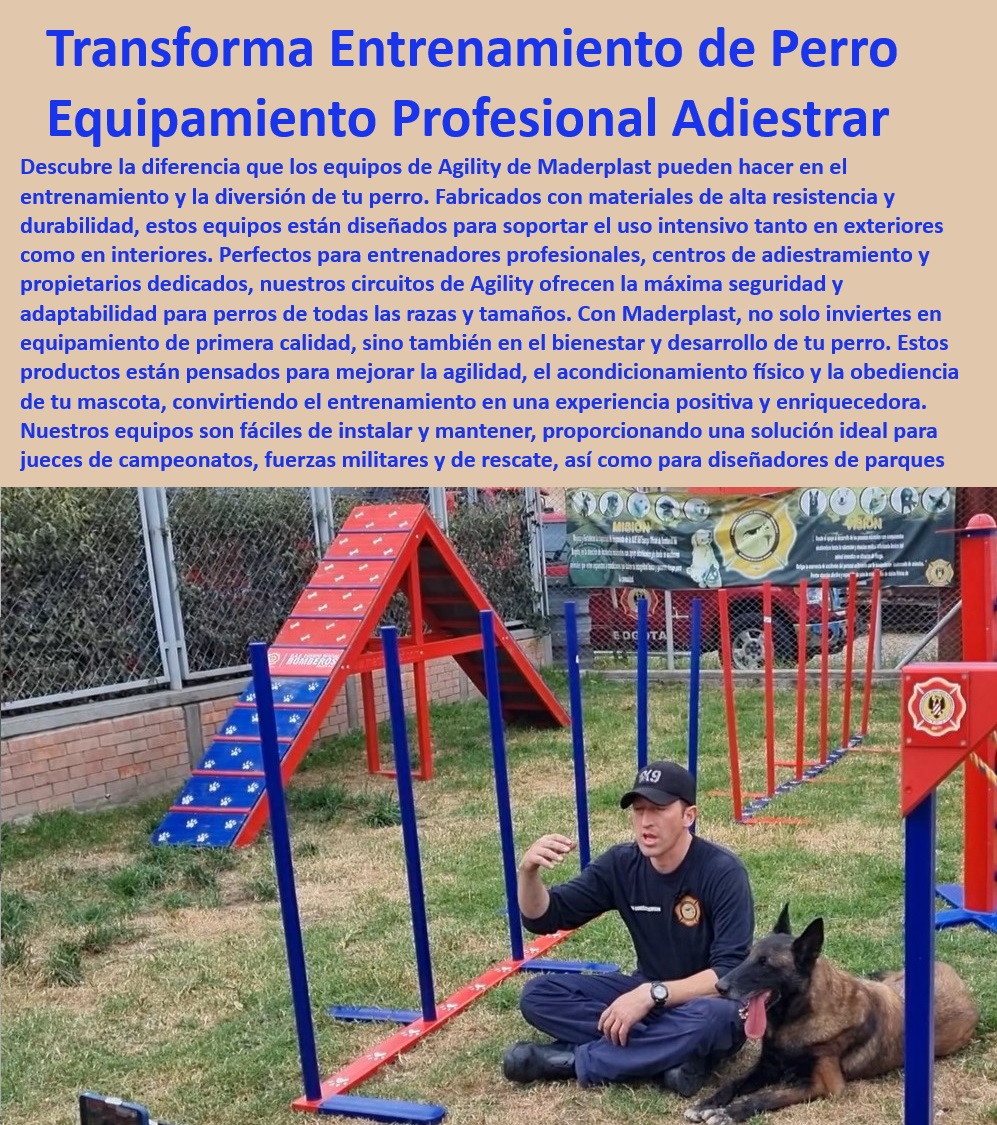 Agility de Entrenamiento Avanzado Pista De Agility Búsqueda Y Rescate Maderplast Equipos de agility avanzados , Equipos para adiestramiento canino , ¿Qué equipos de agility son adecuados para entrenamiento canino profesional? , Soluciones de adiestramiento para perros , Equipos de entrenamiento interior y exterior , Agility para todas las razas y tamaños , Soluciones integrales de entrenamiento canino , Parques de agility seguros , Parques de agility para entrenamiento intensivo , Rampa de agilidad para entrenamiento diario , ¿Qué características tienen las rampas de agility para perros de servicio? , Entrenamiento de agilidad para desempeño excepcional , Pistas de agility para rescate , Equipos de agilidad canina para desarrollo canino , Rampa de agilidad resistente , Equipos de entrenamiento para bomberos , Materiales duraderos para entrenamiento canino , Entrenamiento canino profesional , Mejora de habilidades caninas , Equipos certificados de agilidad canina , Equipos de adiestramiento para perros de servicio , ¿Dónde puedo comprar equipos de agility seguros para perros? Diseño de parques de agility para entrenadores , ¿Cómo seleccionar pistas de agility para entrenamiento intensivo? , Rampa de entrenamiento ajustable para perros , Equipos de agilidad canina para emergencias , Pistas de agility para competiciones caninas , Soluciones de adiestramiento para alta presión , ¿Cuál es la mejor rampa de agility para entrenar perros de rescate? , Equipos de adiestramiento para fuerzas militares Equipos de adiestramiento organismos de emergencia Parques de Agility seguros y certificados para bomberos Diseño de parques de Agility entrenar 0 Agility de Entrenamiento Avanzado Pista De Agility Búsqueda Y Rescate Maderplast Equipos de agility avanzados , Equipos para adiestramiento canino , ¿Qué equipos de agility son adecuados para entrenamiento canino profesional? , Soluciones de adiestramiento para perros , Equipos de entrenamiento interior y exterior , Agility para todas las razas y tamaños , Soluciones integrales de entrenamiento canino , Parques de agility seguros , Parques de agility para entrenamiento intensivo , Rampa de agilidad para entrenamiento diario , ¿Qué características tienen las rampas de agility para perros de servicio? , Entrenamiento de agilidad para desempeño excepcional , Pistas de agility para rescate , Equipos de agilidad canina para desarrollo canino , Rampa de agilidad resistente , Equipos de entrenamiento para bomberos , Materiales duraderos para entrenamiento canino , Entrenamiento canino profesional , Mejora de habilidades caninas , Equipos certificados de agilidad canina , Equipos de adiestramiento para perros de servicio , ¿Dónde puedo comprar equipos de agility seguros para perros? Diseño de parques de agility para entrenadores , ¿Cómo seleccionar pistas de agility para entrenamiento intensivo? , Rampa de entrenamiento ajustable para perros , Equipos de agilidad canina para emergencias , Pistas de agility para competiciones caninas , Soluciones de adiestramiento para alta presión , ¿Cuál es la mejor rampa de agility para entrenar perros de rescate? , Equipos de adiestramiento para fuerzas militares Equipos de adiestramiento organismos de emergencia Parques de Agility seguros y certificados para bomberos Diseño de parques de Agility entrenar 0 Agility de Entrenamiento Avanzado Pista De Agility Búsqueda Y Rescate Maderplast Equipos de adiestramiento organismos de emergencia Parques de Agility seguros y certificados para bomberos Diseño de parques de Agility entrenar 0