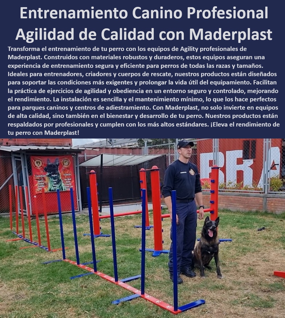Agility de Entrenamiento Avanzado Pista De Agility Búsqueda Y Rescate Maderplast , Rampa de entrenamiento canino de alta resistencia , ¿Cuáles son los mejores equipos de agility para entrenamiento intensivo de perros? , Equipos de agility profesional Maderplast , Equipos de entrenamiento canino para seguridad pública , Entrenamiento avanzado para perros , Parques de agility personalizados para perros , Equipos de adiestramiento canino duraderos , Kits de agility para rescate , Pistas de agility seguras y certificadas , ¿Qué equipos de agility recomiendan para rescate y fuerzas de seguridad? , ¿Dónde comprar equipos de agility seguros para entrenadores profesionales? , Entrenamiento canino eficiente y seguro , Equipos de agility para desarrollo integral del perro , Implementos de entrenamiento canino para fuerzas especiales , Mejora del rendimiento canino con equipos especializados , Equipos de agility para entrenadores caninos , Agility para entrenamiento en condiciones extremas , Entrenamiento de obediencia avanzado para perros , Entrenamiento de agility personalizado para perros , Equipos de agility para entrenamiento exterior , Entrenamiento canino profesional para rescate , Mejora de habilidades caninas con Maderplast , ¿Qué características tienen los parques de agility certificados para competencias? , Parques de agility para competiciones , Instalación y mantenimiento de equipos de agility , Rampa de agility antideslizante , Equipos de agility adaptativos para todas las razas , ¿Cómo asegurar un entrenamiento canino efectivo con equipos Maderplast? , Entrenamiento de perros con equipos certificados , Soluciones de entrenamiento para cuerpos de bomberos Soluciones de entrenamiento canino para cuerpos de bomberos , Kits de agility de entrenamiento avanzado de rescate , Parques de agility certificados Agility de Entrenamiento Avanzado Pista De Agility Búsqueda Y Rescate Maderplast Rampa de entrenamiento canino de alta resistencia , ¿Cuáles son los mejores equipos de agility para entrenamiento intensivo de perros? , Equipos de agility profesional Maderplast , Equipos de entrenamiento canino para seguridad pública , Entrenamiento avanzado para perros , Parques de agility personalizados para perros , Equipos de adiestramiento canino duraderos , Kits de agility para rescate , Pistas de agility seguras y certificadas , ¿Qué equipos de agility recomiendan para rescate y fuerzas de seguridad? , ¿Dónde comprar equipos de agility seguros para entrenadores profesionales? , Entrenamiento canino eficiente y seguro , Equipos de agility para desarrollo integral del perro , Implementos de entrenamiento canino para fuerzas especiales , Mejora del rendimiento canino con equipos especializados , Equipos de agility para entrenadores caninos , Agility para entrenamiento en condiciones extremas , Entrenamiento de obediencia avanzado para perros , Entrenamiento de agility personalizado para perros , Equipos de agility para entrenamiento exterior , Entrenamiento canino profesional para rescate , Mejora de habilidades caninas con Maderplast , ¿Qué características tienen los parques de agility certificados para competencias? , Parques de agility para competiciones , Instalación y mantenimiento de equipos de agility , Rampa de agility antideslizante , Equipos de agility adaptativos para todas las razas , ¿Cómo asegurar un entrenamiento canino efectivo con equipos Maderplast? , Entrenamiento de perros con equipos certificados , Soluciones de entrenamiento para cuerpos de bomberos Soluciones de entrenamiento canino para cuerpos de bomberos Kits de Agility de entrenamiento avanzado de rescate Parques de agility certificados Agility de Entrenamiento Avanzado Pista De Agility Búsqueda Y Rescate Maderplast , Soluciones de entrenamiento canino para cuerpos de bomberos , Kits de agility de entrenamiento avanzado de rescate , Parques de agility certificados