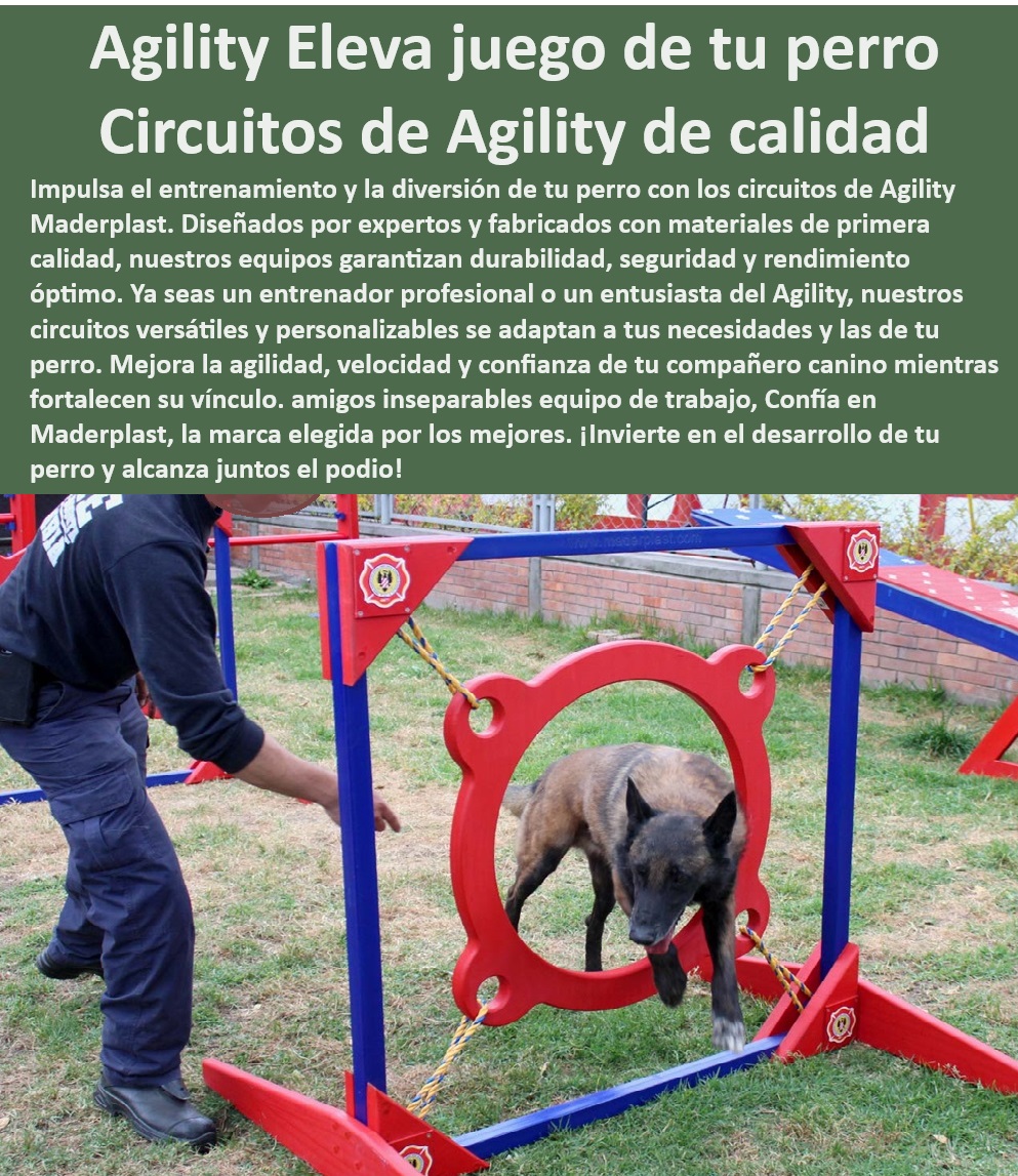 Aro De Salto De Alta Calidad Rueda Entrenamiento Anillo De Agilidad Maderplast , Equipos para mejorar la coordinación y agilidad canina , ¿Dónde puedo comprar obstáculos de entrenamiento canino duraderos? , Soluciones de entrenamiento para perros en ambientes salinos , Obstáculos de agility para todas las razas , Rampa ajustable de agility para perros , ¿Qué proveedor ofrece equipos de agility ajustables para perros? , ¿Cómo seleccionar accesorios de adiestramiento canino para exteriores? , Accesorios para entrenamiento canino de alto rendimiento , Equipos de agility para clubes caninos , Túnel rígido de entrenamiento canino , Obstáculos de agility ajustables en altura , Equipos de entrenamiento canino con garantía de durabilidad , Implementos de agility para mejoramiento de habilidades caninas , Equipos de agility profesional para perros , ¿Cuál es el mejor equipo de agility para entrenamiento intensivo de perros? , Equipos de agility para entrenadores exigentes , Accesorios de adiestramiento canino certificados , Circuitos de entrenamiento canino ajustables , Parques de entrenamiento canino seguros , Implementos de entrenamiento canino anti-vandalismo , Obstáculos de salto de alta durabilidad , Equipos caninos para entrenamiento intensivo , Implementos de agility resistentes a la intemperie , ¿Qué equipamiento es necesario para entrenamiento de rescate canino? , Soluciones de entrenamiento canino personalizadas , Equipos de entrenamiento canino para situaciones de rescate , Equipos para adiestramiento canino al aire libre , Equipos de entrenamiento canino para competencias , Equipos de entrenamiento canino bajo mantenimiento , Accesorios de adiestramiento canino anticorrosión Perros Bomberos , Anillo de salto de fácil ajuste competiciones , Kit de entrenamiento de agilidad con soporte técnico , Anillo de salto con altura perro Aro De Salto De Alta Calidad Rueda Entrenamiento Anillo De Agilidad Maderplast Equipos para mejorar la coordinación y agilidad canina , ¿Dónde puedo comprar obstáculos de entrenamiento canino duraderos? , Soluciones de entrenamiento para perros en ambientes salinos , Obstáculos de agility para todas las razas , Rampa ajustable de agility para perros , ¿Qué proveedor ofrece equipos de agility ajustables para perros? , ¿Cómo seleccionar accesorios de adiestramiento canino para exteriores? , Accesorios para entrenamiento canino de alto rendimiento , Equipos de agility para clubes caninos , Túnel rígido de entrenamiento canino , Obstáculos de agility ajustables en altura , Equipos de entrenamiento canino con garantía de durabilidad , Implementos de agility para mejoramiento de habilidades caninas , Equipos de agility profesional para perros , ¿Cuál es el mejor equipo de agility para entrenamiento intensivo de perros? , Equipos de agility para entrenadores exigentes , Accesorios de adiestramiento canino certificados , Circuitos de entrenamiento canino ajustables , Parques de entrenamiento canino seguros , Implementos de entrenamiento canino anti-vandalismo , Obstáculos de salto de alta durabilidad , Equipos caninos para entrenamiento intensivo , Implementos de agility resistentes a la intemperie , ¿Qué equipamiento es necesario para entrenamiento de rescate canino? , Soluciones de entrenamiento canino personalizadas , Equipos de entrenamiento canino para situaciones de rescate , Equipos para adiestramiento canino al aire libre , Equipos de entrenamiento canino para competencias , Equipos de entrenamiento canino bajo mantenimiento , Accesorios de adiestramiento canino anticorrosión Perros Bomberos Anillo de salto de fácil ajuste competiciones Kit de entrenamiento de agilidad con soporte técnico Anillo de salto con altura perro Aro De Salto De Alta Calidad Rueda Entrenamiento Anillo De Agilidad Maderplast , Perros Bomberos , Anillo de salto de fácil ajuste competiciones , Kit de entrenamiento de agilidad con soporte técnico , Anillo de salto con altura perro