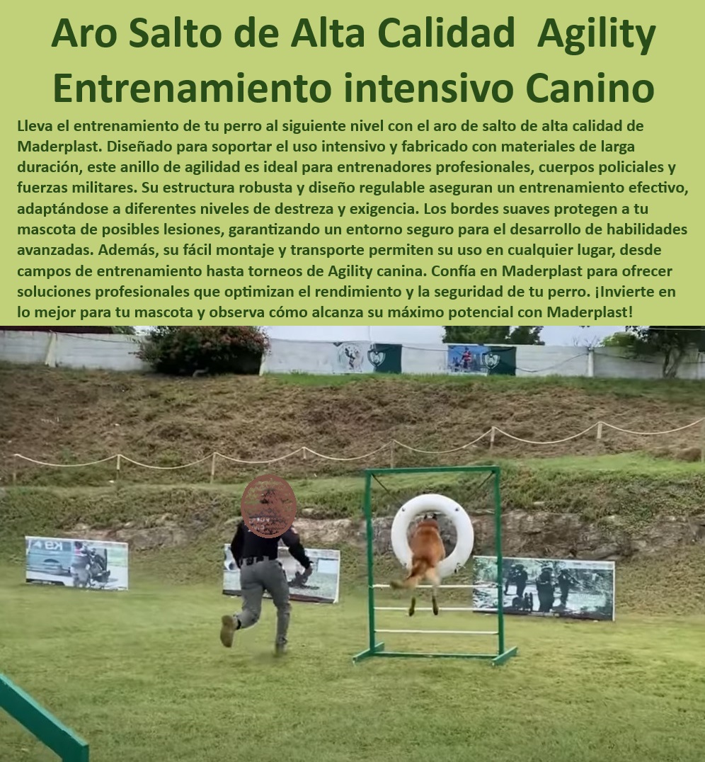 Aro De Salto De Alta Calidad Rueda Entrenamiento Anillo De Agilidad Maderplast ¿Cómo ajustar un aro de agilidad para diferentes razas de perros? , Equipos de agility para entrenadores , Aro de entrenamiento para perros grandes , Anillo de agilidad ajustable , Aro de entrenamiento versátil , Equipos de entrenamiento para perros , Aro de agilidad de alta durabilidad , Aro de entrenamiento regulable , Equipos profesionales para agility , Anillo de agilidad para fuerzas especiales , ¿Cuál es el mejor aro de agilidad para entrenamiento canino? , Equipos de entrenamiento perros policía , ¿Qué aro de entrenamiento es seguro para perros en entrenamiento intenso? , Anillo de entrenamiento seguro , Entrenamiento de alta intensidad para caninos , Entrenamiento canino intensivo , Aro para torneos de agility , Soluciones de entrenamiento Maderplast , ¿Qué aro de entrenamiento es recomendado para perros de trabajo? , Equipos portátiles de entrenamiento canino , Aro de salto resistente , Aro de entrenamiento canino , Aro de agilidad fácil montaje , Anillo de agilidad con protección de bordes , ¿Dónde puedo comprar un aro de salto resistente para perros? , Aro de salto Maderplast , Equipamiento agility perros , Aro de agilidad para uso exterior , Material resistente para agility , Aro para entrenamiento de destreza canina ¿Cómo ajustar un aro de agilidad para diferentes razas de perros? , Equipos de agility para entrenadores , Aro de entrenamiento para perros grandes , Anillo de agilidad ajustable , Aro de entrenamiento versátil , Equipos de entrenamiento para perros , Aro de agilidad de alta durabilidad , Aro de entrenamiento regulable , Equipos profesionales para agility , Anillo de agilidad para fuerzas especiales , ¿Cuál es el mejor aro de agilidad para entrenamiento canino? , Equipos de entrenamiento perros policía , ¿Qué aro de entrenamiento es seguro para perros en entrenamiento intenso? , Anillo de entrenamiento seguro , Entrenamiento de alta intensidad para caninos , Entrenamiento canino intensivo , Aro para torneos de agility , Soluciones de entrenamiento Maderplast , ¿Qué aro de entrenamiento es recomendado para perros de trabajo? , Equipos portátiles de entrenamiento canino , Aro de salto resistente , Aro de entrenamiento canino , Aro de agilidad fácil montaje , Anillo de agilidad con protección de bordes , ¿Dónde puedo comprar un aro de salto resistente para perros? , Aro de salto Maderplast , Equipamiento agility perros , Aro de agilidad para uso exterior , Material resistente para agility , Aro para entrenamiento de destreza canina Perros policía Anillo de salto de larga duración para entrenadores Aro regulable torneos de agility canina Aro de agilidad un entrenamiento perros 0 Aro De Salto De Alta Calidad Rueda Entrenamiento Anillo De Agilidad Maderplast Perros policía Anillo de salto de larga duración para entrenadores Aro regulable torneos de agility canina Aro de agilidad un entrenamiento perros 0 Aro De Salto De Alta Calidad Rueda Entrenamiento Anillo De Agilidad Maderplast Perros policía Anillo de salto de larga duración para entrenadores Aro regulable torneos de agility canina Aro de agilidad un entrenamiento perros 0