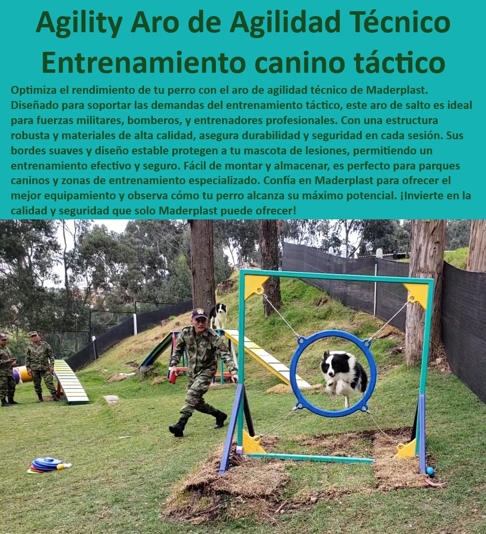 Aro De Salto De Alta Calidad Rueda Entrenamiento Anillo De Agilidad Maderplast , perros ejercito , Equipos de habilidad profesional para adiestramiento canino avanzado , Anillo de salto seguro , Aro de salto técnico , Equipamiento de agilidad K-9 , Aro de agilidad modular , Aro de agilidad eficiente , Ideal para entrenamiento táctico , Equipos de agilidad para perros , Anillo de agilidad Maderplast , Aro de agilidad para exteriores , Entrenamiento canino táctico , Aro de salto portátil , Aro de agilidad portátil para entrenamiento en espacios reducidos , ¿Dónde comprar aro de agilidad para perros? , Entrenamiento táctico K-9 , Aro de agilidad duradero y seguro para exteriores , Aro de agilidad antideslizante , Aro de salto resistente , Anillo de alta calidad para perros , Seguridad garantizada , Aro de agilidad para bomberos , Equipos de entrenamiento canino , Alta durabilidad , Usado por profesionales y militares , Bordes suaves y seguros , ¿Aro de agilidad portátil para perros? , ¿Cuál es el mejor aro de salto canino? , Agility para campeonatos portátil fácil montaje , Aro de agilidad robusto , Agility para entrenar perros alta calidad , ¿Qué aro de agilidad es más resistente? , Aro de salto fácil de montar , Anillo de entrenamiento canino , Aro de entrenamiento militar , Aro de entrenamiento canino para uso intensivo , Aro de agilidad duradero , Anillo de agilidad de alta calidad , Aro de agilidad para perros , Aro de agilidad para competiciones , Aro de agilidad profesional , Aro de salto para entrenamiento , Fácil montaje y almacenamiento , ¿Cómo elegir aro de agilidad para entrenamiento? Aro de agilidad para entrenamiento táctico canino , Equipamiento de agilidad seguro caninos , Aro de salto técnico para entrenamiento 0 Aro De Salto De Alta Calidad Rueda Entrenamiento Anillo De Agilidad Maderplast perros ejercito Aro de agilidad Equipos de habilidad profesional para adiestramiento canino avanzado , Anillo de salto seguro , Aro de salto técnico , Equipamiento de agilidad K-9 , Aro de agilidad modular , Aro de agilidad eficiente , Ideal para entrenamiento táctico , Equipos de agilidad para perros , Anillo de agilidad Maderplast , Aro de agilidad para exteriores , Entrenamiento canino táctico , Aro de salto portátil , Aro de agilidad portátil para entrenamiento en espacios reducidos , ¿Dónde comprar aro de agilidad para perros? , Entrenamiento táctico K-9 , Aro de agilidad duradero y seguro para exteriores , Aro de agilidad antideslizante , Aro de salto resistente , Anillo de alta calidad para perros , Seguridad garantizada , Aro de agilidad para bomberos , Equipos de entrenamiento canino , Alta durabilidad , Usado por profesionales y militares , Bordes suaves y seguros , ¿Aro de agilidad portátil para perros? , ¿Cuál es el mejor aro de salto canino? , Agility para campeonatos portátil fácil montaje , Aro de agilidad robusto , Agility para entrenar perros alta calidad , ¿Qué aro de agilidad es más resistente? , Aro de salto fácil de montar , Anillo de entrenamiento canino , Aro de entrenamiento militar , Aro de entrenamiento canino para uso intensivo , Aro de agilidad duradero , Anillo de agilidad de alta calidad , Aro de agilidad para perros , Aro de agilidad para competiciones , Aro de agilidad profesional , Aro de salto para entrenamiento , Fácil montaje y almacenamiento , ¿Cómo elegir aro de agilidad para entrenamiento? para entrenamiento táctico canino Equipamiento de agilidad seguro caninos Aro de salto técnico para entrenamiento 0 Aro De Salto De Alta Calidad Rueda Entrenamiento Anillo De Agilidad Maderplast , perros ejercito , Aro de agilidad para entrenamiento táctico canino , Equipamiento de agilidad seguro caninos , Aro de salto técnico para entrenamiento 0