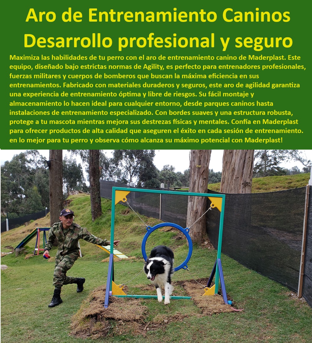 Aro De Salto De Alta Calidad Rueda Entrenamiento Anillo De Agilidad Maderplast , perros ejercito , Ideal para entrenamiento táctico , Aro de agilidad para exteriores , Aro de agilidad antideslizante , Aro de agilidad para perros , Alta durabilidad , ¿Cómo elegir aro de agilidad para entrenamiento? , Aro de agilidad para bomberos , Aro de salto portátil , Aro de agilidad portátil para entrenamiento en espacios reducidos , Equipamiento de agilidad K-9 , Aro de agilidad portátil para perros? , Fácil montaje y almacenamiento , Aro de entrenamiento canino para uso intensivo , Aro de agilidad para competiciones , Equipos de entrenamiento canino , Aro de agilidad robusto , Aro de salto fácil de montar , Equipos de agilidad para perros , Entrenamiento táctico K-9 , Anillo de salto seguro , Anillo de agilidad Maderplast , Equipos de habilidad profesional para adiestramiento canino avanzado , Aro de agilidad duradero , Usado por profesionales y militares , Agility para entrenar perros alta calidad , Aro de agilidad eficiente , Aro de salto técnico , Seguridad garantizada , Aro de agilidad duradero y seguro para exteriores , Bordes suaves y seguros , Aro de entrenamiento militar , ¿Cuál es el mejor aro de salto canino? , Aro de agilidad modular , Aro de agilidad profesional , Aro de salto resistente , ¿Qué aro de agilidad es más resistente? , Agility para campeonatos portátil fácil montaje , Aro de salto para entrenamiento , Entrenamiento canino táctico , Anillo de alta calidad para perros , Anillo de entrenamiento canino , ¿Dónde comprar aro de agilidad para perros? , Anillo de agilidad de alta calidad Aro de entrenamiento conforme a normas de agility , Sistema profesional de agility desarrollo de habilidades , Aro de agilidad perros 0 Aro De Salto De Alta Calidad Rueda Entrenamiento Anillo De Agilidad Maderplast perros ejercito Aro de entrenamiento Ideal para entrenamiento táctico , Aro de agilidad para exteriores , Aro de agilidad antideslizante , Aro de agilidad para perros , Alta durabilidad , ¿Cómo elegir aro de agilidad para entrenamiento? , Aro de agilidad para bomberos , Aro de salto portátil , Aro de agilidad portátil para entrenamiento en espacios reducidos , Equipamiento de agilidad K-9 , Aro de agilidad portátil para perros? , Fácil montaje y almacenamiento , Aro de entrenamiento canino para uso intensivo , Aro de agilidad para competiciones , Equipos de entrenamiento canino , Aro de agilidad robusto , Aro de salto fácil de montar , Equipos de agilidad para perros , Entrenamiento táctico K-9 , Anillo de salto seguro , Anillo de agilidad Maderplast , Equipos de habilidad profesional para adiestramiento canino avanzado , Aro de agilidad duradero , Usado por profesionales y militares , Agility para entrenar perros alta calidad , Aro de agilidad eficiente , Aro de salto técnico , Seguridad garantizada , Aro de agilidad duradero y seguro para exteriores , Bordes suaves y seguros , Aro de entrenamiento militar , ¿Cuál es el mejor aro de salto canino? , Aro de agilidad modular , Aro de agilidad profesional , Aro de salto resistente , ¿Qué aro de agilidad es más resistente? , Agility para campeonatos portátil fácil montaje , Aro de salto para entrenamiento , Entrenamiento canino táctico , Anillo de alta calidad para perros , Anillo de entrenamiento canino , ¿Dónde comprar aro de agilidad para perros? , Anillo de agilidad de alta calidad conforme a normas de agility Sistema profesional de agility desarrollo de habilidades Aro de agilidad perros 0 Aro De Salto De Alta Calidad Rueda Entrenamiento Anillo De Agilidad Maderplast , perros ejercito , Aro de entrenamiento conforme a normas de agility , Sistema profesional de agility desarrollo de habilidades , Aro de agilidad perros 0