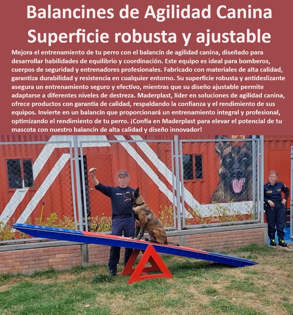 Balancín O Seesaw Para Perros Plataforma Equilibrio Coordinación Balance Maderplast , Vallas de entrenamiento intensivo , Accesorios de entrenamiento para perros , Entrenamiento canino avanzado , Vallas de entrenamiento de fácil montaje , Vallas de entrenamiento modulares , ¿Qué características tienen las vallas de agilidad para uso profesional? Obstáculos ajustables para perros , Material deportivo canino de calidad , ¿Dónde encontrar vallas ajustables para entrenamiento canino? , ¿Cómo seleccionar vallas de entrenamiento para perros de rescate? , Vallas de alta resistencia para perros , Equipos de entrenamiento para competiciones caninas , Equipamiento de agilidad profesional , Vallas de agilidad para entrenadores profesionales , Valla de entrenamiento exterior para perros , Mejora de destreza en perros , Salto canino de competencia , Vallas para entrenamiento de seguridad , Equipos de entrenamiento canino ajustables , ¿Qué vallas de agilidad son adecuadas para competiciones? , Equipos de agilidad certificados , Valla ajustable de agilidad , Entrenamiento canino para fuerzas de seguridad , Soluciones de entrenamiento canino , Vallas de entrenamiento personalizable , ¿Cuáles son las mejores vallas de agilidad para entrenamiento intensivo? , Barrera de salto duradera , Valla de agilidad canina anti-deslizante , Equipos de agilidad para bomberos , Valla de agilidad para todas las razas perros Bomberos , Balancín agilidad canina con superficie robusta , Soluciones de agilidad canina con garantía , Seesaw para perro con ajuste canino Balancín O Seesaw Para Perros Plataforma Equilibrio Coordinación Balance Maderplast Vallas de entrenamiento intensivo , Accesorios de entrenamiento para perros , Entrenamiento canino avanzado , Vallas de entrenamiento de fácil montaje , Vallas de entrenamiento modulares , ¿Qué características tienen las vallas de agilidad para uso profesional? Obstáculos ajustables para perros , Material deportivo canino de calidad , ¿Dónde encontrar vallas ajustables para entrenamiento canino? , ¿Cómo seleccionar vallas de entrenamiento para perros de rescate? , Vallas de alta resistencia para perros , Equipos de entrenamiento para competiciones caninas , Equipamiento de agilidad profesional , Vallas de agilidad para entrenadores profesionales , Valla de entrenamiento exterior para perros , Mejora de destreza en perros , Salto canino de competencia , Vallas para entrenamiento de seguridad , Equipos de entrenamiento canino ajustables , ¿Qué vallas de agilidad son adecuadas para competiciones? , Equipos de agilidad certificados , Valla ajustable de agilidad , Entrenamiento canino para fuerzas de seguridad , Soluciones de entrenamiento canino , Vallas de entrenamiento personalizable , ¿Cuáles son las mejores vallas de agilidad para entrenamiento intensivo? , Barrera de salto duradera , Valla de agilidad canina anti-deslizante , Equipos de agilidad para bomberos , Valla de agilidad para todas las razas perros Bomberos Balancín agilidad canina con superficie robusta Soluciones de agilidad canina con garantía Seesaw para perro con ajuste canino Balancín O Seesaw Para Perros Plataforma Equilibrio Coordinación Balance Maderplast , perros Bomberos , Balancín agilidad canina con superficie robusta , Soluciones de agilidad canina con garantía , Seesaw para perro con ajuste canino