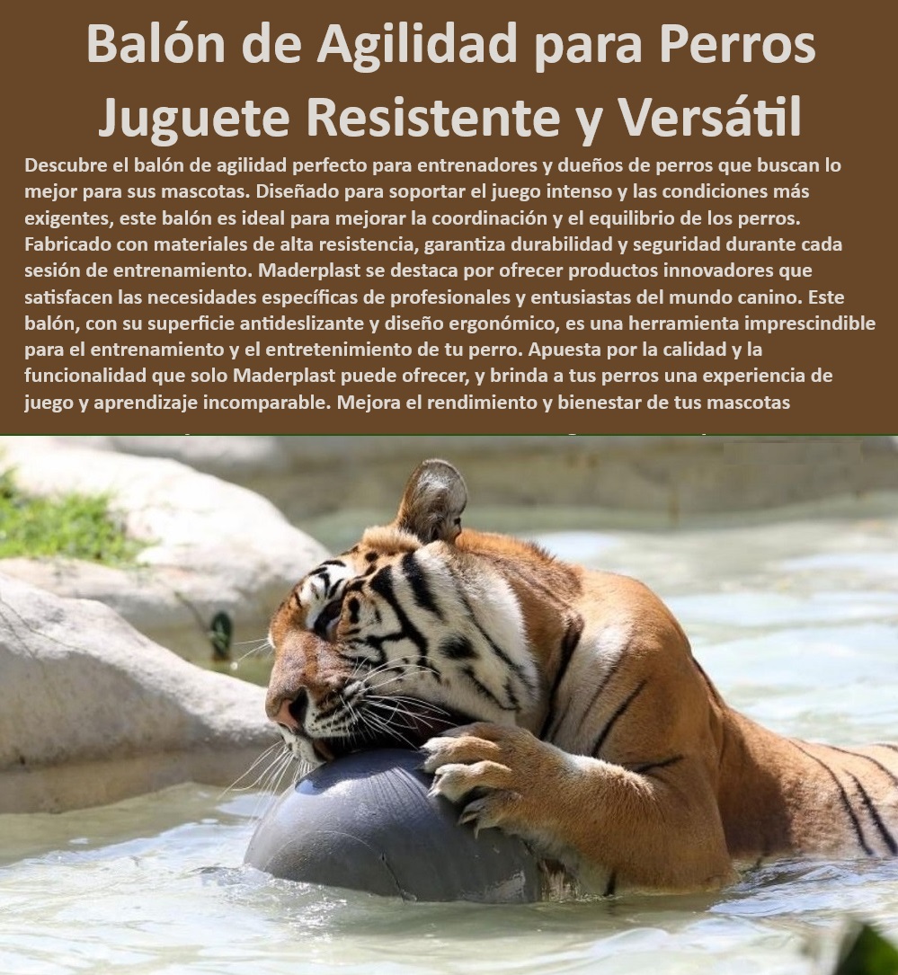 Balón de juego para perros Balón grandes depredadores Esfera de felinos Maderplast Esfera durabilidad perros , Esfera robusta felinos , ¿Dónde encontrar juguetes de alta resistencia para perros? , Juguete versátil perros , Juguete perros grandes , Juguete fortalecimiento caninos , Juguete bienestar canino , Balón resistente mordidas , Esfera de felinos Maderplast , Juguete duradero para felinos , Juguete resistente para perros grandes , ¿Cómo elegir un juguete antiestrés para perros? , Balón de juego para perros , Balón de agilidad canina , Balón robusto entrenamiento , Balón morder mascotas , Juguete duradero animales , Juguete interactivo mascotas , Juguete resistente mascotas , Balón de agilidad para mascotas , Balón alta resistencia , Balón ejercicio reducción estrés , Juguete seguro animales , ¿Qué tipo de balón es ideal para felinos grandes? , Juguete antideslizante mascotas , Balón antiestrés para zoológicos , Balón entrenamiento perros , Balón entretenimiento canino , ¿Cuál es el mejor juguete resistente para perros grandes? , Esfera coordinación mascotas , Esfera de ejercicio para animales , Balón para grandes depredadores , ¿Dónde comprar juguetes duraderos para mascotas? , Juguete antiestrés zoológicos , Esfera ejercicio felinos , Juguete antiestrés para el enriquecimiento de zoológicos , Juguete de fortalecimiento caninos grandes , Balón de ejercicio para reducción de estrés 0 Balón de juego para perros Balón grandes depredadores Esfera de felinos Maderplast Esfera durabilidad perros , Esfera robusta felinos , ¿Dónde encontrar juguetes de alta resistencia para perros? , Juguete versátil perros , Juguete perros grandes , Juguete fortalecimiento caninos , Juguete bienestar canino , Balón resistente mordidas , Esfera de felinos Maderplast , Juguete duradero para felinos , Juguete resistente para perros grandes , ¿Cómo elegir un juguete antiestrés para perros? , Balón de juego para perros , Balón de agilidad canina , Balón robusto entrenamiento , Balón morder mascotas , Juguete duradero animales , Juguete interactivo mascotas , Juguete resistente mascotas , Balón de agilidad para mascotas , Balón alta resistencia , Balón ejercicio reducción estrés , Juguete seguro animales , ¿Qué tipo de balón es ideal para felinos grandes? , Juguete antideslizante mascotas , Balón antiestrés para zoológicos , Balón entrenamiento perros , Balón entretenimiento canino , ¿Cuál es el mejor juguete resistente para perros grandes? , Esfera coordinación mascotas , Esfera de ejercicio para animales , Balón para grandes depredadores , ¿Dónde comprar juguetes duraderos para mascotas? , Juguete antiestrés zoológicos , Esfera ejercicio felinos Juguete antiestrés para el enriquecimiento de zoológicos Juguete de fortalecimiento caninos grandes Balón de ejercicio para reducción de estrés 0 Balón de juego para perros Balón grandes depredadores Esfera de felinos Maderplast , Juguete antiestrés para el enriquecimiento de zoológicos , Juguete de fortalecimiento caninos grandes , Balón de ejercicio para reducción de estrés 0