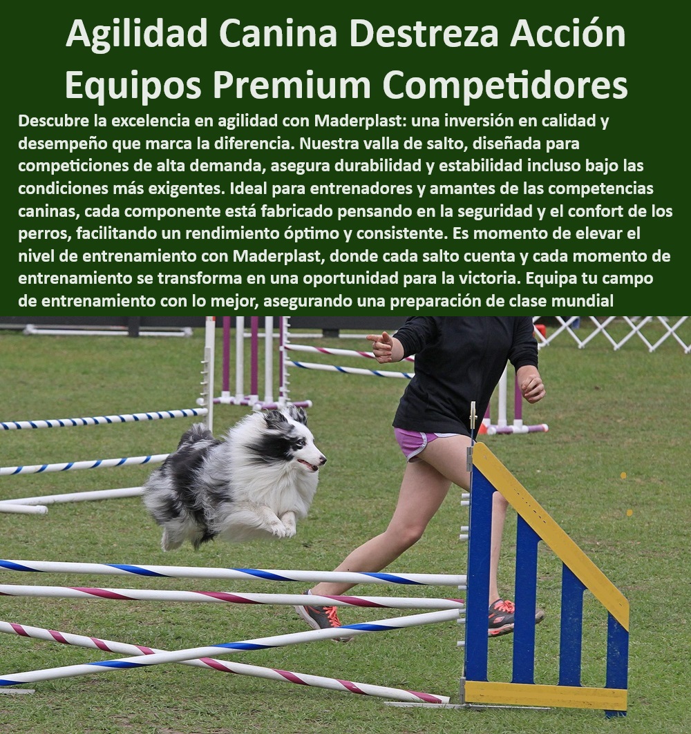 Barrera de salto agility canino obstáculo Valla Salto de agilidad perros Maderplast , Valla de agilidad perros , Equipos caninos profesionales , Equipos para agility canino , Barrera para mejorar agilidad , ¿Dónde encontrar barreras de salto para perros de alta calidad? , Valla ajustable para entrenamiento canino , Barrera resistente para agility , Equipos para entrenamiento de perros , Accesorios para entrenamiento canino , Barrera de alta calidad , ¿Qué vaya de agility es más segura? , ¿Qué valla de entrenamiento canino debo comprar? , Barrera duradera para perros , ¿Cuál es la barrera más recomendada para la agilidad de los perros? , ¿Qué valla es mejor para competencias caninas? , Valla de salto certificada , Valla de entrenamiento perros , Valla de agilidad certificada , ¿Cuál es la mejor barrera de salto para perros? , Valla de salto Maderplast , Soluciones para agility perros , Barrera de entrenamiento canino , Obstáculo agility canino , ¿Dónde encontrar barreras de entrenamiento canino? , ¿Dónde comprar valla de agilidad para perros? , Valla de competencia canina , ¿Cuál es el mejor equipo de entrenamiento para perros? Obstáculo para perros de competencia , Barrera de salto canino , Barrera de salto para competiciones , ¿Dónde venden equipos de agility canino? , Salto de agilidad perros , Valla de salto para campeonatos , Entrenamiento canino de élite campeonatos competencias Valla de salto resistente Ideal para entrenamientos intensivos , Salto de altura para perros Certificado para competencias Barrera de salto agility canino obstáculo Valla Salto de agilidad perros Maderplast Valla de agilidad perros , Equipos caninos profesionales , Equipos para agility canino , Barrera para mejorar agilidad , ¿Dónde encontrar barreras de salto para perros de alta calidad? , Valla ajustable para entrenamiento canino , Barrera resistente para agility , Equipos para entrenamiento de perros , Accesorios para entrenamiento canino , Barrera de alta calidad , ¿Qué vaya de agility es más segura? , ¿Qué valla de entrenamiento canino debo comprar? , Barrera duradera para perros , ¿Cuál es la barrera más recomendada para la agilidad de los perros? , ¿Qué valla es mejor para competencias caninas? , Valla de salto certificada , Valla de entrenamiento perros , Valla de agilidad certificada , ¿Cuál es la mejor barrera de salto para perros? , Valla de salto Maderplast , Soluciones para agility perros , Barrera de entrenamiento canino , Obstáculo agility canino , ¿Dónde encontrar barreras de entrenamiento canino? , ¿Dónde comprar valla de agilidad para perros? , Valla de competencia canina , ¿Cuál es el mejor equipo de entrenamiento para perros? Obstáculo para perros de competencia , Barrera de salto canino , Barrera de salto para competiciones , ¿Dónde venden equipos de agility canino? , Salto de agilidad perros , Valla de salto para campeonatos , Entrenamiento canino de élite campeonatos competencias Valla de salto resistente Ideal para entrenamientos intensivos Salto de altura para perros Certificado para competencias 0 Barrera de salto agility canino obstáculo Valla Salto de agilidad perros Maderplast , campeonatos competencias Valla de salto resistente Ideal para entrenamientos intensivos , Salto de altura para perros Certificado para competencias