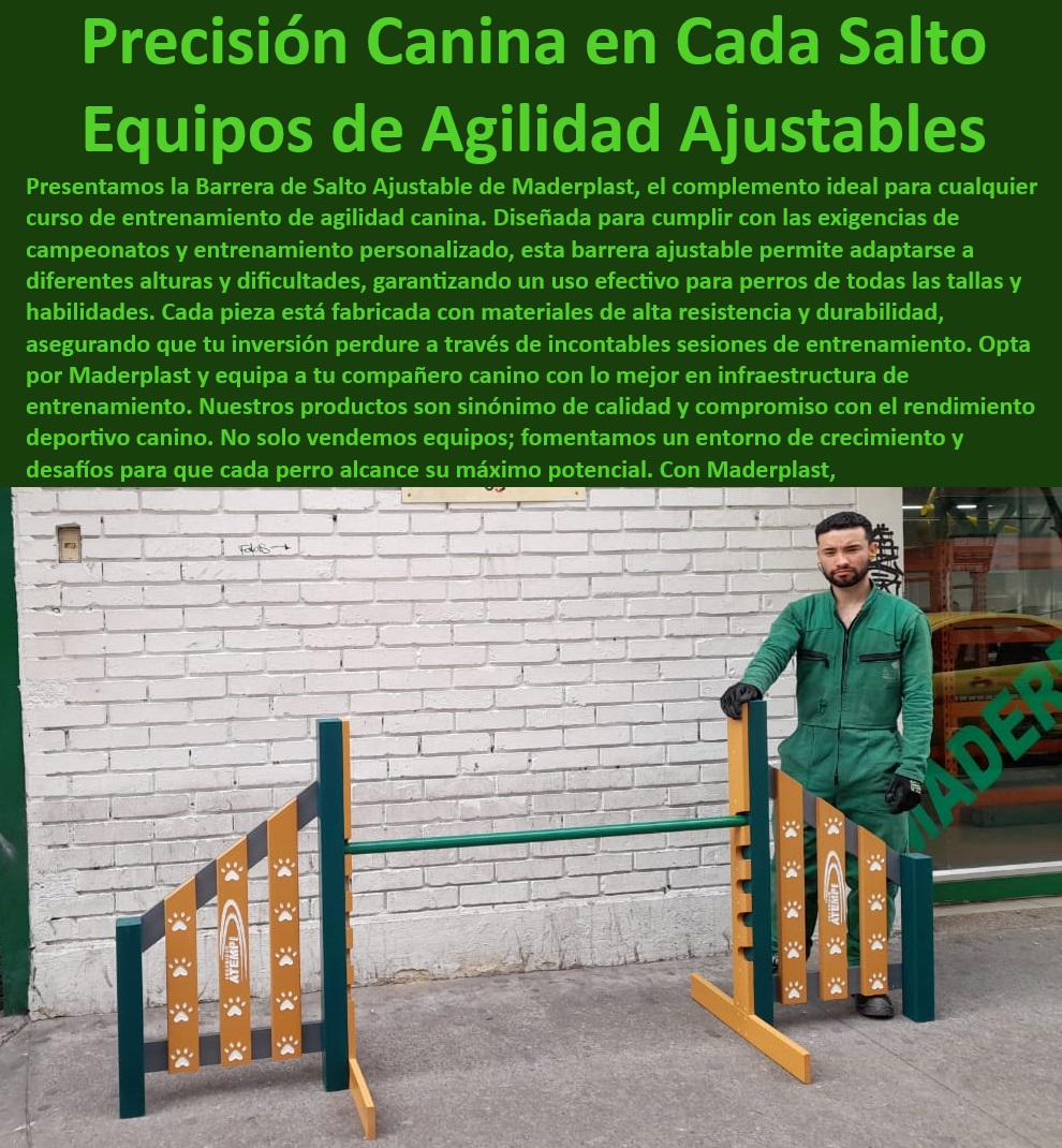 Barrera de salto agility canino obstáculo Valla Salto de agilidad perros Maderplast , ¿Qué aro de agility es más seguro? , ¿Cuál es el aro más recomendado para agility de perros? , Entrenamiento Canino de Élite , Aro para Perros de Rescate , Aro para Mejora de Agilidad , Kit de Agilidad Canina , Aro Canino Certificado , Rueda para Perros de Competición , Kit de Agilidad Premium , Equipamiento Agility Perros , Accesorios para Entrenamiento Canino , Soluciones para Agility Perros , Anillo de Agilidad Perros , Aro de Salto Policía Canina , Equipos para Agilidad Canina , Aro Antideslizante , ¿Dónde encontrar aros de entrenamiento canino? , Anillo de Entrenamiento Perros , ¿Dónde comprar aro de agilidad para perros? , ¿Cuál es el mejor equipo de entrenamiento para perros? , ¿Dónde venden equipos de agility canino? , Proveedores de Equipos de Agility , Equipo Canino Resistente , ¿Qué aro de entrenamiento canino debo comprar? , Equipos Caninos Profesionales , Rueda Entrenamiento Canino , Aro de Alta Calidad , Aro de Salto Certificado , Aro de Competencia Canina , ¿Cuál es el mejor aro de salto para perros? , ¿Qué aro es mejor para competencias caninas? , Aro Duradero para Perros , ¿Dónde encontrar aros de salto para perros de alta calidad? , Aro de Salto Canino catálogo brochure Barrera para perros ajustable Entrenamiento personalizado , Equipo profesional de agilidad saltos Resistencia , Equipo de agilidad Barrera de salto agility canino obstáculo Valla Salto de agilidad perros Maderplast ¿Qué aro de agility es más seguro? , ¿Cuál es el aro más recomendado para agility de perros? , Entrenamiento Canino de Élite , Aro para Perros de Rescate , Aro para Mejora de Agilidad , Kit de Agilidad Canina , Aro Canino Certificado , Rueda para Perros de Competición , Kit de Agilidad Premium , Equipamiento Agility Perros , Accesorios para Entrenamiento Canino , Soluciones para Agility Perros , Anillo de Agilidad Perros , Aro de Salto Policía Canina , Equipos para Agilidad Canina , Aro Antideslizante , ¿Dónde encontrar aros de entrenamiento canino? , Anillo de Entrenamiento Perros , ¿Dónde comprar aro de agilidad para perros? , ¿Cuál es el mejor equipo de entrenamiento para perros? , ¿Dónde venden equipos de agility canino? , Proveedores de Equipos de Agility , Equipo Canino Resistente , ¿Qué aro de entrenamiento canino debo comprar? , Equipos Caninos Profesionales , Rueda Entrenamiento Canino , Aro de Alta Calidad , Aro de Salto Certificado , Aro de Competencia Canina , ¿Cuál es el mejor aro de salto para perros? , ¿Qué aro es mejor para competencias caninas? , Aro Duradero para Perros , ¿Dónde encontrar aros de salto para perros de alta calidad? , Aro de Salto Canino catálogo brochure Barrera para perros ajustable Entrenamiento personalizado Equipo profesional de agilidad saltos Resistencia Equipo de agilidad 0 Barrera de salto agility canino obstáculo Valla Salto de agilidad perros Maderplast , catálogo brochure Barrera para perros ajustable Entrenamiento personalizado , Equipo profesional de agilidad saltos Resistencia , Equipo de agilidad