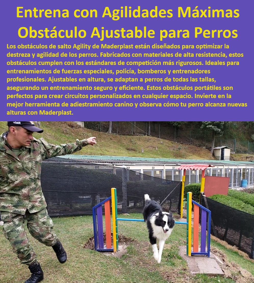 Barrera de salto agility canino obstáculo Valla Salto de agilidad perros Maderplast Valla de agilidad para perros policía , Valla de agilidad segura , Equipo de agility para perros , Obstáculo de agilidad resistente , Equipo de entrenamiento K-9 , Obstáculo de agilidad duradero , Obstáculo de agilidad Maderplast , Obstáculo de agilidad portátil , ¿Cuál es la mejor valla de agilidad ajustable? , ¿Dónde comprar obstáculos de salto para perros? Agility para campeonatos portátil fácil montaje. , Valla de agilidad profesional , Obstáculo de agilidad para bomberos , Obstáculo de entrenamiento intensivo , Valla de agilidad segura y duradera para exteriores. Entrenamiento canino profesional , Valla de entrenamiento para perros , Barrera de salto ajustable para perros en entrenamiento de agilidad. , Valla de salto para perros , Equipo de entrenamiento canino , Seguridad garantizada: Superficie antideslizante y ajuste en altura. Equipo de entrenamiento canino con altura ajustable. , ¿Qué obstáculos de agilidad son los más seguros? Equipo de agility portátil para entrenamientos intensivos de perros. , Barrera de salto agility canino , Equipo de agilidad militar , Cumple con estándares: Perfecto para competiciones y entrenamientos profesionales. , Entrenamiento canino de alto nivel , Valla de agilidad ajustable , Entrenamiento de agilidad canina , ¿Qué equipo de agility es ideal para perros de trabajo? Adaptabilidad: Ajuste para perros de todas las tallas. , Valla de salto para perros de trabajo , Obstáculo de agilidad para exteriores , Alta resistencia: Fabricada con materiales duraderos. , Valla de agilidad para competiciones , Obstáculo de salto para perros , Obstáculo de agilidad profesional para perros de trabajo. Agility para entrenar perros de alta calidad. , ¿Cómo elegir una valla de salto para competiciones caninas? Fácil de transportar: Ideal para entrenamientos en cualquier espacio. , Equipo de agilidad ajustable perros Ejercito Policía salto Valla Salto altura regulable Adaptación a todas las altura. Obstáculo de agilidad Seguridad salto Valla. Barrera perro 0 Barrera de salto agility canino obstáculo Valla Salto de agilidad perros Maderplast Valla de agilidad para perros policía , Valla de agilidad segura , Equipo de agility para perros , Obstáculo de agilidad resistente , Equipo de entrenamiento K-9 , Obstáculo de agilidad duradero , Obstáculo de agilidad Maderplast , Obstáculo de agilidad portátil , ¿Cuál es la mejor valla de agilidad ajustable? , ¿Dónde comprar obstáculos de salto para perros? Agility para campeonatos portátil fácil montaje. , Valla de agilidad profesional , Obstáculo de agilidad para bomberos , Obstáculo de entrenamiento intensivo , Valla de agilidad segura y duradera para exteriores. Entrenamiento canino profesional , Valla de entrenamiento para perros , Barrera de salto ajustable para perros en entrenamiento de agilidad. , Valla de salto para perros , Equipo de entrenamiento canino , Seguridad garantizada: Superficie antideslizante y ajuste en altura. Equipo de entrenamiento canino con altura ajustable. , ¿Qué obstáculos de agilidad son los más seguros? Equipo de agility portátil para entrenamientos intensivos de perros. , Barrera de salto agility canino , Equipo de agilidad militar , Cumple con estándares: Perfecto para competiciones y entrenamientos profesionales. , Entrenamiento canino de alto nivel , Valla de agilidad ajustable , Entrenamiento de agilidad canina , ¿Qué equipo de agility es ideal para perros de trabajo? Adaptabilidad: Ajuste para perros de todas las tallas. , Valla de salto para perros de trabajo , Obstáculo de agilidad para exteriores , Alta resistencia: Fabricada con materiales duraderos. , Valla de agilidad para competiciones , Obstáculo de salto para perros , Obstáculo de agilidad profesional para perros de trabajo. Agility para entrenar perros de alta calidad. , ¿Cómo elegir una valla de salto para competiciones caninas? Fácil de transportar: Ideal para entrenamientos en cualquier espacio. , Equipo de agilidad ajustable perros Ejercito Policía salto Valla Salto altura regulable Adaptación a todas las altura. Obstáculo de agilidad Seguridad salto Valla. Barrera perro 0 Barrera de salto agility canino obstáculo Valla Salto de agilidad perros Maderplast perros Ejercito Policía salto Valla Salto altura regulable Adaptación a todas las altura. Obstáculo de agilidad Seguridad salto Valla. Barrera perro 0