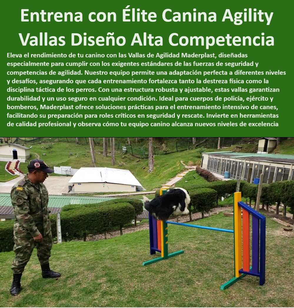 Barrera de salto agility canino obstáculo Valla Salto de agilidad perros Maderplast , Obstáculo agility canino , Entrenamiento canino intensivo , ¿Cuál es la mejor valla de agilidad para entrenamiento canino? Agility para entrenar perros de alta calidad. , Valla de agilidad para perros , Barrera de alta calidad para entrenamiento de perros. Equipos de agilidad profesional para adiestramiento canino avanzado. Agility para campeonatos portátil fácil montaje. Entrenamiento de agilidad canina , Valla de salto Maderplast , Valla de agilidad duradera , Superficie antideslizante: Garantiza seguridad durante el entrenamiento. , Valla de agilidad ajustable , Valla de agilidad segura , ¿Cómo elegir una valla de agilidad para perros? , Valla de agilidad para policías , Obstáculo de entrenamiento para perros , Valla de entrenamiento ajustable , Valla de salto para competencias , Fácil montaje: Rápida instalación y almacenamiento. , Valla de entrenamiento para perros , Valla de agilidad portátil , Valla de agilidad militar , Diseño ergonómico: Ajustable a diferentes niveles de entrenamiento. , Equipo de agility para perros , Valla de entrenamiento canino para uso intensivo y seguro. , ¿Dónde comprar vallas de agilidad para perros? , ¿Qué equipo de agility es más seguro para perros? Valla de agilidad duradera y segura para exteriores. Obstáculo de agilidad para bomberos , ¿Qué valla de salto es ideal para competencias caninas? Equipo de entrenamiento K-9 , Valla de agilidad portátil para entrenamiento en espacios pequeños. , Barrera de salto canina , Valla de agilidad profesional , Equipo de agilidad canina , Villa de agilidad resistente , Equipo de entrenamiento canino , Valla de salto para perros de trabajo , Seguridad garantizada: Ideal para entrenamiento intensivo. Alta durabilidad: Diseñada para resistir condiciones extremas. , Entrenamiento canino de alto nivel perros Ejercito Policía salto Valla de agilidad , profesional Cumple con estándares de competición. Valla de agilidad para perros Mejora la destreza Barrera de salto agility canino obstáculo Valla Salto de agilidad perros Maderplast , Obstáculo agility canino , Entrenamiento canino intensivo , ¿Cuál es la mejor valla de agilidad para entrenamiento canino? Agility para entrenar perros de alta calidad. , Valla de agilidad para perros , Barrera de alta calidad para entrenamiento de perros. Equipos de agilidad profesional para adiestramiento canino avanzado. Agility para campeonatos portátil fácil montaje. Entrenamiento de agilidad canina , Valla de salto Maderplast , Valla de agilidad duradera , Superficie antideslizante: Garantiza seguridad durante el entrenamiento. , Valla de agilidad ajustable , Valla de agilidad segura , ¿Cómo elegir una valla de agilidad para perros? , Valla de agilidad para policías , Obstáculo de entrenamiento para perros , Valla de entrenamiento ajustable , Valla de salto para competencias , Fácil montaje: Rápida instalación y almacenamiento. , Valla de entrenamiento para perros , Valla de agilidad portátil , Valla de agilidad militar , Diseño ergonómico: Ajustable a diferentes niveles de entrenamiento. , Equipo de agility para perros , Valla de entrenamiento canino para uso intensivo y seguro. , ¿Dónde comprar vallas de agilidad para perros? , ¿Qué equipo de agility es más seguro para perros? Valla de agilidad duradera y segura para exteriores. Obstáculo de agilidad para bomberos , ¿Qué valla de salto es ideal para competencias caninas? Equipo de entrenamiento K-9 , Valla de agilidad portátil para entrenamiento en espacios pequeños. , Barrera de salto canina , Valla de agilidad profesional , Equipo de agilidad canina , Villa de agilidad resistente , Equipo de entrenamiento canino , Valla de salto para perros de trabajo , Seguridad garantizada: Ideal para entrenamiento intensivo. Alta durabilidad: Diseñada para resistir condiciones extremas. , Entrenamiento canino de alto nivel perros Ejercito Policía salto Valla de agilidad , profesional Cumple con estándares de competición. Valla de agilidad para perros Mejora la destreza Barrera de salto agility canino obstáculo Valla Salto de agilidad perros Maderplast , perros Ejercito Policía salto Valla de agilidad , profesional Cumple con estándares de competición. Valla de agilidad para perros Mejora la destreza