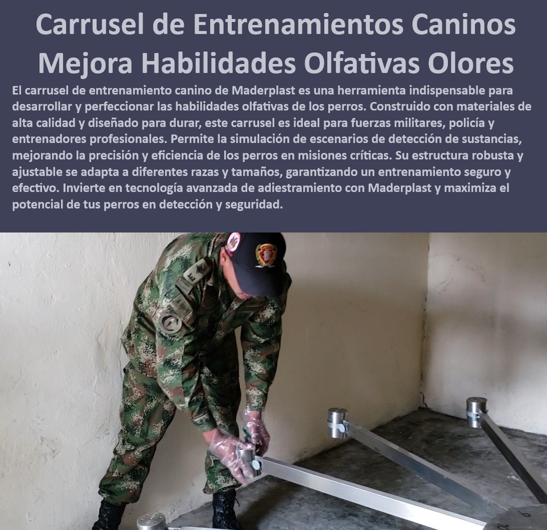 Carrusel Entrenamiento Canino para Detectar Droga rastro del olfato carrusel Maderplast Carrusel de entrenamiento canino , Personalización completa: Adaptable a diferentes razas y tamaños. , Habilidades de olfato para perros , Larga vida útil: Resistente a las inclemencias del tiempo. , Entrenamiento especializado para perros , Plataforma de entrenamiento olfativo para perros. Equipo de detección de explosivos canino , Carrusel de habilidades olfativas , Habilidades olfativas para perros , Carrusel ajustable para entrenamiento canino profesional. Entrenamiento antinarcóticos canino , Adiestramiento de perros militares , Equipo de detección de explosivos para perros militares. , Entrenamiento olfativo para perros de alta calidad. Carrusel para perros de policía , ¿Qué carrusel es ideal para detección de drogas en perros? Alta resistencia: Fabricado con materiales duraderos. Equipo de entrenamiento intensivo canino , ¿Cómo mejorar las habilidades olfativas de los perros? Seguridad garantizada: Diseño estable y ajustable. , Carrusel de pruebas caninas , Entrenamiento de perros de seguridad , Detección de olores para perros , Plataforma de entrenamiento olfativo , Plataforma de entrenamiento para perros , Equipo de rastreo olfativo para perros , Carrusel de adiestramiento canino , Detección de sustancias canina , Entrenamiento olfativo Maderplast , Carrusel de entrenamiento olfativo para detección de drogas en perros. Adiestramiento canino de precisión , Cumple con estándares: Ideal para entrenamientos y competencias profesionales. Equipo de entrenamiento canino ajustable , Carrusel para perros de rescate , Equipo de detección de sustancias para perros de policía. , ¿Cuál es el mejor equipo para entrenamiento olfativo canino? , ¿Qué equipo de detección de sustancias es mejor para perros? , ¿Dónde comprar un carrusel de entrenamiento olfativo para perros? Carrusel de detección canina , Capacitación canina profesional , Carrusel de detección de drogas ajustable fácil montaje. , Equipo de detección de drogas para perros Carrusel de Capacitación Canina habilidades olfativas Plataforma de Entrenamiento Olfato Canino toda raza Carrusel de Pruebas Antinarcóticos 0 Carrusel Entrenamiento Canino para Detectar Droga rastro del olfato carrusel Maderplast Carrusel de entrenamiento canino , Personalización completa: Adaptable a diferentes razas y tamaños. , Habilidades de olfato para perros , Larga vida útil: Resistente a las inclemencias del tiempo. , Entrenamiento especializado para perros , Plataforma de entrenamiento olfativo para perros. Equipo de detección de explosivos canino , Carrusel de habilidades olfativas , Habilidades olfativas para perros , Carrusel ajustable para entrenamiento canino profesional. Entrenamiento antinarcóticos canino , Adiestramiento de perros militares , Equipo de detección de explosivos para perros militares. , Entrenamiento olfativo para perros de alta calidad. Carrusel para perros de policía , ¿Qué carrusel es ideal para detección de drogas en perros? Alta resistencia: Fabricado con materiales duraderos. Equipo de entrenamiento intensivo canino , ¿Cómo mejorar las habilidades olfativas de los perros? Seguridad garantizada: Diseño estable y ajustable. , Carrusel de pruebas caninas , Entrenamiento de perros de seguridad , Detección de olores para perros , Plataforma de entrenamiento olfativo , Plataforma de entrenamiento para perros , Equipo de rastreo olfativo para perros , Carrusel de adiestramiento canino , Detección de sustancias canina , Entrenamiento olfativo Maderplast , Carrusel de entrenamiento olfativo para detección de drogas en perros. Adiestramiento canino de precisión , Cumple con estándares: Ideal para entrenamientos y competencias profesionales. Equipo de entrenamiento canino ajustable , Carrusel para perros de rescate , Equipo de detección de sustancias para perros de policía. , ¿Cuál es el mejor equipo para entrenamiento olfativo canino? , ¿Qué equipo de detección de sustancias es mejor para perros? , ¿Dónde comprar un carrusel de entrenamiento olfativo para perros? Carrusel de detección canina , Capacitación canina profesional , Carrusel de detección de drogas ajustable fácil montaje. , Equipo de detección de drogas para perros Carrusel de Capacitación Canina habilidades olfativas Plataforma de Entrenamiento Olfato Canino toda raza Carrusel de Pruebas Antinarcóticos 0 Carrusel Entrenamiento Canino para Detectar Droga rastro del olfato carrusel Maderplast Carrusel de Capacitación Canina habilidades olfativas Plataforma de Entrenamiento Olfato Canino toda raza Carrusel de Pruebas Antinarcóticos 0