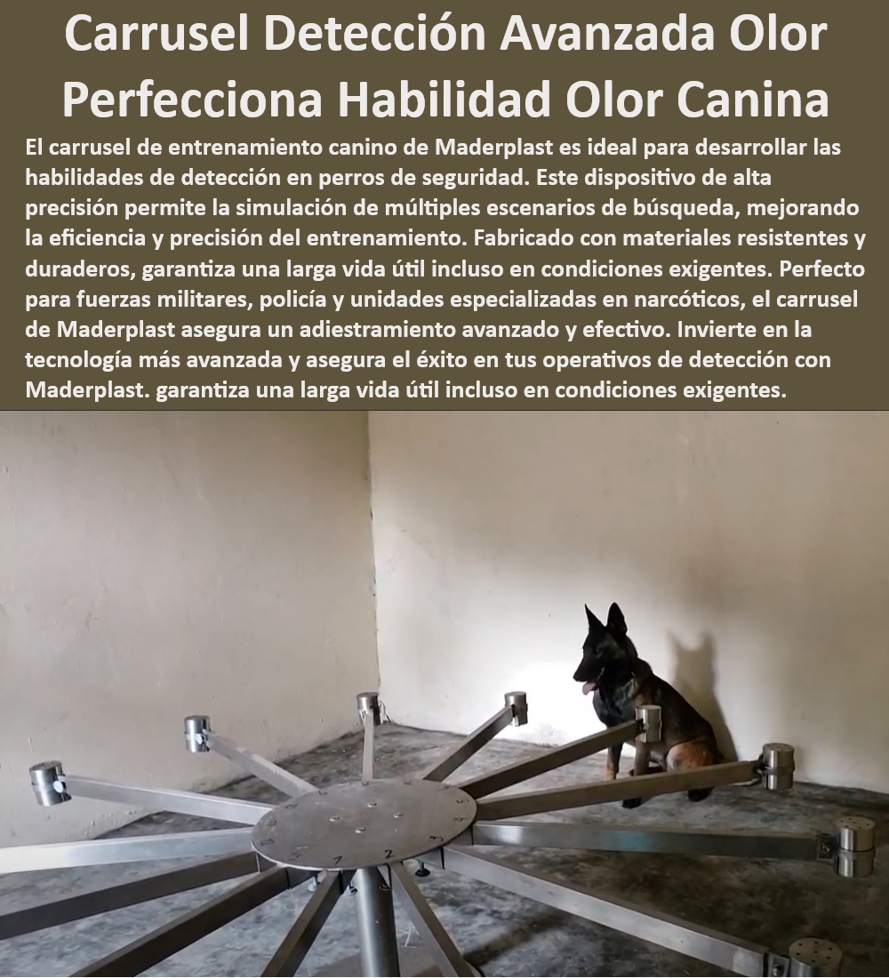 Carrusel Entrenamiento Canino para Detectar Droga rastro del olfato carrusel Maderplast , Preparación perros explosivos , Entrenamiento avanzado perros , ¿Dónde entrenar perros para detectar explosivos? , ¿Qué instalaciones usar para entrenamiento de perros detectores de bombas? , Misiones críticas perros , Resistencia pistas caninas , 5 Principales Preguntas por Voz: , ¿Cómo mejorar la eficiencia de perros detectores de explosivos? , Eficiencia perros explosivos , Perros rastreo sustancias , ¿Cuál es la mejor pista de entrenamiento canino? , Equipos caninos explosivos , Materiales duraderos entrenamiento canino , Perros policía explosivos , Detección de explosivos perros , Pistas detección bombas , Longevidad equipos caninos , Instalaciones entrenamiento canino , Entrenamiento perros guía , Balancines caninos seguridad , ¿Cómo entrenar perros para desminado? , ¿Dónde entrenar perros para detección de explosivos? , Fuerzas militares caninas , Capacitación canina campos minados , ¿Cuáles son las mejores pistas para entrenamiento canino militar? , Éxito operaciones caninas , ¿Qué materiales son ideales para pistas caninas? , Pistas entrenamiento canino explosivos , Habilidades perros detección , Seguridad canina Maderplast , Entrenadores caninos profesionales , Perros detección minas , ¿Cómo mejorar habilidades de perros detectores? , Perros militares entrenamiento , Operaciones desminado caninos , ¿Cómo capacitar perros en campos minados? Precisión y eficiencia: Diseñado para escenarios de detección reales. , Pista de entrenamiento canino , Entrenamiento especializado perros , Pista explosivos Maderplast , Pista de entrenamiento olfativo para perros militares. Pista ajustable para perros , Herramienta de narco-detección para unidades antinarcóticos. Alta durabilidad: Construido con materiales robustos y duraderos. , Herramienta de detección canina , Instalaciones de entrenamiento olfativo , Entrenamiento olfativo para perros alta calidad. , ¿Dónde comprar una pista de detección de explosivos para perros? , ¿Cómo entrenar perros militares para detección de explosivos? , Pista de pruebas caninas , Adiestramiento canino profesional , Equipo de detección avanzada , Adiestramiento perros militares , Instalaciones de entrenamiento duraderas , ¿Qué dispositivo mejora la detección de bombas en perros? Sistema avanzado para adiestramiento canino profesional. , Entrenamiento olfativo explosivos , Pista de precisión olfativa , Instalaciones de olfato para perros , Pista para perros policía , Detección de explosivos perros , ¿Qué equipo es ideal para entrenamiento canino antidrogas? , Tecnología de detección canina , Entrenamiento perros fuerzas especiales , Entrenamiento táctico explosivos , Tecnología avanzada: Equipado para mejorar las capacidades olfativas de los perros. Seguridad garantizada: Proporciona un entorno controlado y seguro. , Pista de entrenamiento olfativo para detección de explosivos en perros. , ¿Cómo entrenar a un perro para detectar explosivos? Adiestramiento intensivo perros , Adaptabilidad: Ajustable para diferentes razas y tamaños. Equipo para perros de rescate , Pista de detección de explosivos ajustable fácil montaje. Instalaciones de detección de bombas para perros policía. , Equipo de simulación olfativa , Detección de bombas canina , Adiestramiento de detección de bombas , Pista de seguridad canina Adiestramiento olfativo para perros , ¿Qué dispositivo mejora las habilidades olfativas de los perros? , Plataforma de entrenamiento olfativo para perros militares. , Entrenamiento olfativo para perros de alta calidad. Entrenamiento olfativo perros , Carrusel de detección de drogas ajustable fácil montaje. , Estación de detección de drogas , Adiestramiento intensivo perros , Equipo de rastreo olfativo , Adaptabilidad: Ajustable para diferentes razas y tamaños. , Plataforma de olfato para perros , Tecnología avanzada: Equipado para mejorar las capacidades olfativas de los perros. Carrusel multisensorial canino , Carrusel de entrenamiento canino , Sistema avanzado para adiestramiento canino profesional. , Herramienta de detección canina , Detección de drogas canina , ¿Dónde comprar un carrusel de detección de drogas para perros? , Entrenamiento olfativo de precisión , Adiestramiento de perros militares , Equipo de simulación olfativa , Carrusel para perros policía , Plataforma de entrenamiento resistente , ¿Cuál es el mejor equipo para entrenamiento olfativo canino? Carrusel olfato Maderplast , Entrenamiento táctico canino , Equipo de detección avanzada , Estación de pruebas caninas , Seguridad garantizada: Proporciona un entorno controlado y seguro. , ¿Cómo entrenar perros para detectar sustancias ilegales? , Equipo para perros de rescate , Alta durabilidad: Construido con materiales robustos y duraderos. Equipo antidrogas canino , Precisión y eficiencia: Diseñado para escenarios de detección reales. Estación de detección de drogas para perros policía. , ¿Qué equipo es ideal para entrenamiento canino antidrogas? , Entrenamiento canino profesional , Plataforma de entrenamiento olfativo , Herramienta de narco-detección para unidades antinarcóticos. Equipo de detección de sustancias , Carrusel de entrenamiento olfativo para detección de drogas en perros. , Carrusel ajustable para perros Carrusel para Entrenamiento de Seguridad perros antidroga , Dispositivo de Entrenamiento Táctico Canino unidades especializada narcóticos perro Carrusel Entrenamiento Canino para Detectar Droga rastro del olfato carrusel Maderplast Preparación perros explosivos , Entrenamiento avanzado perros , ¿Dónde entrenar perros para detectar explosivos? , ¿Qué instalaciones usar para entrenamiento de perros detectores de bombas? , Misiones críticas perros , Resistencia pistas caninas , 5 Principales Preguntas por Voz: , ¿Cómo mejorar la eficiencia de perros detectores de explosivos? , Eficiencia perros explosivos , Perros rastreo sustancias , ¿Cuál es la mejor pista de entrenamiento canino? , Equipos caninos explosivos , Materiales duraderos entrenamiento canino , Perros policía explosivos , Detección de explosivos perros , Pistas detección bombas , Longevidad equipos caninos , Instalaciones entrenamiento canino , Entrenamiento perros guía , Balancines caninos seguridad , ¿Cómo entrenar perros para desminado? , ¿Dónde entrenar perros para detección de explosivos? , Fuerzas militares caninas , Capacitación canina campos minados , ¿Cuáles son las mejores pistas para entrenamiento canino militar? , Éxito operaciones caninas , ¿Qué materiales son ideales para pistas caninas? , Pistas entrenamiento canino explosivos , Habilidades perros detección , Seguridad canina Maderplast , Entrenadores caninos profesionales , Perros detección minas , ¿Cómo mejorar habilidades de perros detectores? , Perros militares entrenamiento , Operaciones desminado caninos , ¿Cómo capacitar perros en campos minados? Precisión y eficiencia: Diseñado para escenarios de detección reales. , Pista de entrenamiento canino , Entrenamiento especializado perros , Pista explosivos Maderplast , Pista de entrenamiento olfativo para perros militares. Pista ajustable para perros , Herramienta de narco-detección para unidades antinarcóticos. Alta durabilidad: Construido con materiales robustos y duraderos. , Herramienta de detección canina , Instalaciones de entrenamiento olfativo , Entrenamiento olfativo para perros alta calidad. , ¿Dónde comprar una pista de detección de explosivos para perros? , ¿Cómo entrenar perros militares para detección de explosivos? , Pista de pruebas caninas , Adiestramiento canino profesional , Equipo de detección avanzada , Adiestramiento perros militares , Instalaciones de entrenamiento duraderas , ¿Qué dispositivo mejora la detección de bombas en perros? Sistema avanzado para adiestramiento canino profesional. , Entrenamiento olfativo explosivos , Pista de precisión olfativa , Instalaciones de olfato para perros , Pista para perros policía , Detección de explosivos perros , ¿Qué equipo es ideal para entrenamiento canino antidrogas? , Tecnología de detección canina , Entrenamiento perros fuerzas especiales , Entrenamiento táctico explosivos , Tecnología avanzada: Equipado para mejorar las capacidades olfativas de los perros. Seguridad garantizada: Proporciona un entorno controlado y seguro. , Pista de entrenamiento olfativo para detección de explosivos en perros. , ¿Cómo entrenar a un perro para detectar explosivos? Adiestramiento intensivo perros , Adaptabilidad: Ajustable para diferentes razas y tamaños. Equipo para perros de rescate , Pista de detección de explosivos ajustable fácil montaje. Instalaciones de detección de bombas para perros policía. , Equipo de simulación olfativa , Detección de bombas canina , Adiestramiento de detección de bombas , Pista de seguridad canina Adiestramiento olfativo para perros , ¿Qué dispositivo mejora las habilidades olfativas de los perros? , Plataforma de entrenamiento olfativo para perros militares. , Entrenamiento olfativo para perros de alta calidad. Entrenamiento olfativo perros , Carrusel de detección de drogas ajustable fácil montaje. , Estación de detección de drogas , Adiestramiento intensivo perros , Equipo de rastreo olfativo , Adaptabilidad: Ajustable para diferentes razas y tamaños. , Plataforma de olfato para perros , Tecnología avanzada: Equipado para mejorar las capacidades olfativas de los perros. Carrusel multisensorial canino , Carrusel de entrenamiento canino , Sistema avanzado para adiestramiento canino profesional. , Herramienta de detección canina , Detección de drogas canina , ¿Dónde comprar un carrusel de detección de drogas para perros? , Entrenamiento olfativo de precisión , Adiestramiento de perros militares , Equipo de simulación olfativa , Carrusel para perros policía , Plataforma de entrenamiento resistente , ¿Cuál es el mejor equipo para entrenamiento olfativo canino? Carrusel olfato Maderplast , Entrenamiento táctico canino , Equipo de detección avanzada , Estación de pruebas caninas , Seguridad garantizada: Proporciona un entorno controlado y seguro. , ¿Cómo entrenar perros para detectar sustancias ilegales? , Equipo para perros de rescate , Alta durabilidad: Construido con materiales robustos y duraderos. Equipo antidrogas canino , Precisión y eficiencia: Diseñado para escenarios de detección reales. Estación de detección de drogas para perros policía. , ¿Qué equipo es ideal para entrenamiento canino antidrogas? , Entrenamiento canino profesional , Plataforma de entrenamiento olfativo , Herramienta de narco-detección para unidades antinarcóticos. Equipo de detección de sustancias , Carrusel de entrenamiento olfativo para detección de drogas en perros. , Carrusel ajustable para perros Carrusel para Entrenamiento de Seguridad perros antidroga Dispositivo de Entrenamiento Táctico Canino unidades especializada narcóticos perro Carrusel Entrenamiento Canino para Detectar Droga rastro del olfato carrusel Maderplast , Carrusel para Entrenamiento de Seguridad perros antidroga , Dispositivo de Entrenamiento Táctico Canino unidades especializada narcóticos perro