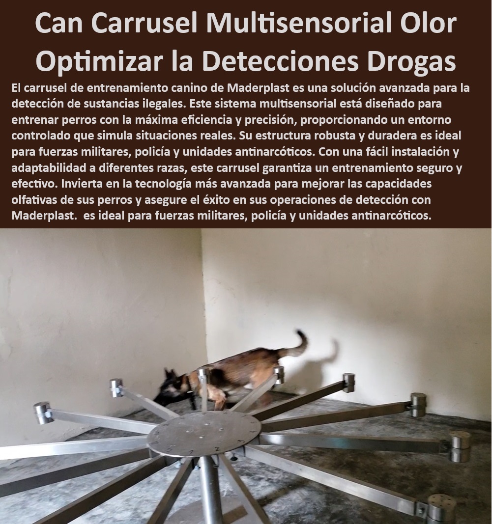 Carrusel Entrenamiento Canino para Detectar Droga rastro del olfato carrusel Maderplast , Carrusel de entrenamiento canino , Sistema multisensorial para adiestramiento canino profesional. , Plataforma de pruebas olfativas , Sistema multisensorial para perros , Habilidades olfativas para perros , Carrusel de olfato Maderplast , Entrenamiento de precisión canino , Equipo de rastreo olfativo , Centro de detección para perros , Adiestramiento de perros militares , ¿Cuál es el mejor carrusel de entrenamiento olfativo para perros? Carrusel de detección de olores , Centro de entrenamiento olfativo para unidades antinarcóticos. Adiestramiento canino profesional , Carrusel de detección de drogas ajustable fácil montaje. , ¿Qué equipo mejora las habilidades olfativas de los perros? , Equipo olfativo para perros , Plataforma de entrenamiento olfativo , Entrenamiento antinarcóticos canino , ¿Cómo entrenar perros para detección de sustancias? Precisión y eficiencia: Diseñado para escenarios de detección reales. , Equipo de detección de drogas , Carrusel de pruebas caninas , Carrusel de entrenamiento olfativo , Adaptabilidad: Ajustable para diferentes razas y tamaños. , Plataforma de entrenamiento olfativo para perros policía. , ¿Dónde comprar equipo de detección de drogas para perros? Tecnología avanzada: Equipado para mejorar las capacidades olfativas de los perros. Adiestramiento intensivo canino , Seguridad garantizada: Proporciona un entorno controlado y seguro. Carrusel de habilidades sensoriales , Equipo de detección de sustancias para perros militares. , ¿Qué carrusel es ideal para entrenamiento canino profesional? Carrusel ajustable para perros , Entrenamiento olfativo para perros alta calidad. , Carrusel para detección de sustancias , Entrenamiento olfativo antinarcóticos , Detección de sustancias canina , Carrusel para perros policía , Alta durabilidad: Construido con materiales robustos y duraderos. Carrusel de entrenamiento olfativo para detección de drogas en perros. , Equipo de simulación para perros Estación de Prueba para Perros garantizada , Carrusel Canino Multisensorial entrenadores profesionales , Centro de Entrenamiento Detección perro Carrusel Entrenamiento Canino para Detectar Droga rastro del olfato carrusel Maderplast Carrusel de entrenamiento canino , Sistema multisensorial para adiestramiento canino profesional. , Plataforma de pruebas olfativas , Sistema multisensorial para perros , Habilidades olfativas para perros , Carrusel de olfato Maderplast , Entrenamiento de precisión canino , Equipo de rastreo olfativo , Centro de detección para perros , Adiestramiento de perros militares , ¿Cuál es el mejor carrusel de entrenamiento olfativo para perros? Carrusel de detección de olores , Centro de entrenamiento olfativo para unidades antinarcóticos. Adiestramiento canino profesional , Carrusel de detección de drogas ajustable fácil montaje. , ¿Qué equipo mejora las habilidades olfativas de los perros? , Equipo olfativo para perros , Plataforma de entrenamiento olfativo , Entrenamiento antinarcóticos canino , ¿Cómo entrenar perros para detección de sustancias? Precisión y eficiencia: Diseñado para escenarios de detección reales. , Equipo de detección de drogas , Carrusel de pruebas caninas , Carrusel de entrenamiento olfativo , Adaptabilidad: Ajustable para diferentes razas y tamaños. , Plataforma de entrenamiento olfativo para perros policía. , ¿Dónde comprar equipo de detección de drogas para perros? Tecnología avanzada: Equipado para mejorar las capacidades olfativas de los perros. Adiestramiento intensivo canino , Seguridad garantizada: Proporciona un entorno controlado y seguro. Carrusel de habilidades sensoriales , Equipo de detección de sustancias para perros militares. , ¿Qué carrusel es ideal para entrenamiento canino profesional? Carrusel ajustable para perros , Entrenamiento olfativo para perros alta calidad. , Carrusel para detección de sustancias , Entrenamiento olfativo antinarcóticos , Detección de sustancias canina , Carrusel para perros policía , Alta durabilidad: Construido con materiales robustos y duraderos. Carrusel de entrenamiento olfativo para detección de drogas en perros. , Equipo de simulación para perros Estación de Prueba para Perros garantizada Carrusel Canino Multisensorial entrenadores profesionales Centro de Entrenamiento Detección perro Carrusel Entrenamiento Canino para Detectar Droga rastro del olfato carrusel Maderplast , Estación de Prueba para Perros garantizada , Carrusel Canino Multisensorial entrenadores profesionales , Centro de Entrenamiento Detección perro
