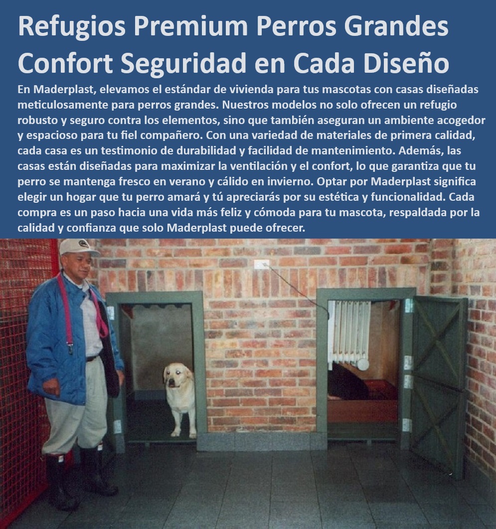 Casas Mascotas Alta Calidad Casitas Para Perros Perreras Plásticas Maderplast , Mantenimiento fácil , Casa resistente para perros , Vivienda duradera para mascotas grandes , Refugios seguros para perros grandes , Refugios ventilados para perros , Refugios de alta calidad para perros , Casas para perros de materiales premium , Casas caninas para todas las estaciones , Casas para perros , Perreras premium , Casas resistentes , Alojamientos duraderos para perros grandes , Refugio seguro para perros , Casas para perros que maximizan el confort , Refugios para perros , Casas espaciosas para perros , Refugios duraderos , Refugio premium para perros grandes , ¿Dónde comprar refugios resistentes para perros? , ¿Cómo elegir la mejor vivienda para perros? , ¿Qué refugio para perros es el más duradero? , Mejor casa para perros grandes , Casas para perros resistentes a la intemperie , ¿Qué casa es ideal para perros grandes? , Viviendas cómodas para perros grandes , Refugios para perros de alta resistencia , Alojamientos para perros de fácil mantenimiento , Viviendas para perros con buena ventilación , Perreras grandes , Vivienda para perros , ¿Cuál es la mejor casa para perros grandes? , Casas para mascotas , Viviendas para perros con diseño estético , Casas para perros grandes Maderplast , Seguridad canina Alojamientos Caninos para entrenamiento de perros amplios y seguros , Perreras de mantenimiento bajo criaderos Eficiencia y comodidad , Perreras grandes 0 Casas Mascotas Alta Calidad Casitas Para Perros Perreras Plásticas Maderplast Mantenimiento fácil , Casa resistente para perros , Vivienda duradera para mascotas grandes , Refugios seguros para perros grandes , Refugios ventilados para perros , Refugios de alta calidad para perros , Casas para perros de materiales premium , Casas caninas para todas las estaciones , Casas para perros , Perreras premium , Casas resistentes , Alojamientos duraderos para perros grandes , Refugio seguro para perros , Casas para perros que maximizan el confort , Refugios para perros , Casas espaciosas para perros , Refugios duraderos , Refugio premium para perros grandes , ¿Dónde comprar refugios resistentes para perros? , ¿Cómo elegir la mejor vivienda para perros? , ¿Qué refugio para perros es el más duradero? , Mejor casa para perros grandes , Casas para perros resistentes a la intemperie , ¿Qué casa es ideal para perros grandes? , Viviendas cómodas para perros grandes , Refugios para perros de alta resistencia , Alojamientos para perros de fácil mantenimiento , Viviendas para perros con buena ventilación , Perreras grandes , Vivienda para perros , ¿Cuál es la mejor casa para perros grandes? , Casas para mascotas , Viviendas para perros con diseño estético , Casas para perros grandes Maderplast , Seguridad canina Alojamientos Caninos para entrenamiento de perros amplios y seguros Perreras de mantenimiento bajo criaderos Eficiencia y comodidad Perreras grandes 0 Casas Mascotas Alta Calidad Casitas Para Perros Perreras Plásticas Maderplast , Alojamientos Caninos para entrenamiento de perros amplios y seguros , Perreras de mantenimiento bajo criaderos Eficiencia y comodidad , Perreras grandes 0