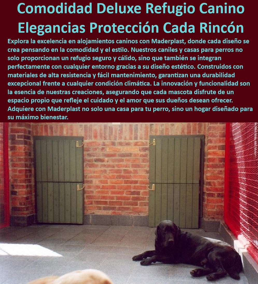 Casas Mascotas Alta Calidad Casitas Para Perros Perreras Plásticas Maderplast , Alojamientos para perros de fácil mantenimiento , ¿Cómo elegir la mejor vivienda para perros? , ¿Dónde comprar refugios resistentes para perros? , Alojamientos duraderos para perros grandes , ¿Qué refugio para perros es el más duradero? , Perreras premium , Casas caninas para todas las estaciones , Casas para perros de materiales premium , Mantenimiento fácil , Casas resistentes , Casas para perros , Viviendas para perros con diseño estético , Refugio seguro para perros , Refugios duraderos , Viviendas para perros con buena ventilación , Casas para mascotas , Refugios ventilados para perros , Seguridad canina , Casas para perros resistentes a la intemperie , Mejor casa para perros grandes , Casas para perros que maximizan el confort , Refugios seguros para perros grandes , Refugios para perros , Casas espaciosas para perros , ¿Qué casa es ideal para perros grandes? , Casas para perros grandes, Maderplast , Vivienda para perros , ¿Cuál es la mejor casa para perros grandes? , Refugios de alta calidad para perros , Perreras grandes , Refugios para perros de alta resistencia , Case resistente para perros , Viviendas cómodas para perros grandes , Cola larga: , Refugio premium para perros grandes , Vivienda duradera para mascotas grandes Alojamientos Refugios térmicos para mascotas confort térmico superior , Casas de lujo para perros elegancia , Casas duraderas para perros alta resistencia Casas Mascotas Alta Calidad Casitas Para Perros Perreras Plásticas Maderplast , Alojamientos para perros de fácil mantenimiento , ¿Cómo elegir la mejor vivienda para perros? , ¿Dónde comprar refugios resistentes para perros? , Alojamientos duraderos para perros grandes , ¿Qué refugio para perros es el más duradero? , Perreras premium , Casas caninas para todas las estaciones , Casas para perros de materiales premium , Mantenimiento fácil , Casas resistentes , Casas para perros , Viviendas para perros con diseño estético , Refugio seguro para perros , Refugios duraderos , Viviendas para perros con buena ventilación , Casas para mascotas , Refugios ventilados para perros , Seguridad canina , Casas para perros resistentes a la intemperie , Mejor casa para perros grandes , Casas para perros que maximizan el confort , Refugios seguros para perros grandes , Refugios para perros , Casas espaciosas para perros , ¿Qué casa es ideal para perros grandes? , Casas para perros grandes, Maderplast , Vivienda para perros , ¿Cuál es la mejor casa para perros grandes? , Refugios de alta calidad para perros , Perreras grandes , Refugios para perros de alta resistencia , Case resistente para perros , Viviendas cómodas para perros grandes , Cola larga: , Refugio premium para perros grandes , Vivienda duradera para mascotas grandes Alojamientos Refugios térmicos para mascotas confort térmico superior , Casas de lujo para perros elegancia , Casas duraderas para perros alta resistencia
