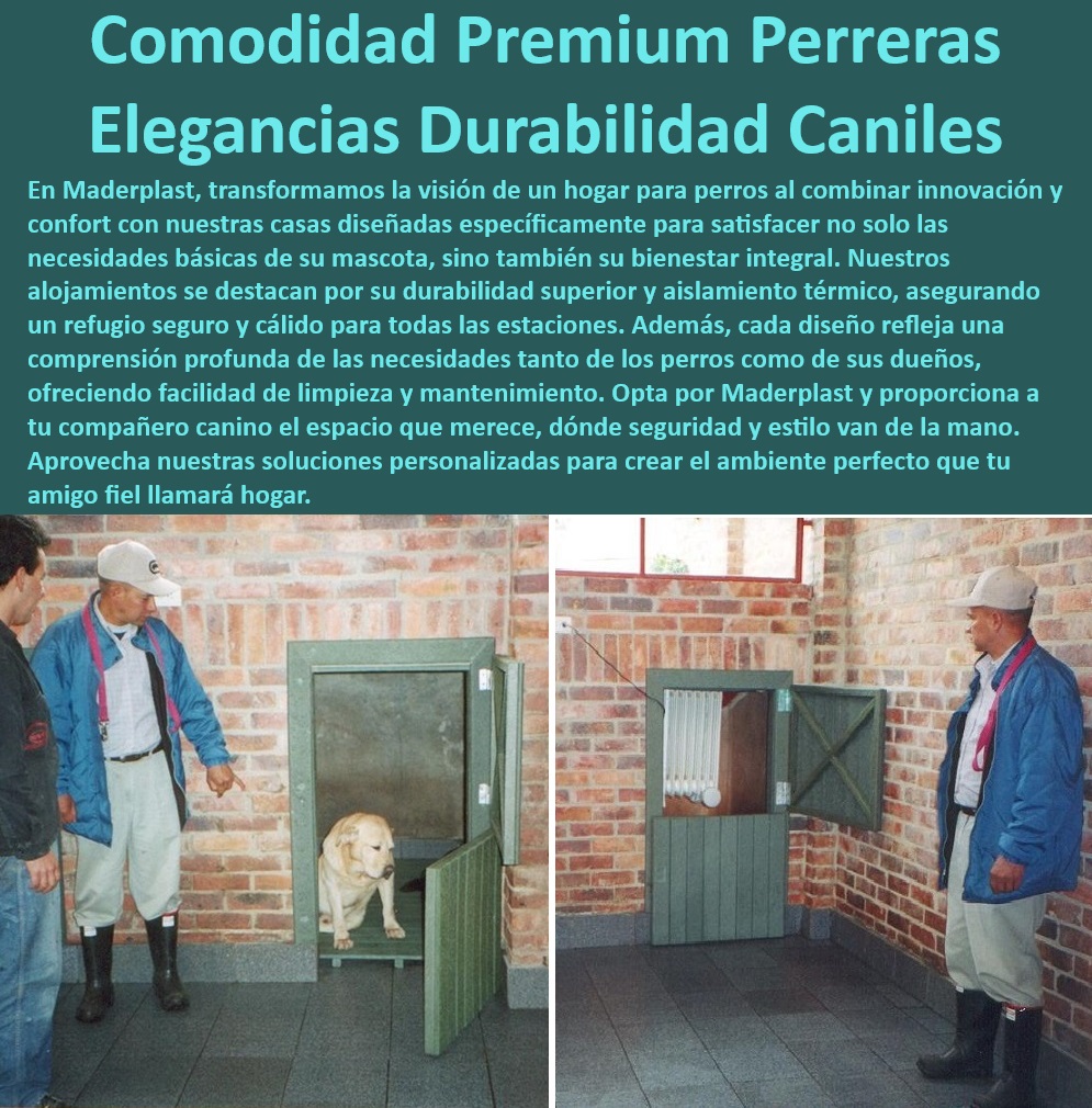 Casas Mascotas Alta Calidad Casitas Para Perros Perreras Plásticas Maderplast , Vivienda duradera para mascotas grandes , Viviendas para perros con diseño estético , Casas para perros resistentes a la intemperie , Refugio seguro para perros , Madrigueras para perros , ¿Dónde comprar refugios resistentes para perros? , Casas resistentes , ¿Qué refugio para perros es el más duradero? , Casas para perros de materiales premium , Refugio premium para perros grandes , Casa resistente para perros , Refugios de alta calidad para perros , ¿Cómo elegir la mejor vivienda para perros? , Casas caninas para todas las estaciones , ¿Qué casa es ideal para perros grandes? , Refugios seguros para perros grandes , Casas para perros grandes Maderplast , Viviendas para perros con buena ventilación , Seguridad canina , ¿Cuál es la mejor casa para perros grandes? , Refugios para perros de alta resistencia , Casas para mascotas , Alojamientos duraderos para perros grandes , Refugios duraderos , Refugios ventilados para perros , Refugios para perros , Mejor casa para perros grandes , Casas para perros que maximizan el confort , Perreras grandes , Vivienda para perros , Casas espaciosas para perros , Viviendas cómodas para perros grandes , Alojamientos para perros de fácil mantenimiento , Casas para perros , Perreras premium Madrigueras perros cómodas descanso asegurado , Alojamientos para perros de con máximo confort , Alojamientos para perros personalizados a medida , Alojar Casas Mascotas Alta Calidad Casitas Para Perros Perreras Plásticas Maderplast Vivienda duradera para mascotas grandes , Viviendas para perros con diseño estético , Casas para perros resistentes a la intemperie , Refugio seguro para perros , Madrigueras para perros , ¿Dónde comprar refugios resistentes para perros? , Casas resistentes , ¿Qué refugio para perros es el más duradero? , Casas para perros de materiales premium , Refugio premium para perros grandes , Casa resistente para perros , Refugios de alta calidad para perros , ¿Cómo elegir la mejor vivienda para perros? , Casas caninas para todas las estaciones , ¿Qué casa es ideal para perros grandes? , Refugios seguros para perros grandes , Casas para perros grandes Maderplast , Viviendas para perros con buena ventilación , Seguridad canina , ¿Cuál es la mejor casa para perros grandes? , Refugios para perros de alta resistencia , Casas para mascotas , Alojamientos duraderos para perros grandes , Refugios duraderos , Refugios ventilados para perros , Refugios para perros , Mejor casa para perros grandes , Casas para perros que maximizan el confort , Perreras grandes , Vivienda para perros , Casas espaciosas para perros , Viviendas cómodas para perros grandes , Alojamientos para perros de fácil mantenimiento , Casas para perros , Perreras premium Madrigueras perros cómodas descanso asegurado Alojamientos para perros de con máximo confort Alojamientos para perros personalizados a medida Alojar 0 Casas Mascotas Alta Calidad Casitas Para Perros Perreras Plásticas Maderplast , Madrigueras perros cómodas descanso asegurado , Alojamientos para perros de con máximo confort , Alojamientos para perros personalizados a medida , Alojar