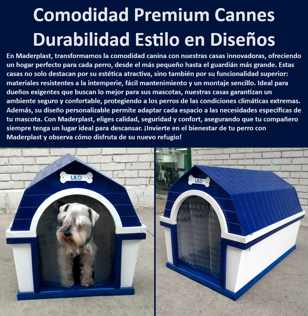 Casas Mascotas Alta Calidad Casitas Para Perros Perreras Plásticas Maderplast , Perreras de fácil montaje , Casetas para perros a prueba de clima , Casas para perros portátiles , ¿Qué refugios para perros ofrecen mayor comodidad? , Refugios para perros funcionales , Casas para perros robustas , Casetas para perros resistentes a la intemperie , Perreras duraderas para mascotas , Casas para perros de alta calidad , Refugios para perros , Casas para perros de alta calidad , Casetas para perros grandes , Casas para perros con estilo , Refugios caninos personalizados , Casas para perros elegantes , Perreras de lujo , Casas para perros con estilo , ¿Cuáles son las mejores casas para perros resistentes? , Casas para perros duraderas , Casas para perros exterior , ¿Dónde encontrar casas para perros personalizables? , Casas para perros pequeñas , Casetas para perros resistentes , Refugios caninos personalizados , Refugios para perros con aislamiento , Perreras a prueba de mordeduras , Perreras innovadoras , Perreras plásticas , ¿Dónde comprar casetas para perros duraderas? , ¿Qué perreras son fáciles de mantener? , Perreras con ventilación , Casas para perros de diseño , Refugios para mascotas , Perreras fáciles de mantener , Perreras cómodas Perreras de madera natural con estilo rústico , Casas para perros de gran tamaño con resistencia a condiciones climáticas adversas Cunas para perros medio Casas Mascotas Alta Calidad Casitas Para Perros Perreras Plásticas Maderplast Perreras de fácil montaje , Casetas para perros a prueba de clima , Casas para perros portátiles , ¿Qué refugios para perros ofrecen mayor comodidad? , Refugios para perros funcionales , Casas para perros robustas , Casetas para perros resistentes a la intemperie , Perreras duraderas para mascotas , Casas para perros de alta calidad , Refugios para perros , Casas para perros de alta calidad , Casetas para perros grandes , Casas para perros con estilo , Refugios caninos personalizados , Casas para perros elegantes , Perreras de lujo , Casas para perros con estilo , ¿Cuáles son las mejores casas para perros resistentes? , Casas para perros duraderas , Casas para perros exterior , ¿Dónde encontrar casas para perros personalizables? , Casas para perros pequeñas , Casetas para perros resistentes , Refugios caninos personalizados , Refugios para perros con aislamiento , Perreras a prueba de mordeduras , Perreras innovadoras , Perreras plásticas , ¿Dónde comprar casetas para perros duraderas? , ¿Qué perreras son fáciles de mantener? , Perreras con ventilación , Casas para perros de diseño , Refugios para mascotas , Perreras fáciles de mantener , Perreras cómodas Perreras de madera natural con estilo rústico Casas para perros de gran tamaño con resistencia a condiciones climáticas adversas Cunas para perros medio Casas Mascotas Alta Calidad Casitas Para Perros Perreras Plásticas Maderplast , Perreras de madera natural con estilo rústico , Casas para perros de gran tamaño con resistencia a condiciones climáticas adversas Cunas para perros medio