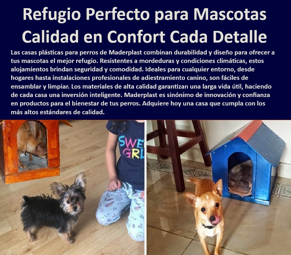 Casas Plásticas Para Perros Perreras Amplias Canil A Prueba De Mordeduras Maderplast , Casetas para perros fáciles de limpiar , Perreras de lujo , Refugios caninos seguros , Casas para perros exterior , Casas para perros , Casas para perros pequeños , ¿Qué casetas para perros son las más duraderas? , Casetas para perros duraderas , Casas para perros económicas , Perreras innovadoras , Refugios caninos seguros y cómodos , Casas para perros de diseño , Casas para perros resistentes a mordeduras , Casas para perros robustas , Casas para perros duraderas y elegantes , Refugios para perros cómodos , Refugios para perros grandes , Perreras seguras , Perreras de fácil ensamblaje , ¿Dónde comprar casas para perros resistentes? , Refugios para mascotas , Casetas para perros a prueba de mordeduras , Casas para perros resistentes , Perreras fáciles de limpiar , Refugios para perros profesionales , Perreras plásticas , Casas para perros elegantes , Refugios para perros aislados , Perreras de alta calidad , ¿Dónde encontrar refugios seguros para perros? , Perreras con ventilación , Casas para perros con estilo , Perreras plásticas de alta calidad , ¿Cuáles son las mejores perreras para exteriores? , ¿Qué casas para perros ofrecen mayor confort? Hospedaje premium para perros lujo y comodidad en cada detalle , Caniles decorativos jardines atractivos y funcionales , Alojamientos para perros 0 Casas Plásticas Para Perros Perreras Amplias Canil A Prueba De Mordeduras Maderplast Casetas para perros fáciles de limpiar , Perreras de lujo , Refugios caninos seguros , Casas para perros exterior , Casas para perros , Casas para perros pequeños , ¿Qué casetas para perros son las más duraderas? , Casetas para perros duraderas , Casas para perros económicas , Perreras innovadoras , Refugios caninos seguros y cómodos , Casas para perros de diseño , Casas para perros resistentes a mordeduras , Casas para perros robustas , Casas para perros duraderas y elegantes , Refugios para perros cómodos , Refugios para perros grandes , Perreras seguras , Perreras de fácil ensamblaje , ¿Dónde comprar casas para perros resistentes? , Refugios para mascotas , Casetas para perros a prueba de mordeduras , Casas para perros resistentes , Perreras fáciles de limpiar , Refugios para perros profesionales , Perreras plásticas , Casas para perros elegantes , Refugios para perros aislados , Perreras de alta calidad , ¿Dónde encontrar refugios seguros para perros? , Perreras con ventilación , Casas para perros con estilo , Perreras plásticas de alta calidad , ¿Cuáles son las mejores perreras para exteriores? , ¿Qué casas para perros ofrecen mayor confort? Hospedaje premium para perros lujo y comodidad en cada detalle Caniles decorativos jardines atractivos y funcionales Alojamientos para perros 0 Casas Plásticas Para Perros Perreras Amplias Canil A Prueba De Mordeduras Maderplast , Hospedaje premium para perros lujo y comodidad en cada detalle , Caniles decorativos jardines atractivos y funcionales , Alojamientos para perros 0