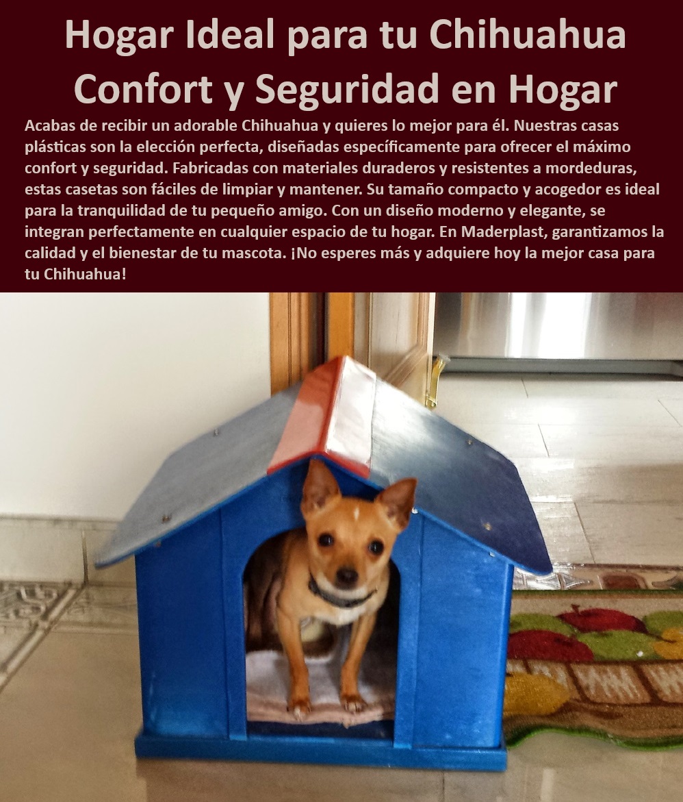 Casas Plásticas Para Perros Perreras Amplias Canil A Prueba De Mordeduras Maderplast , Sala Cuna para perros de fácil limpieza , Alojamientos premium para perros Casetas perros estilo moderno elegancia y funcionalidad , Casas perro 00 Casas Plásticas Para Perros Perreras Amplias Canil A Prueba De Mordeduras Maderplast Perreras seguras para Chihuahua , Refugios caninos acogedores , Casetas para perros resistentes , Perreras de fácil mantenimiento , Casas de perros fáciles de limpiar , ¿Dónde encontrar refugios seguros para mascotas? , ¿Qué casas para Chihuahua son las mejores? , Perreras plásticas duraderas , Casetas para perros pequeños , Refugios para mascotas compactas , Casas para perros seguros , Casas de perro duraderas , Perreras de alta calidad , ¿Dónde comprar casetas para perros pequeños? Casas de perro elegantes , Casetas para Chihuahua , Casetas para perros fáciles de limpiar , Casas de perro económicas , ¿Cuáles son las mejores casetas para perros resistentes a mordeduras? , Perreras para interiores , Casas de diseño para mascotas , Refugios caninos duraderos , Perreras seguras , Refugios modernos para perros , Casas plásticas para perros pequeños , Refugios elegantes para perros , Refugios seguros para perros , Perreras con ventilación , Refugios para perros domésticos , ¿Qué casas para perros son fáciles de limpiar? , Casas para perros a prueba de mordeduras , Casas para perros pequeños , Casas de perros resistentes , Casas para perros resistentes a mordeduras , Refugios cómodos para perros Sala Cuna para perros de fácil limpieza Alojamientos premium para perros Casetas perros estilo moderno elegancia y funcionalidad Casas perro 00 Casas Plásticas Para Perros Perreras Amplias Canil A Prueba De Mordeduras Maderplast , Sala Cuna para perros de fácil limpieza , Alojamientos premium para perros Casetas perros estilo moderno elegancia y funcionalidad , Casas perro 00