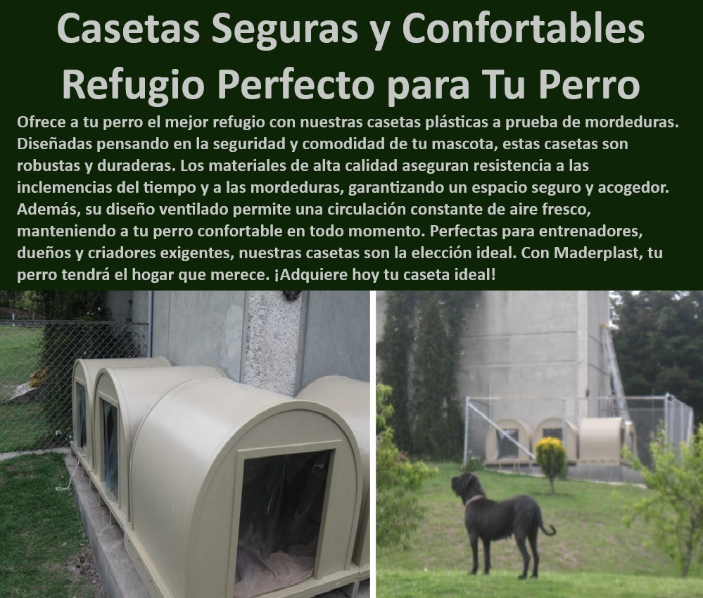 Casas Plásticas Para Perros Perreras Amplias Canil A Prueba De Mordeduras Maderplast , Casas para perros en jardines , Canil a prueba de mordeduras , Viviendas seguras para perros , Refugios para perros grandes , Mejores casas para perros , Refugios para perros , Perreras personalizadas , Perreras resistentes , Alojamientos caninos , Habitáculos ventilados para perros , Refugios térmicos , Casas plásticas para perros , ¿Qué casas para perros son más duraderas? , Casas de lujo para perros , Casas portátiles para perros , Perreras de diseño , Refugios de fácil mantenimiento , Casas exteriores para perros , Perreras amplias , Caniles seguros para mascotas , Casetas para perros , Casas para perros con ventilación , Casetas de alta calidad , Habitáculos caninos , Perreras resistentes para perros , Caniles ventilados , ¿Cómo elegir un canil ventilado para perros? , Refugios lavables , ¿Qué perreras son a prueba de mordeduras? , ¿Dónde comprar casas plásticas para perros? , Habitáculos caninos confortables , Refugios caninos duraderos , Caniles modulares , ¿Cuáles son las mejores casetas para perros? , Casas caninas duraderas puertas caniles a prueba de mordeduras , puertas caniles Habitáculos caninos ventilados aire fresco constante , puertas caniles Casetas para perros Casas Plásticas Para Perros Perreras Amplias Canil A Prueba De Mordeduras Maderplast Casas para perros en jardines , Canil a prueba de mordeduras , Viviendas seguras para perros , Refugios para perros grandes , Mejores casas para perros , Refugios para perros , Perreras personalizadas , Perreras resistentes , Alojamientos caninos , Habitáculos ventilados para perros , Refugios térmicos , Casas plásticas para perros , ¿Qué casas para perros son más duraderas? , Casas de lujo para perros , Casas portátiles para perros , Perreras de diseño , Refugios de fácil mantenimiento , Casas exteriores para perros , Perreras amplias , Caniles seguros para mascotas , Casetas para perros , Casas para perros con ventilación , Casetas de alta calidad , Habitáculos caninos , Perreras resistentes para perros , Caniles ventilados , ¿Cómo elegir un canil ventilado para perros? , Refugios lavables , ¿Qué perreras son a prueba de mordeduras? , ¿Dónde comprar casas plásticas para perros? , Habitáculos caninos confortables , Refugios caninos duraderos , Caniles modulares , ¿Cuáles son las mejores casetas para perros? , Casas caninas duraderas puertas caniles a prueba de mordeduras puertas caniles Habitáculos caninos ventilados aire fresco constante puertas caniles Casetas para perros Casas Plásticas Para Perros Perreras Amplias Canil A Prueba De Mordeduras Maderplast , puertas caniles a prueba de mordeduras , puertas caniles Habitáculos caninos ventilados aire fresco constante , puertas caniles Casetas para perros