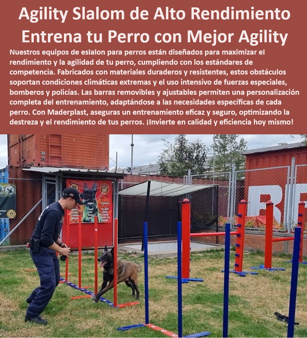 Equipos De Eslalon Para Perros Barras Slalom Removibles perros bomberos Maderplast , Equipos de entrenamiento canino anticorrosión , ¿Qué equipo de slalom es recomendado para entrenamiento canino profesional? , ¿Cómo seleccionar equipos de entrenamiento canino para climas extremos? , Kits de agility duraderos para perros , Equipos de slalom para entrenadores caninos exigentes , Equipos para entrenamiento de perros policía , Barras de slalom con garantía de durabilidad , Sistemas de entrenamiento canino para fuerzas especiales , Equipos caninos para mejorar la agilidad y velocidad , Soluciones de agility para perros de servicio , Equipos de slalom para todas las razas , Barras ajustables para entrenamiento de agilidad , Barras de agility ajustables para perros , Soluciones de entrenamiento profesional para perros , Equipos de entrenamiento canino de alto rendimiento , Equipos de agility para entrenamiento intensivo , ¿Cuál es el mejor equipo de agility para perros en exteriores? , ¿Dónde puedo comprar barras de slalom ajustables para perros? Implementos de entrenamiento canino bajo mantenimiento , ¿Qué proveedor ofrece barras de slalom duraderas para entrenamiento canino? , Barras slalom de fácil montaje y desmontaje , Equipos de entrenamiento canino para climas extremos , Accesorios de agility para perros bomberos , Barras de slalom móviles para entrenamiento , Equipos de slalom para entrenamiento canino , Equipos de entrenamiento canino personalizables , Barras de slalom para competiciones caninas , Estructuras de slalom resistentes para perros , Equipos de entrenamiento canino para exteriores , Estructuras de entrenamiento canino seguras Eslalon de barras verticales , Barras Slalom Estructuras de entrenamiento canino , Barras Slalom perros exteriores resistencia climática , Eslalon 00 Equipos De Eslalon Para Perros Barras Slalom Removibles perros bomberos Maderplast Equipos de entrenamiento canino anticorrosión , ¿Qué equipo de slalom es recomendado para entrenamiento canino profesional? , ¿Cómo seleccionar equipos de entrenamiento canino para climas extremos? , Kits de agility duraderos para perros , Equipos de slalom para entrenadores caninos exigentes , Equipos para entrenamiento de perros policía , Barras de slalom con garantía de durabilidad , Sistemas de entrenamiento canino para fuerzas especiales , Equipos caninos para mejorar la agilidad y velocidad , Soluciones de agility para perros de servicio , Equipos de slalom para todas las razas , Barras ajustables para entrenamiento de agilidad , Barras de agility ajustables para perros , Soluciones de entrenamiento profesional para perros , Equipos de entrenamiento canino de alto rendimiento , Equipos de agility para entrenamiento intensivo , ¿Cuál es el mejor equipo de agility para perros en exteriores? , ¿Dónde puedo comprar barras de slalom ajustables para perros? Implementos de entrenamiento canino bajo mantenimiento , ¿Qué proveedor ofrece barras de slalom duraderas para entrenamiento canino? , Barras slalom de fácil montaje y desmontaje , Equipos de entrenamiento canino para climas extremos , Accesorios de agility para perros bomberos , Barras de slalom móviles para entrenamiento , Equipos de slalom para entrenamiento canino , Equipos de entrenamiento canino personalizables , Barras de slalom para competiciones caninas , Estructuras de slalom resistentes para perros , Equipos de entrenamiento canino para exteriores , Estructuras de entrenamiento canino seguras Eslalon de barras verticales Barras Slalom Estructuras de entrenamiento canino Barras Slalom perros exteriores resistencia climática Eslalon 00 Equipos De Eslalon Para Perros Barras Slalom Removibles perros bomberos Maderplast , Eslalon de barras verticales , Barras Slalom Estructuras de entrenamiento canino , Barras Slalom perros exteriores resistencia climática , Eslalon 00