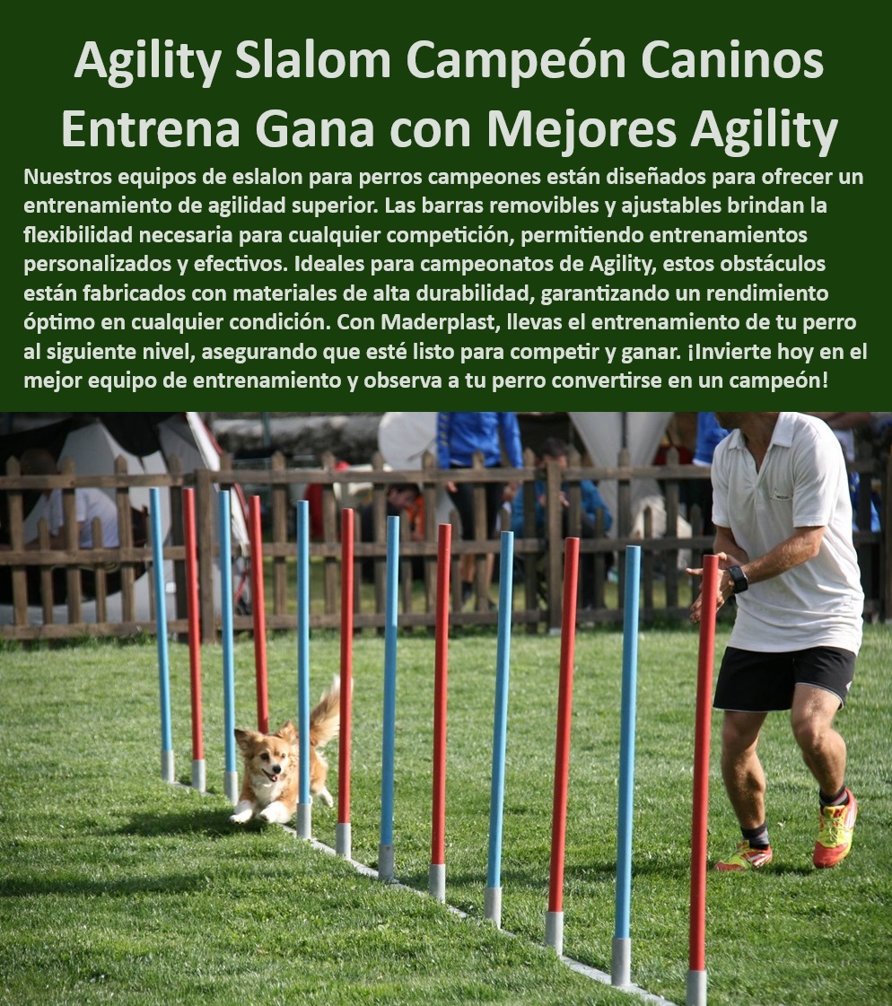 Equipos De Eslalon Para Perros Barras Slalom Removibles perros campeonato Maderplast , Equipos profesionales de agilidad , ¿Dónde encontrar equipos de eslalon de alta calidad para perros? , Slalom de entrenamiento canino , Barras de alta calidad , Slalom de competencia canina , ¿Cuál es el mejor equipo de slalom para agility de perros? Barras para mejorar la agilidad de los perros , ¿Dónde encontrar equipos de eslalon para entrenamiento canino? Proveedores de equipos de eslalon , ¿Qué barras de slalom debo comprar para mi perro? , ¿Dónde comprar barras de eslalon para perros? , ¿Qué barras de slalom son mejores para competencias caninas? , Barras removibles para eslalon , Barras de slalom Maderplast , Barras ajustables para entrenamiento , Entrenamiento canino con eslalon , Barras slalom removibles , Equipos caninos de agilidad , Soluciones para agility perros , Equipos de eslalon perros , ¿Dónde venden equipos de slalom canino? , ¿Cuál es el mejor equipo de entrenamiento para perros? , Barras de slalom para perros , Slalom de alta competencia , Equipos de eslalon para competiciones , Equipos de agilidad perros , Accesorios para entrenamiento canino , ¿Qué barras de slalom son más seguras? , Barras de entrenamiento canino , Barras duraderas para perros , Agilidad canina eslalon , Eslalon para perros , Barras de slalom ajustables , ¿Cuál es el mejor equipo de eslalon para perros? , Barras certificadas para eslalon Barras de slalom ajustables para caninos flexibilidad superior , Equipos de agilidad para perros durabilidad garantizada , Eslalon de entrenamiento Equipos De Eslalon Para Perros Barras Slalom Removibles perros campeonato Maderplast Equipos profesionales de agilidad , ¿Dónde encontrar equipos de eslalon de alta calidad para perros? , Slalom de entrenamiento canino , Barras de alta calidad , Slalom de competencia canina , ¿Cuál es el mejor equipo de slalom para agility de perros? Barras para mejorar la agilidad de los perros , ¿Dónde encontrar equipos de eslalon para entrenamiento canino? Proveedores de equipos de eslalon , ¿Qué barras de slalom debo comprar para mi perro? , ¿Dónde comprar barras de eslalon para perros? , ¿Qué barras de slalom son mejores para competencias caninas? , Barras removibles para eslalon , Barras de slalom Maderplast , Barras ajustables para entrenamiento , Entrenamiento canino con eslalon , Barras slalom removibles , Equipos caninos de agilidad , Soluciones para agility perros , Equipos de eslalon perros , ¿Dónde venden equipos de slalom canino? , ¿Cuál es el mejor equipo de entrenamiento para perros? , Barras de slalom para perros , Slalom de alta competencia , Equipos de eslalon para competiciones , Equipos de agilidad perros , Accesorios para entrenamiento canino , ¿Qué barras de slalom son más seguras? , Barras de entrenamiento canino , Barras duraderas para perros , Agilidad canina eslalon , Eslalon para perros , Barras de slalom ajustables , ¿Cuál es el mejor equipo de eslalon para perros? , Barras certificadas para eslalon Barras de slalom ajustables para caninos flexibilidad superior Equipos de agilidad para perros durabilidad garantizada Eslalon de entrenamiento Equipos De Eslalon Para Perros Barras Slalom Removibles perros campeonato Maderplast , Barras de slalom ajustables para caninos flexibilidad superior , Equipos de agilidad para perros durabilidad garantizada , Eslalon de entrenamiento