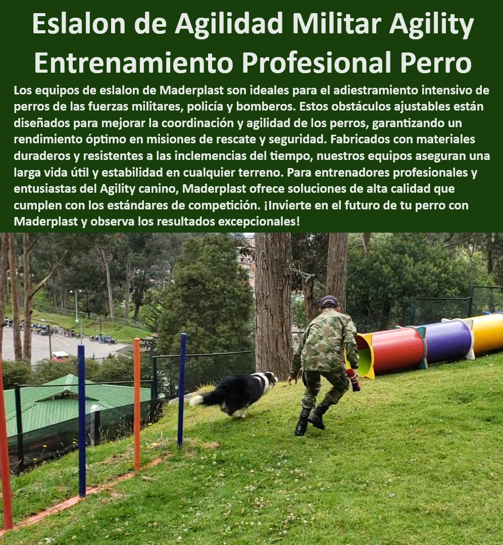 Equipos De Eslalon Para Perros Barras Slalom Removibles perros ejército Maderplast , Obstáculos de agilidad removibles , Equipo de slalom para perros policía , Entrenamiento canino adaptable , Entrenamiento de slalom eficiente , Personalización completa: Barras removibles y ajustables. Equipos de eslalon para perros , ¿Cuál es el mejor equipo de eslalon para perros militares? Eslalon para competiciones ajustable fácil montaje. , Eslalon para perros ejército , Agilidad canina eslalon , Barras de slalom ajustables , Equipo de slalom profesional , Barras de eslalon ajustables para entrenamiento de agilidad canina. Obstáculos de agilidad duraderos , ¿Qué barras de slalom son las más seguras para entrenamiento de perros? , Barras removibles de agilidad , Barras de entrenamiento canino , Barras de slalom para entrenamientos militares caninos. , Barras de eslalon seguras , Entrenamiento de slalom militar , Portabilidad: Fácil de transportar y montar en cualquier lugar. , ¿Qué equipo de slalom es mejor para entrenamiento canino? , ¿Cómo elegir obstáculos de agilidad ajustables para perros? , Equipo de slalom ajustable , Eslalon de entrenamiento canino , Cumple con estándares: Ideal para entrenamientos y competiciones profesionales. Equipo de eslalon de alta resistencia para perros. , Entrenamiento de slalom canino , Barras de slalom para competiciones , Obstáculos de agilidad para perros , Obstáculos de agilidad removibles para perros. Eslalon para entrenar perros de alta calidad. Equipo de slalom portátil para perros de trabajo. Alta resistencia: Fabricado con materiales duraderos. Barras de slalom Maderplast , Obstáculos ajustables para perros , ¿Dónde comprar barras de eslalon para perros? , Entrenamiento canino de alta resistencia , Seguridad garantizada: Diseño estable y ajustable. , Barras de agilidad removibles , Obstáculos de slalom para perros , Barras de slalom portátiles Equipo de eslalon para perros de rescate entrenamiento intensivo , Obstáculos de eslalon para perros activos mejora coordinación , Barras Slalom PET Equipos De Eslalon Para Perros Barras Slalom Removibles perros ejército Maderplast Obstáculos de agilidad removibles , Equipo de slalom para perros policía , Entrenamiento canino adaptable , Entrenamiento de slalom eficiente , Personalización completa: Barras removibles y ajustables. Equipos de eslalon para perros , ¿Cuál es el mejor equipo de eslalon para perros militares? Eslalon para competiciones ajustable fácil montaje. , Eslalon para perros ejército , Agilidad canina eslalon , Barras de slalom ajustables , Equipo de slalom profesional , Barras de eslalon ajustables para entrenamiento de agilidad canina. Obstáculos de agilidad duraderos , ¿Qué barras de slalom son las más seguras para entrenamiento de perros? , Barras removibles de agilidad , Barras de entrenamiento canino , Barras de slalom para entrenamientos militares caninos. , Barras de eslalon seguras , Entrenamiento de slalom militar , Portabilidad: Fácil de transportar y montar en cualquier lugar. , ¿Qué equipo de slalom es mejor para entrenamiento canino? , ¿Cómo elegir obstáculos de agilidad ajustables para perros? , Equipo de slalom ajustable , Eslalon de entrenamiento canino , Cumple con estándares: Ideal para entrenamientos y competiciones profesionales. Equipo de eslalon de alta resistencia para perros. , Entrenamiento de slalom canino , Barras de slalom para competiciones , Obstáculos de agilidad para perros , Obstáculos de agilidad removibles para perros. Eslalon para entrenar perros de alta calidad. Equipo de slalom portátil para perros de trabajo. Alta resistencia: Fabricado con materiales duraderos. Barras de slalom Maderplast , Obstáculos ajustables para perros , ¿Dónde comprar barras de eslalon para perros? , Entrenamiento canino de alta resistencia , Seguridad garantizada: Diseño estable y ajustable. , Barras de agilidad removibles , Obstáculos de slalom para perros , Barras de slalom portátiles Equipo de eslalon para perros de rescate entrenamiento intensivo Obstáculos de eslalon para perros activos mejora coordinación Barras Slalom PET Equipos De Eslalon Para Perros Barras Slalom Removibles perros ejército Maderplast , Equipo de eslalon para perros de rescate entrenamiento intensivo , Obstáculos de eslalon para perros activos mejora coordinación , Barras Slalom PET