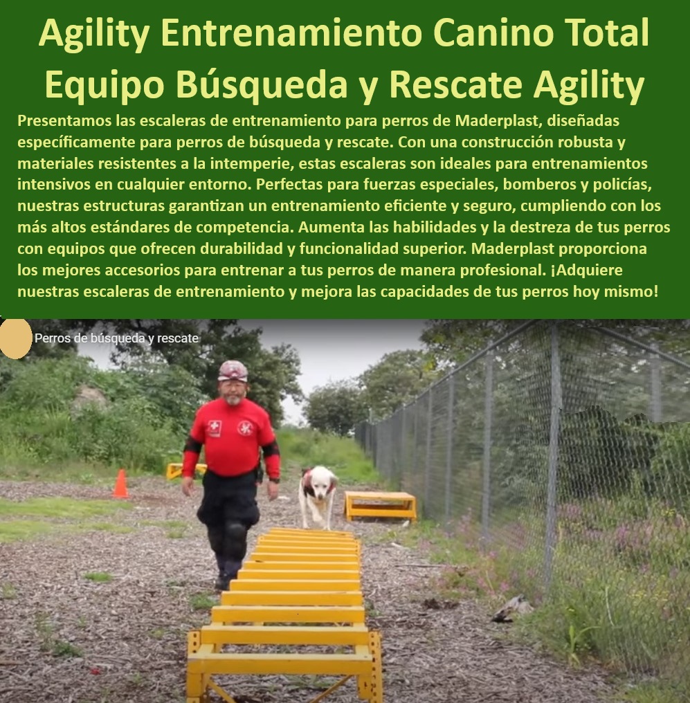 Escaleras vertical de entrenamiento perros Obstáculos verticales pasarela Maderplast , Escaleras de agilidad para perros , Escaleras certificadas para agilidad , Equipos de agilidad para perros de rescate , Equipos para perros búsqueda , Escaleras resistentes para perros , Equipos para perros de rescate , Escaleras para perros de alta competencia , Equipos caninos de agilidad , ¿Cuál es la mejor escalera para agility de perros? Escaleras de alta calidad , Entrenamiento de perros , ¿Dónde encontrar escaleras de alta calidad para perros? , ¿Dónde venden equipos de agilidad canina? Pasarelas de entrenamiento canino , Pasarela Maderplast , Escaleras duraderas para perros , ¿Qué escaleras son mejores para entrenamiento canino? , ¿Dónde comprar escaleras de agilidad para perros? , ¿Qué escalera de entrenamiento canino debo comprar? , Escaleras ajustables para entrenamiento , Entrenamiento canino de élite , ¿Dónde encontrar equipos de agilidad para perros? , Escaleras caninas resistentes , Obstáculos para perros de rescate , Escaleras de entrenamiento canino , ¿Cuál es el mejor equipo de entrenamiento para perros? Obstáculos para perros , Escaleras para entrenamiento canino , ¿Cuál es la mejor escalera de entrenamiento para perros? , Soluciones para entrenamiento canino , Escaleras de agilidad perros , Proveedores de equipos de agilidad , Entrenamiento perros rescate , Equipos de agilidad canina , ¿Qué escaleras son más seguras para perros de rescate? pasar la escalera Estructuras de entrenamiento competencias caninas aprobadas por federaciones , Accesorios para entrenamiento de perros mejora Pet Escaleras vertical de entrenamiento perros Obstáculos verticales pasarela Maderplast Escaleras de agilidad para perros , Escaleras certificadas para agilidad , Equipos de agilidad para perros de rescate , Equipos para perros búsqueda , Escaleras resistentes para perros , Equipos para perros de rescate , Escaleras para perros de alta competencia , Equipos caninos de agilidad , ¿Cuál es la mejor escalera para agility de perros? Escaleras de alta calidad , Entrenamiento de perros , ¿Dónde encontrar escaleras de alta calidad para perros? , ¿Dónde venden equipos de agilidad canina? Pasarelas de entrenamiento canino , Pasarela Maderplast , Escaleras duraderas para perros , ¿Qué escaleras son mejores para entrenamiento canino? , ¿Dónde comprar escaleras de agilidad para perros? , ¿Qué escalera de entrenamiento canino debo comprar? , Escaleras ajustables para entrenamiento , Entrenamiento canino de élite , ¿Dónde encontrar equipos de agilidad para perros? , Escaleras caninas resistentes , Obstáculos para perros de rescate , Escaleras de entrenamiento canino , ¿Cuál es el mejor equipo de entrenamiento para perros? Obstáculos para perros , Escaleras para entrenamiento canino , ¿Cuál es la mejor escalera de entrenamiento para perros? , Soluciones para entrenamiento canino , Escaleras de agilidad perros , Proveedores de equipos de agilidad , Entrenamiento perros rescate , Equipos de agilidad canina , ¿Qué escaleras son más seguras para perros de rescate? pasar la escalera Estructuras de entrenamiento competencias caninas aprobadas por federaciones Accesorios para entrenamiento de perros mejora Pet Escaleras vertical de entrenamiento perros Obstáculos verticales pasarela Maderplast , pasar la escalera Estructuras de entrenamiento competencias caninas aprobadas por federaciones , Accesorios para entrenamiento de perros mejora Pet