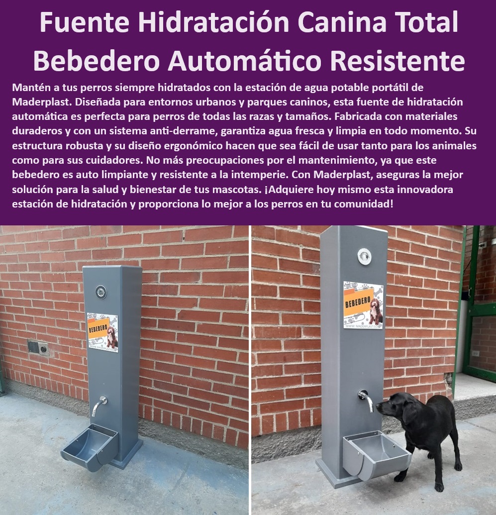 Fuente de hidratación para perros Estación de agua potable portátil para perros Maderplast , Fuente de agua perros , Bebedero para perros fácil de usar , Bebedero automático resistente para perros , Bebedero automático , Fuente de agua Maderplast , Bebedero automático para perros , Bebedero portátil , Fuente de agua automática , ¿Dónde venden bebederos portátiles para mascotas? , Fuente de agua anti-derrame para perros , Bebedero portátil para parques caninos , Bebedero ergonómico para perros , Bebedero resistente , ¿Cuál es la mejor fuente de agua automática para perros? , ¿Dónde encontrar estaciones de agua para perros? , Hidratación mascotas , Estación de agua para perros urbanos , Estación de agua perros , Fuente de agua limpia para perros , Fuente de agua fresca para perros , ¿Qué bebedero es mejor para parques caninos? , ¿Dónde encontrar estaciones de agua para perros? , ¿Qué fuente de hidratación canina debo comprar? , Hidratación automática para mascotas , Bebedero anti-derrame , Estación de hidratación canina , Fuente de agua potable para mascotas , Estación de hidratación portátil para perros , ¿Cuál es el bebedero más duradero para perros? , Fuente de agua duradera para mascotas , Bebedero resistente a la intemperie , ¿Dónde comprar un bebedero automático para perros? , ¿Cuál es el bebedero más resistente para perros? , ¿Cuál es la mejor fuente de hidratación para perros? , Fuente de hidratación canina  Estación de hidratación automática para perros , Bebedero autónomo para mascotas activas , Fuente agua auto limpiante para mascotas , Estación 0   Fuente de hidratación para perros Estación de agua potable portátil para perros Maderplast , Estación de hidratación automática para perros , Bebedero autónomo para mascotas activas , Fuente agua auto limpiante para mascotas , Estación 0  