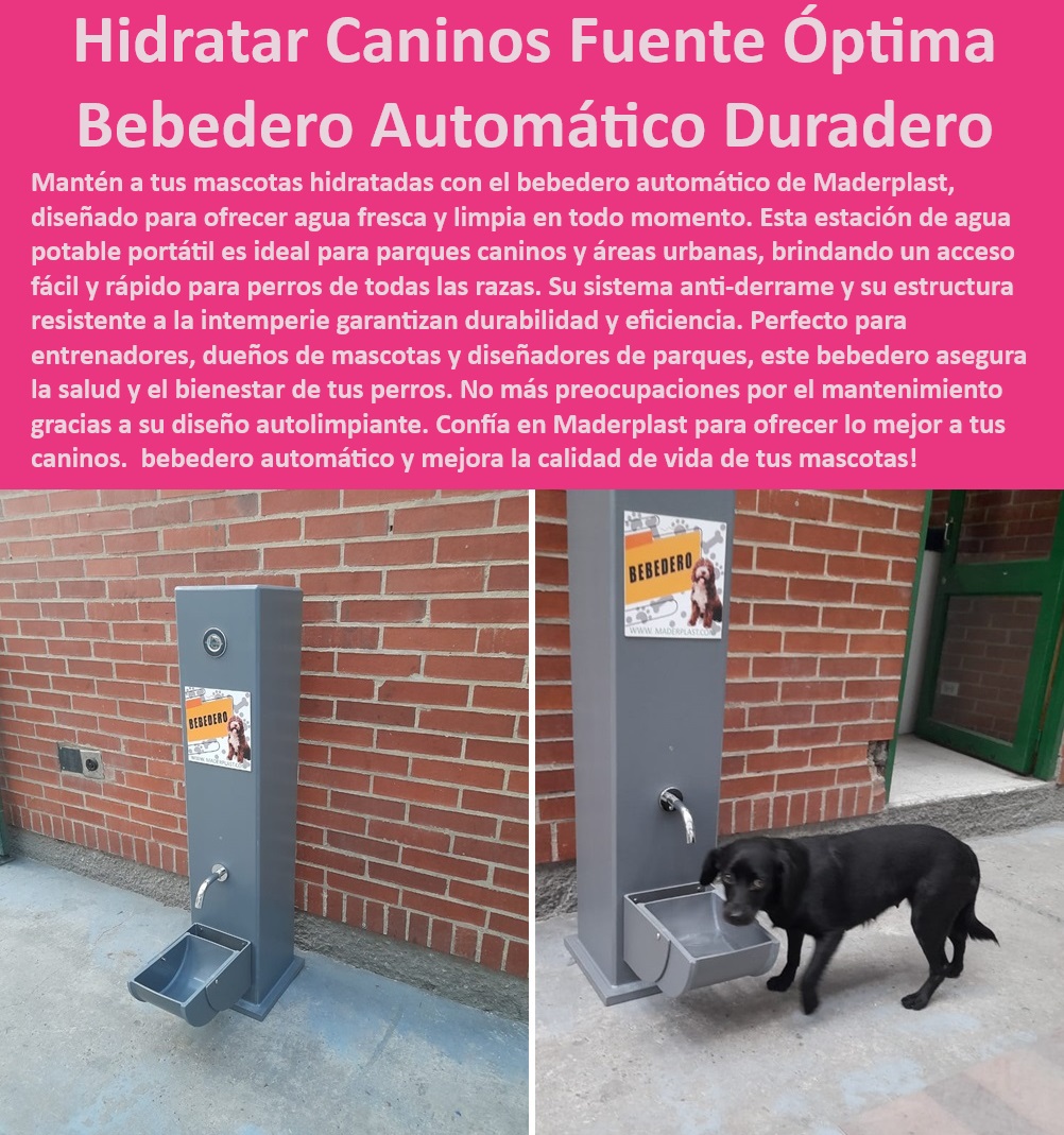 Fuente de hidratación para perros Estación de agua potable portátil para perros Maderplast , Bebedero para parques caninos , Estación de agua automática para perros , ¿Cuál es el bebedero más duradero para perros? , Fuente para mascotas , Fuente de agua anti-derrame para perros , Estación de agua portátil para perros , Fuente de hidratación automática para perros , Bebedero ergonómico para perros , Bebedero duradero , Hidratación canina , Bebedero para perros de todas las razas , Estación de agua , ¿Qué fuente de hidratación canina debo comprar? , Fuente de hidratación , Fuente de agua potable para mascotas , Bebedero portátil , ¿Dónde encontrar estaciones de agua para perros? , ¿Cuál es el bebedero más duradero para perros? Bebedero automático para perros , Bebedero fácil de usar para mascotas , ¿Dónde encontrar estaciones de agua para perros? , ¿Dónde venden bebederos portátiles para mascotas? Bebedero autolimpiante para mascotas , Fuente de agua , Fuente de agua fresca para perros , ¿Qué bebedero es mejor para parques caninos? Bebedero automático , Bebedero resistente a la intemperie , Estación de hidratación para perros , Bebedero de alta durabilidad para mascotas , Bebedero para perros , ¿Dónde comprar un bebedero automático para perros? Bebedero Maderplast , ¿Cuál es la mejor fuente de agua automática para perros? , ¿Cuál es la mejor fuente de agua para mascotas? Fuente de agua fresca automática para mascotas , Dispensador de agua automático para caninos , Bebedero automático de fácil acceso caninos 00 Fuente de hidratación para perros Estación de agua potable portátil para perros Maderplast Bebedero para parques caninos , Estación de agua automática para perros , ¿Cuál es el bebedero más duradero para perros? , Fuente para mascotas , Fuente de agua anti-derrame para perros , Estación de agua portátil para perros , Fuente de hidratación automática para perros , Bebedero ergonómico para perros , Bebedero duradero , Hidratación canina , Bebedero para perros de todas las razas , Estación de agua , ¿Qué fuente de hidratación canina debo comprar? , Fuente de hidratación , Fuente de agua potable para mascotas , Bebedero portátil , ¿Dónde encontrar estaciones de agua para perros? , ¿Cuál es el bebedero más duradero para perros? Bebedero automático para perros , Bebedero fácil de usar para mascotas , ¿Dónde encontrar estaciones de agua para perros? , ¿Dónde venden bebederos portátiles para mascotas? Bebedero autolimpiante para mascotas , Fuente de agua , Fuente de agua fresca para perros , ¿Qué bebedero es mejor para parques caninos? Bebedero automático , Bebedero resistente a la intemperie , Estación de hidratación para perros , Bebedero de alta durabilidad para mascotas , Bebedero para perros , ¿Dónde comprar un bebedero automático para perros? Bebedero Maderplast , ¿Cuál es la mejor fuente de agua automática para perros? , ¿Cuál es la mejor fuente de agua para mascotas? Fuente de agua fresca automática para mascotas Dispensador de agua automático para caninos Bebedero automático de fácil acceso caninos 00 Fuente de hidratación para perros Estación de agua potable portátil para perros Maderplast , Fuente de agua fresca automática para mascotas , Dispensador de agua automático para caninos , Bebedero automático de fácil acceso caninos 00