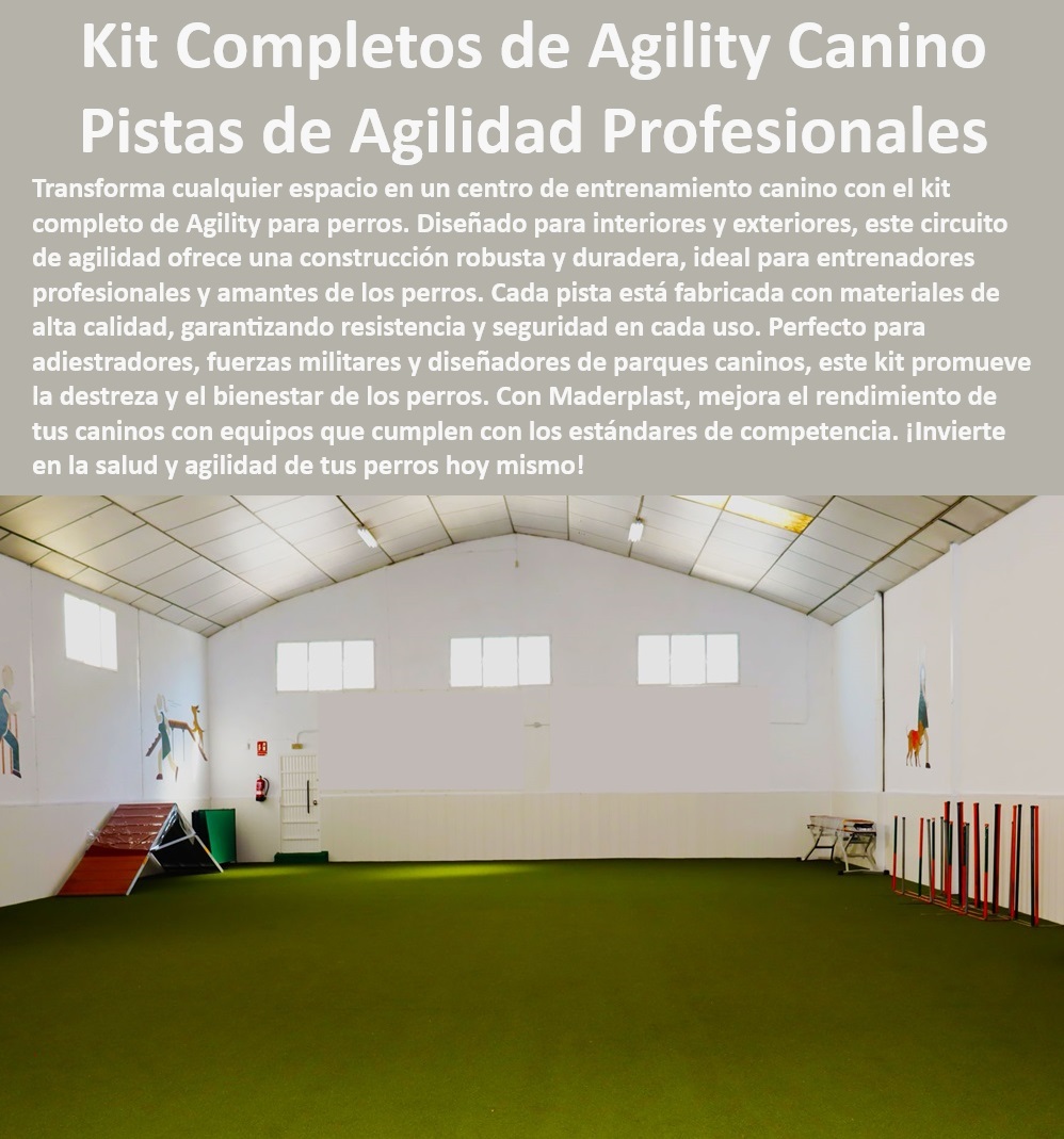 Kit Completo De Agility Para Perros De Pistas De Agilidad Para Perros Maderplast , Soluciones completas de agility para perros , Kits de agility para entrenadores de perros , Kits de agility para perros Maderplast , ¿Qué kits de agility para perros recomienda Maderplast para interiores? , Entrenamiento de agility para perros en cualquier clima , Equipos de agilidad para entrenamiento de perros pequeños , Kits de agility con garantía de calidad Maderplast , Equipos de entrenamiento canino interiores , Equipos de agility seguros para perros , Pistas de entrenamiento canino para exteriores , ¿Cómo asegurar la seguridad de mi perro con equipos de agility? , Circuitos de agility para entrenamiento canino en casa , Pistas de agility personalizables para caninos , Kits de entrenamiento para todas razas de perros , Equipamiento profesional de agility para perros , Componentes de agility para parques caninos , ¿Cuáles son las mejores pistas de agility para entrenar perros en exteriores? , Circuitos de entrenamiento canino duraderos , Pistas de agility para perros exteriores , Sistemas de entrenamiento canino para interior , Kits de agility de alto rendimiento para caninos , Pistas de agility seguras y accesibles para perros , Equipos de entrenamiento para perros grandes , ¿Existen kits de agility para perros que se puedan usar en cualquier tipo de clima? , Mejores pistas de agility para competencias , ¿Dónde comprar kits de agility para perros de calidad? , Accesorios de agilidad para entrenamiento canino , Equipos de entrenamiento canino para fuerzas especiales , Materiales duraderos para pistas de agility , Implementación de circuitos de agility para perros Circuito de agilidad para perros con diseño , Circuitos de agilidad fabricadas para perros en interiores y exteriores , Pistas de agility para perros, Kit Completo De Agility Para Perros De Pistas De Agilidad Para Perros Maderplast Soluciones completas de agility para perros , Kits de agility para entrenadores de perros , Kits de agility para perros Maderplast , ¿Qué kits de agility para perros recomienda Maderplast para interiores? , Entrenamiento de agility para perros en cualquier clima , Equipos de agilidad para entrenamiento de perros pequeños , Kits de agility con garantía de calidad Maderplast , Equipos de entrenamiento canino interiores , Equipos de agility seguros para perros , Pistas de entrenamiento canino para exteriores , ¿Cómo asegurar la seguridad de mi perro con equipos de agility? , Circuitos de agility para entrenamiento canino en casa , Pistas de agility personalizables para caninos , Kits de entrenamiento para todas razas de perros , Equipamiento profesional de agility para perros , Componentes de agility para parques caninos , ¿Cuáles son las mejores pistas de agility para entrenar perros en exteriores? , Circuitos de entrenamiento canino duraderos , Pistas de agility para perros exteriores , Sistemas de entrenamiento canino para interior , Kits de agility de alto rendimiento para caninos , Pistas de agility seguras y accesibles para perros , Equipos de entrenamiento para perros grandes , ¿Existen kits de agility para perros que se puedan usar en cualquier tipo de clima? , Mejores pistas de agility para competencias , ¿Dónde comprar kits de agility para perros de calidad? , Accesorios de agilidad para entrenamiento canino , Equipos de entrenamiento canino para fuerzas especiales , Materiales duraderos para pistas de agility , Implementación de circuitos de agility para perros Circuito de agilidad para perros con diseño Circuitos de agilidad fabricadas para perros en interiores y exteriores Pistas de agility para perros Kit Completo De Agility Para Perros De Pistas De Agilidad Para Perros Maderplast , Circuito de agilidad para perros con diseño , Circuitos de agilidad fabricadas para perros en interiores y exteriores , Pistas de agility para perros,