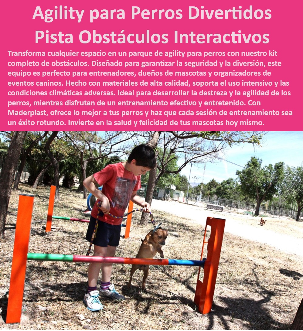 Kit Completo De Agility Para Perros De Pistas De Agilidad Para Perros Maderplast , ¿Qué conjunto de agility es ideal para competencias? , Pistas de obstáculos resistentes , Pistas de obstáculos caninos , Kit completo de agility para perros , ¿Dónde comprar kit de agility para perros? , ¿Cuáles son las mejores pistas de obstáculos para perros? , Pistas de agility de alta calidad , Agility para perros de competición , Pistas de entrenamiento para perros , Equipos de agilidad personalizados , Pistas de agility para patios , Parques de agility para mascotas , Pistas de obstáculos para perros , Conjunto de agility para competencias , Conjunto de agility para competencias caninas , Conjuntos de entrenamiento robustos , Parques de agility para perros , ¿Dónde encontrar parques de entrenamiento para mascotas? , Equipos de entrenamiento de agilidad , Equipos de entrenamiento para perros , Equipos de entrenamiento seguros , Entrenamiento de agilidad para eventos caninos , Pistas de agility portátiles , Entrenamiento divertido para perros , Kits de agilidad para mascotas , Entrenamiento de agilidad canina , Kit de agility para perros , Equipos de entrenamiento interactivos , Obstáculos interactivos para perros , Parques de entrenamiento canino , Equipos de agility duraderos , Equipos de agilidad para perros , Equipos de agility para exteriores , Conjuntos de obstáculos para perros , ¿Qué equipos de agilidad canina son los mejores? Pistas de agility para perros con obstáculos r , Equipos de entrenamiento de , Conjunto de entrenamiento de agilidad para competencias c , Parque Perro Kit Completo De Agility Para Perros De Pistas De Agilidad Para Perros Maderplast ¿Qué conjunto de agility es ideal para competencias? , Pistas de obstáculos resistentes , Pistas de obstáculos caninos , Kit completo de agility para perros , ¿Dónde comprar kit de agility para perros? , ¿Cuáles son las mejores pistas de obstáculos para perros? , Pistas de agility de alta calidad , Agility para perros de competición , Pistas de entrenamiento para perros , Equipos de agilidad personalizados , Pistas de agility para patios , Parques de agility para mascotas , Pistas de obstáculos para perros , Conjunto de agility para competencias , Conjunto de agility para competencias caninas , Conjuntos de entrenamiento robustos , Parques de agility para perros , ¿Dónde encontrar parques de entrenamiento para mascotas? , Equipos de entrenamiento de agilidad , Equipos de entrenamiento para perros , Equipos de entrenamiento seguros , Entrenamiento de agilidad para eventos caninos , Pistas de agility portátiles , Entrenamiento divertido para perros , Kits de agilidad para mascotas , Entrenamiento de agilidad canina , Kit de agility para perros , Equipos de entrenamiento interactivos , Obstáculos interactivos para perros , Parques de entrenamiento canino , Equipos de agility duraderos , Equipos de agilidad para perros , Equipos de agility para exteriores , Conjuntos de obstáculos para perros , ¿Qué equipos de agilidad canina son los mejores? Pistas de agility para perros con obstáculos r Equipos de entrenamiento de Conjunto de entrenamiento de agilidad para competencias c Parque Perro Kit Completo De Agility Para Perros De Pistas De Agilidad Para Perros Maderplast , Pistas de agility para perros con obstáculos r , Equipos de entrenamiento de , Conjunto de entrenamiento de agilidad para competencias c , Parque Perro