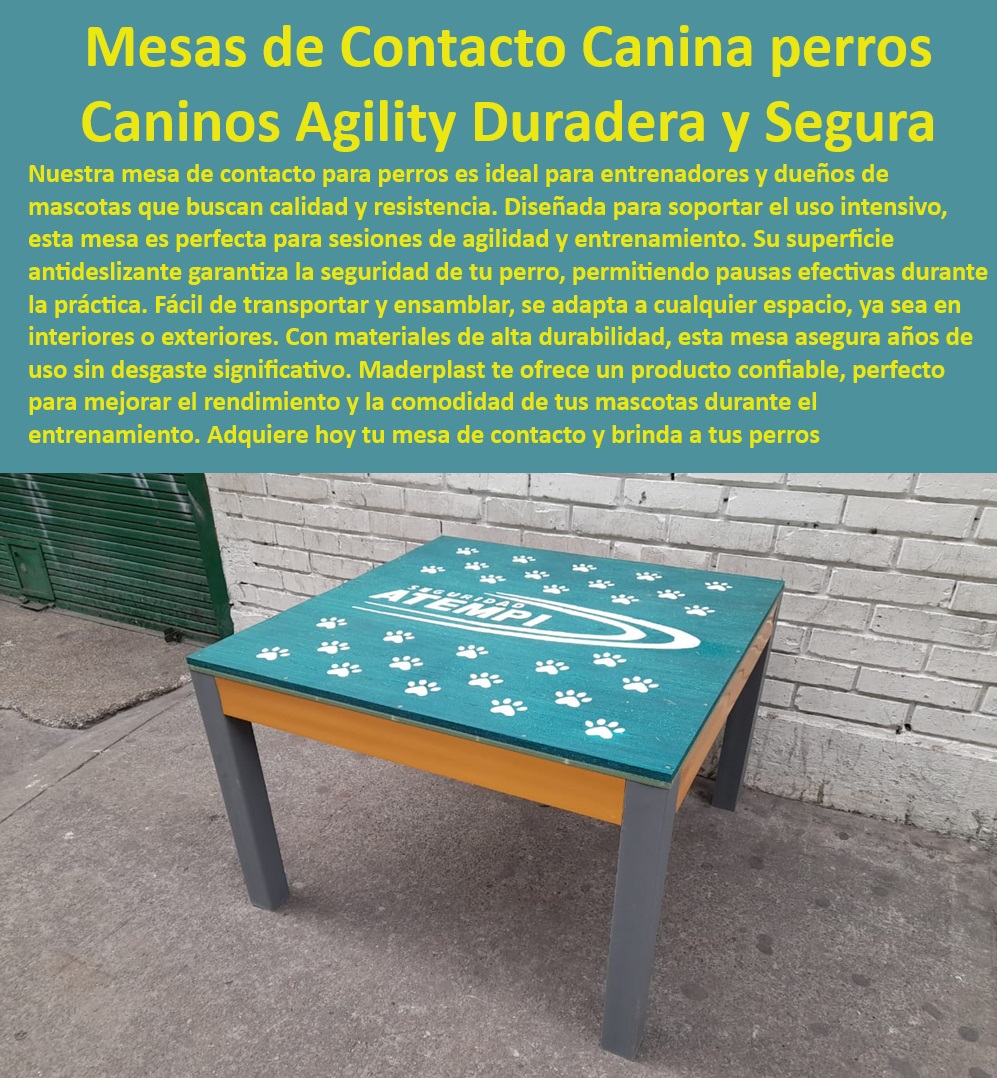 Mesa de contacto para perros Mesas de parada tarima perros Maderplast , Mesas de agility ligeras , Mesas de descanso para perros , Mesas de contacto resistentes , Plataformas de agilidad para perros , Plataformas de agilidad para perros , Plataforma de agility transportable , ¿Dónde comprar mesa de contacto para perros? , Mesas de agility para interiores , Mesa de pausa para perros , ¿Cuál es la mejor plataforma de agilidad para perros? , Mesas de entrenamiento para perros , Mesa de contacto para perros , Mesa portátil para perros , Equipos de agility de alta calidad , Mesas de agility duraderas , Equipos de agility para perros , Mesas de parada para perros , Mesa de entrenamiento para perros , Tarima de contacto canina , Mesas de contacto para perros grandes , Mesa de agilidad portátil , Plataformas de pausa para perros , Tarima de contacto canina , Equipos de agilidad confiables , ¿Dónde encontrar equipos de agility para perros? , Mesa de contacto para perros , ¿Qué mesas de contacto para perros son duraderas? , Plataforma de contacto para perros , Mesa de contacto para exteriores , ¿Qué mesa de agility es la mejor? , Mesa antideslizante para perros , Mesas de entrenamiento seguro , Tarima de entrenamiento canina , Tarima de contacto duradera , Equipos de agility duraderos Mesa de pausa canina portátil transportable y ligera , Plataformas de pausa para perros en agilidad duraderas y seguras , Mesa de descanso para perros grandes Pet Mesa de contacto para perros Mesas de parada tarima perros Maderplast Mesas de agility ligeras , Mesas de descanso para perros , Mesas de contacto resistentes , Plataformas de agilidad para perros , Plataformas de agilidad para perros , Plataforma de agility transportable , ¿Dónde comprar mesa de contacto para perros? , Mesas de agility para interiores , Mesa de pausa para perros , ¿Cuál es la mejor plataforma de agilidad para perros? , Mesas de entrenamiento para perros , Mesa de contacto para perros , Mesa portátil para perros , Equipos de agility de alta calidad , Mesas de agility duraderas , Equipos de agility para perros , Mesas de parada para perros , Mesa de entrenamiento para perros , Tarima de contacto canina , Mesas de contacto para perros grandes , Mesa de agilidad portátil , Plataformas de pausa para perros , Tarima de contacto canina , Equipos de agilidad confiables , ¿Dónde encontrar equipos de agility para perros? , Mesa de contacto para perros , ¿Qué mesas de contacto para perros son duraderas? , Plataforma de contacto para perros , Mesa de contacto para exteriores , ¿Qué mesa de agility es la mejor? , Mesa antideslizante para perros , Mesas de entrenamiento seguro , Tarima de entrenamiento canina , Tarima de contacto duradera , Equipos de agility duraderos Mesa de pausa canina portátil transportable y ligera Plataformas de pausa para perros en agilidad duraderas y seguras Mesa de descanso para perros grandes Pet Mesa de contacto para perros Mesas de parada tarima perros Maderplast , Mesa de pausa canina portátil transportable y ligera , Plataformas de pausa para perros en agilidad duraderas y seguras , Mesa de descanso para perros grandes Pet