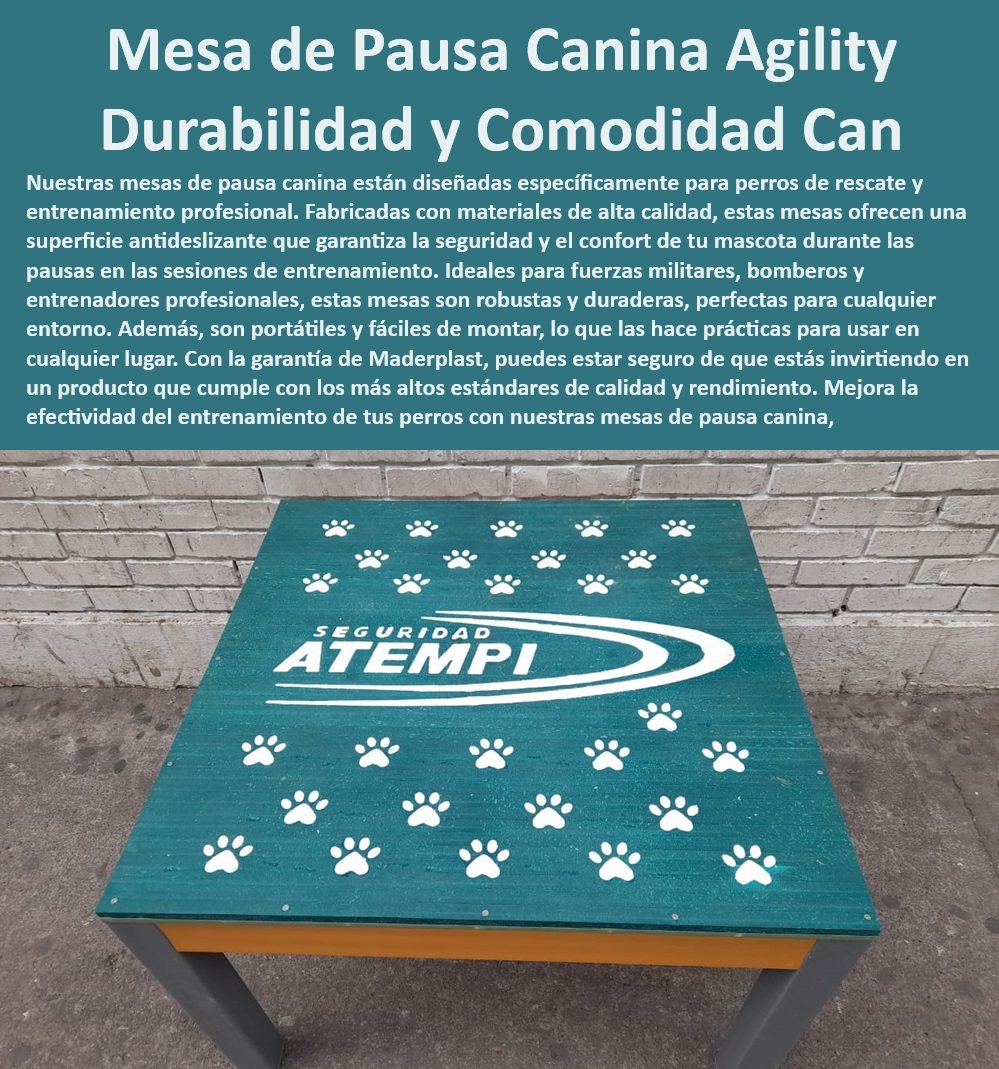 Mesa de contacto para perros Mesas de parada tarima perros Maderplast , Plataformas de agilidad para perros , Mesa de entrenamiento para perros , Equipos de agility de alta calidad , Tarima de entrenamiento canina , Mesas de parada para perros , Equipos de agility duraderos , Mesas de contacto resistentes , ¿Qué mesa de agility es la mejor? , Plataforma de agility transportable , Mesa de contacto para exteriores , Plataforma de contacto para perros , Mesa de contacto para perros , Tarima de contacto canina , Mesa de pausa para perros , Mesa antideslizante para perros , Plataformas de agilidad para perros , Tarima de contacto canina , Mesas de agility duraderas , Mesa de contacto para perros , Mesa portátil para perros , Mesas de agility para interiores , ¿Cuál es la mejor plataforma de agilidad para perros? , Mesa de agilidad portátil , ¿Qué mesas de contacto para perros son duraderas? , Mesas de agility ligeras , Tarima de contacto duradera , Mesas de entrenamiento para perros , Mesas de contacto para perros grandes , Plataformas de pausa para perros , Mesas de entrenamiento seguro , ¿Dónde comprar mesa de contacto para perros? , Mesas de descanso para perros , ¿Dónde encontrar equipos de agility para perros? , Equipos de agilidad confiables , Equipos de agility para perros Mesas de contacto y pausa para perros de rescate especializadas , Mesas de descanso canino , Mesa pausa en entrenamiento canino integra tecnología antideslizante Mesa de contacto para perros Mesas de parada tarima perros Maderplast Plataformas de agilidad para perros , Mesa de entrenamiento para perros , Equipos de agility de alta calidad , Tarima de entrenamiento canina , Mesas de parada para perros , Equipos de agility duraderos , Mesas de contacto resistentes , ¿Qué mesa de agility es la mejor? , Plataforma de agility transportable , Mesa de contacto para exteriores , Plataforma de contacto para perros , Mesa de contacto para perros , Tarima de contacto canina , Mesa de pausa para perros , Mesa antideslizante para perros , Plataformas de agilidad para perros , Tarima de contacto canina , Mesas de agility duraderas , Mesa de contacto para perros , Mesa portátil para perros , Mesas de agility para interiores , ¿Cuál es la mejor plataforma de agilidad para perros? , Mesa de agilidad portátil , ¿Qué mesas de contacto para perros son duraderas? , Mesas de agility ligeras , Tarima de contacto duradera , Mesas de entrenamiento para perros , Mesas de contacto para perros grandes , Plataformas de pausa para perros , Mesas de entrenamiento seguro , ¿Dónde comprar mesa de contacto para perros? , Mesas de descanso para perros , ¿Dónde encontrar equipos de agility para perros? , Equipos de agilidad confiables , Equipos de agility para perros Mesas de contacto y pausa para perros de rescate especializadas Mesas de descanso canino Mesa pausa en entrenamiento canino integra tecnología antideslizante Mesa de contacto para perros Mesas de parada tarima perros Maderplast , Mesas de contacto y pausa para perros de rescate especializadas , Mesas de descanso canino , Mesa pausa en entrenamiento canino integra tecnología antideslizante