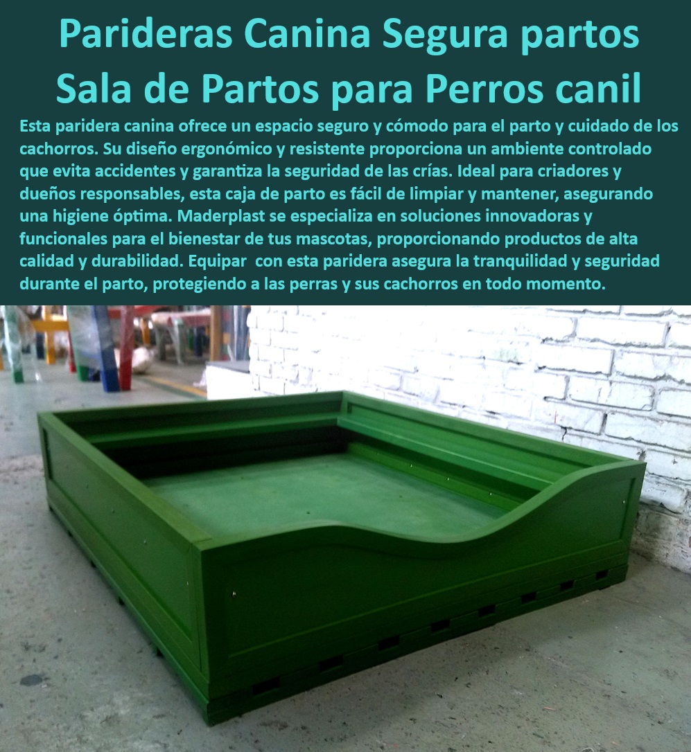 Paridera Perras Sala Partos De Perros Paritorio Estación De Parto Básica Maderplast , Innovación en parideras caninas , Paridera canina segura , Diseño seguro para parto de perros , Caja de parto resistente , Estación de parto canino , ¿Qué paridera recomiendan los veterinarios para perros? , Parto seguro para perros , Paridera canina duradera , Sala de partos para perros , ¿Cómo asegurar un parto seguro para mi perra? , Soluciones Maderplast para cría , Paridera canina de alto rendimiento , Parideras para criadores caninos , Mantenimiento fácil en parideras , Seguridad en parto canino , ¿Qué características tiene una paridera canina segura? , Caja de parto ergonómica , Paridera higiénica para perros , Equipamiento parto canino , ¿Dónde comprar parideras seguras para perros? , Equipos para cría canina , Paridera con protección para cachorros , Caja de parto para perreras , Paridera fácil de limpiar , Paridera para perros profesional , Equipamiento especializado para parto , Paridera canina para veterinarios , ¿Cuál es la mejor sala de partos para caninos? , Accesorios para parto de perros , Paridera canina con aislamiento paridera para parto de perritas atención especializada limpieza en paridera mantenimiento sencillo , Nido para parto canino diseño ergonómico perros Paridera Perras Sala Partos De Perros Paritorio Estación De Parto Básica Maderplast Innovación en parideras caninas , Paridera canina segura , Diseño seguro para parto de perros , Caja de parto resistente , Estación de parto canino , ¿Qué paridera recomiendan los veterinarios para perros? , Parto seguro para perros , Paridera canina duradera , Sala de partos para perros , ¿Cómo asegurar un parto seguro para mi perra? , Soluciones Maderplast para cría , Paridera canina de alto rendimiento , Parideras para criadores caninos , Mantenimiento fácil en parideras , Seguridad en parto canino , ¿Qué características tiene una paridera canina segura? , Caja de parto ergonómica , Paridera higiénica para perros , Equipamiento parto canino , ¿Dónde comprar parideras seguras para perros? , Equipos para cría canina , Paridera con protección para cachorros , Caja de parto para perreras , Paridera fácil de limpiar , Paridera para perros profesional , Equipamiento especializado para parto , Paridera canina para veterinarios , ¿Cuál es la mejor sala de partos para caninos? , Accesorios para parto de perros , Paridera canina con aislamiento paridera para parto de perritas atención especializada limpieza en paridera mantenimiento sencillo Nido para parto canino diseño ergonómico perros Paridera Perras Sala Partos De Perros Paritorio Estación De Parto Básica Maderplast , paridera para parto de perritas atención especializada limpieza en paridera mantenimiento sencillo , Nido para parto canino diseño ergonómico perros