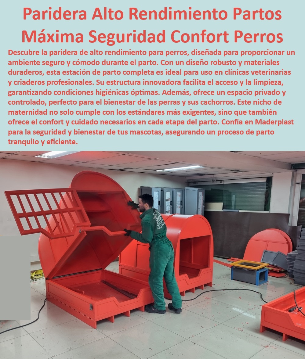 Paridera Perras Sala Partos De Perros Paritorio Estación De Parto Completa Maderplast , Paridera con ambiente controlado , Estación de maternidad canina controlada , ¿Cuál es la paridera más segura para perros Maderplast? , ¿Por qué elegir la estación de parto de Maderplast para cachorros? , Paridera canina inoxidable y segura , Paritorio canino con diseño ergonómico , Solución de parto personalizable para perros , Solución de parto canino para exteriores Maderplast , Refugio para nacimiento de cachorros , Paridera profesional para camadas grandes , Paridera canina para exteriores , Refugio de maternidad para perras , Casa de nacimiento para perras , Ambiente de parto protegido para perros , Caja de parto para mascotas robusta , Paritorio para criadores y veterinarios , Estación de parto con materiales duraderos , Casa maternal canina con protección UV , Paridera de fácil mantenimiento , Solución integral para parto canino , Paridera segura para perros , Estación de parto canino alto rendimiento , Estación de parto para razas grandes , Casa de parto con tecnología avanzada , ¿Dónde encontrar parideras de alto rendimiento para perras? , Cama de parto con condiciones higiénicas óptimas , ¿Cómo asegurar un parto seguro para mi mascota? Refugio canino para bienestar animal , Paridera con acceso fácil y seguro , ¿Qué características tiene la paridera canina de Maderplast? Cama de parto acogedora para perritas cariño y cuidado , Nicho de maternidad para perras privado y seguro , Casa para parto de perras ambiente Pet Paridera Perras Sala Partos De Perros Paritorio Estación De Parto Completa Maderplast Paridera con ambiente controlado , Estación de maternidad canina controlada , ¿Cuál es la paridera más segura para perros Maderplast? , ¿Por qué elegir la estación de parto de Maderplast para cachorros? , Paridera canina inoxidable y segura , Paritorio canino con diseño ergonómico , Solución de parto personalizable para perros , Solución de parto canino para exteriores Maderplast , Refugio para nacimiento de cachorros , Paridera profesional para camadas grandes , Paridera canina para exteriores , Refugio de maternidad para perras , Casa de nacimiento para perras , Ambiente de parto protegido para perros , Caja de parto para mascotas robusta , Paritorio para criadores y veterinarios , Estación de parto con materiales duraderos , Casa maternal canina con protección UV , Paridera de fácil mantenimiento , Solución integral para parto canino , Paridera segura para perros , Estación de parto canino alto rendimiento , Estación de parto para razas grandes , Casa de parto con tecnología avanzada , ¿Dónde encontrar parideras de alto rendimiento para perras? , Cama de parto con condiciones higiénicas óptimas , ¿Cómo asegurar un parto seguro para mi mascota? Refugio canino para bienestar animal , Paridera con acceso fácil y seguro , ¿Qué características tiene la paridera canina de Maderplast? Cama de parto acogedora para perritas cariño y cuidado Nicho de maternidad para perras privado y seguro Casa para parto de perras ambiente PetParidera Perras Sala Partos De Perros Paritorio Estación De Parto Completa Maderplast , Cama de parto acogedora para perritas cariño y cuidado , Nicho de maternidad para perras privado y seguro , Casa para parto de perras ambiente Pet